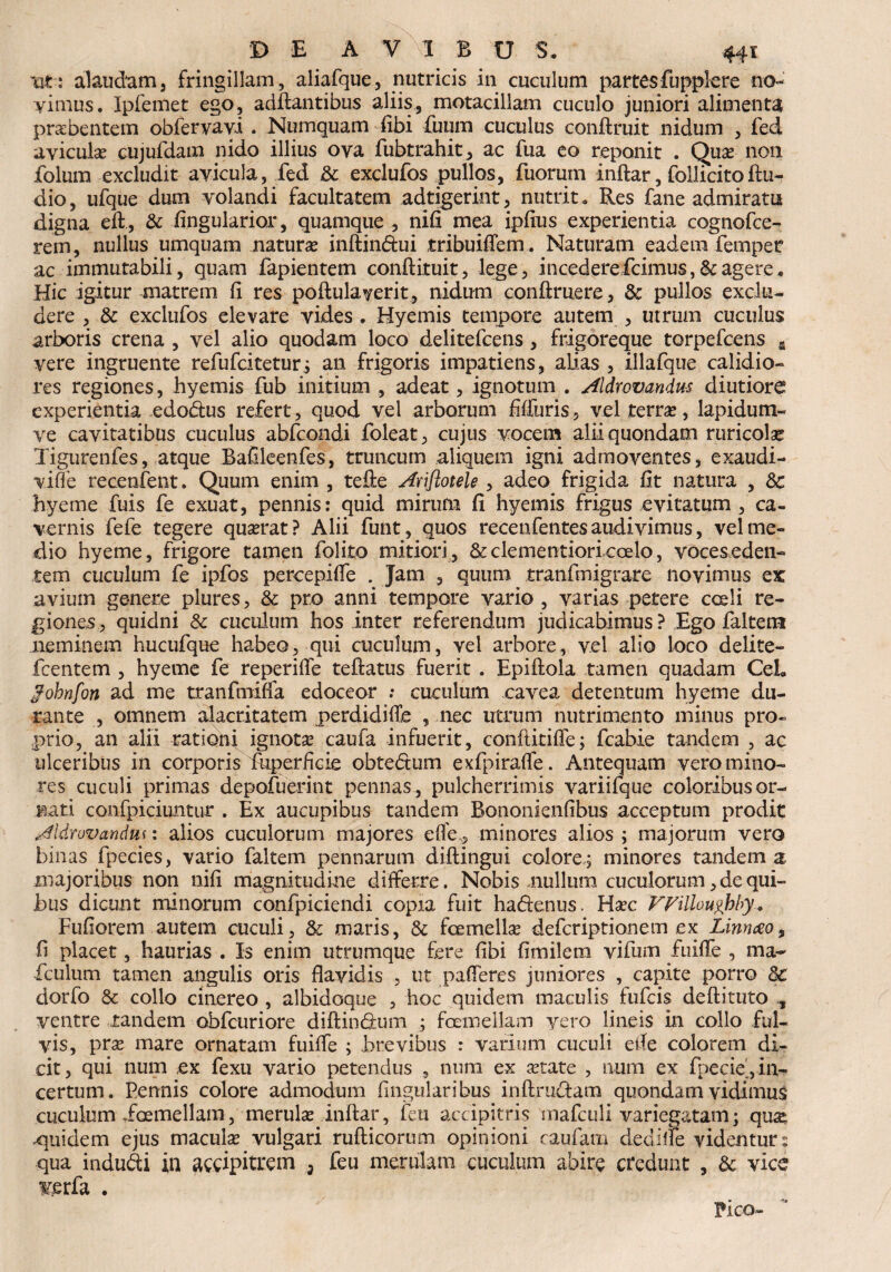 t&i alaudam, fringillam, aliafque, nutricis in cuculum partesfupplere no-’ yimus. Ipfemet ego, aditantibus aliis, motacillam cuculo juniori alimenta praebentem obfervavi . Numquam fibi fuum cuculus conftruit nidum , fed avicula? cujufdam nido illius ova fubtrahit, ac fua eo reponit . Qua? non folum excludit avicula, fed & exclufos pullos, fuorum inftar, follicitoftu- dio, ufque dum volandi facultatem adtigerint, nutrito Res fane admiratu digna eft, & Angularior, quamque , nili mea ipfius experientia cognofce- rem, nullus umquam naturae inftindui tribuiffem. Naturam eadem femper ac immutabili, quam fapientem conftituit, lege, incederefcimus, & agere* Hic igitur matrem fi res poftulayerit, nidum conftruere, & pullos exclu¬ dere , & exclufos elevare vides . Hyemis tempore autem , utrum cuculus arboris crena , vel alio quodam loco delitefcens, frigoreque torpefcens fl vere ingruente refufciteturi an frigoris impatiens, alias , illafque calidio¬ res regiones, hyemis fub initium , adeat, ignotum . Aldrovandm diutiore experientia edodus refert, quod vel arborum fiffuris, vel terra?, lapidum- ve cavitatibus cuculus abfcondi foleat, cujus vocem alii quondam ruricolae Tigurenfes, atque Bafileenfes, truncum aliquem igni admoventes, exaudi- vifle recenfetit. Quum enim , tefte Ariflotele, adeo frigida fit natura , 3c hyeme fuis fe exuat, pennis: quid mirum fi hyemis frigus evitatum , ca¬ vernis fefe tegere quserat? Alii funt, quos recenfentesaudivimus, velme¬ dio hyeme, frigore tamen folito mitiori, &clementioricoelo, voceseden- tem cuculum fe ipfos percepiffe . Jam , quum tranfmigrare novimus ex avium genere plures, & pro anni tempore vario , varias petere coeli re¬ giones, quidni & cuculum hos inter referendum judicabimus? Ego faltem neminem hucufque habeo, qui cuculum, vel arbore, vel alio loco delite- fcentetn , hyeme fe reperiffe teftatus fuerit . Epiftola tamen quadam CeL Johnfon ad me tranfmiffa edoceor : cuculum cavea detentum hyeme du¬ rante , omnem alacritatem perdidiffe , nec utrum nutrimento minus pro¬ prio, an alii rationi ignota? caufa infuerit, conftitiffe; fcabie tandem , ac ulceribus in corporis fuperficie obtedum exfpiraffe. Antequam vero mino¬ res cuculi primas depofuerint pennas, pulcherrimis variifque coloribus or¬ bati confpiciuntur . Ex aucupibus tandem Bononienfibus acceptum prodit Aldrovandus: alios cuculorum majores effe,, minores alios ; majorum vero binas fpecies, vario faltem pennarum diftingui colore,; minores tandem a, majoribus non nifi magnitudine differre. Nobis nullum cuculorum, de qui¬ bus dicunt minorum confpiciendi copia fuit hadenus. Haec FFillouphby. Fufiorem autem cuculi, & maris, & fcemella? defcriptionem ex Linnceo, fi placet, haurias . Is enim utrumque fere fibi fimilem vifum fuiffe , ma~ fculum tamen angulis oris flavidis , ut pafferes juniores , capite porro 3c dorfo & collo cinereo , albidoque , hoc quidem maculis fufcis deftituto , ventre tandem obfcuriore diftindum ; fcemellam vero lineis in collo ful¬ vis, pra? mare ornatam fuiffe ; Brevibus : varium cuculi ede colorem di¬ cit, qui num ex fexu vario petendus , num ex aetate , aum ex fpecie', in¬ certum. Pennis colore admodum lingularibus inftrudam quondam vidimus cuculum fcemellam, merula? infiar, ieu accipitris mafculi variegatam; qus; -quidem ejus macula? vulgari rufticorum opinioni caufam dedilfe videntur: qua indudi in accipitrem 3 feu merulam cuculum abire credunt , & vice verfa . Fico-