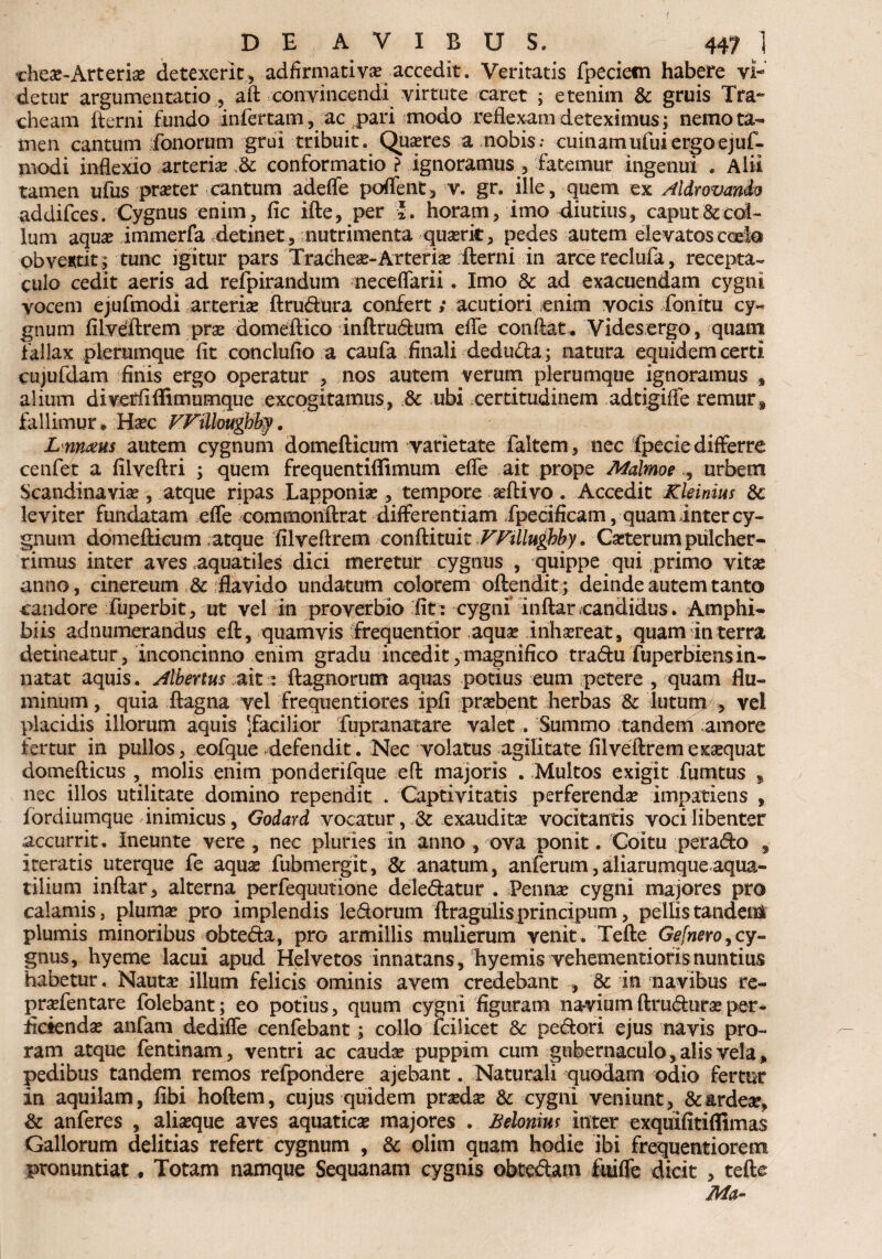 chea?-Arter ia? detexerit, adfirmativa? accedit. Veritatis fpecietn habere vi¬ detur argumentatio , aft convincendi virtute caret ; etenim & gruis Tra¬ cheam fterni fundo infertam, ac pari modo reflexam deteximus; nemo ta¬ men cantum fanorum grui tribuit. Quasres amobis; cuinam ufui ergo ejuf- modi inflexio arterias conformatio ? ignoramus, fatemur ingenui . Alii tamen ufus praster cantum adefle poffent, v. gr. ille , quem ex Aldrovando addifces. Cygnus enim, fic ifte, per ®. horam, imo diutius, caput & col¬ lum aqua? immerfa detinet, nutrimenta quserit, pedes autem elevatos coele obventit; tunc igitur pars Trachea-Arteria fterni in arcereclufa, recepta¬ culo cedit aeris ad refpirandum neceflarii. Imo & ad exacuendam cygni vocem ejufmodi arteria? ftrudura confert; acutiori enim vocis fonitu cy~ gnum filveftrem prse domeftico inftrudum efle conflat, Vides,ergo, quam fallax plerumque fit conclufio a caufa finali deduda; natura equidem certi cujufdam finis ergo operatur , nos autem verum plerumque ignoramus , alium d i ve rfi fli m u mqu e excogitamus, & ubi certitudinem adtigiffe remur* fallimur, Ha?c FFiUoughby. L nn&us autem cygnum domefticum varietate faltem, nec Tpecie differre cenfet a filveftri ; quem frequentiflimum efle ait prope Malmoe , urbem Scandinaviae, atque ripas Lapponia?, tempore aftivo . Accedit Kleinius 3c leviter fundatam efle coramonftrat differentiam fpecificam, quam inter cy¬ gnum domefticum atque filveftrem conflimit VFtllughby. Caeterum pulcher¬ rimus inter aves aquatiles dici meretur cygnus , quippe qui primo vitae anno, cinereum & flavido undatum colorem oftendit; deinde autem tanto candore fuperbit, ut vel in proverbio fit: cygni* inftarcandidus. Amphi¬ biis adnumerandus eft, quamvis frequentior aqua? inhsereat, quam in terra detineatur, inconcinno enim gradu incedit/magnifico tradu fuperbiensin¬ natat aquis. Albertus ait: ftagnorum aquas potius eum petere , quam flu¬ minum , quia ftagna vel frequentiores ipfi prabent herbas & lutum , vel placidis illorum aquis ^facilior fupranatare valet. Summo tandem amore fertur in pullos, eofque defendit. Nec volatus agilitate filveftrem e xsequat domefticus , molis enim ponderifque eft majoris . Multos exigit fumtus , nec illos utilitate domino rependit . Captivitatis perferenda* impatiens , fordiumque inimicus, Godard vocatur, & exaudita? vocitantis voci libenter accurrit. Ineunte vere , nec pluries in anno , ova ponit. Coitu pera&o , iteratis uterque fe aqua? fubmergit, & anatum, anferum,aliarumqueaqua¬ tilium inftar, alterna perfequutione deledatur . Penna? cygni majores pro calamis, pluma? pro implendis ledorum ftragulisprincipum, pellistandeni plumis minoribus obteda, pro armillis mulierum venit. Tefte Gefnero, cy¬ gnus, hyeme lacui apud Helvetos innatans, hyemis vehementiorisnuntius habetur. Nauta? illum felicis ominis avem credebant , & in navibus re- pra?fentare folebant; eo potius, quum cygni figuram navium ftrudura? per¬ ficienda? anfam dediffe cenfebant; collo fcilicet &: pedori ejus navis pro¬ ram atque fentinam, ventri ac cauda? puppim cum gubernaculo, alis vela, pedibus tandem remos refpondere ajebant. Naturali quodam odio fertur in aquilam, libi hoftem, cujus quidem pra?da? & cygni veniunt, &ardese, & anferes , alia?que aves aquatica majores . Belonrn inter exquifitiflimas Gallorum delitias refert cygnum , & olim quam hodie ibi frequentiorem pronuntiat. Totam namque Sequanam cygnis obtedarn fui fle dicit , tefte Ma-