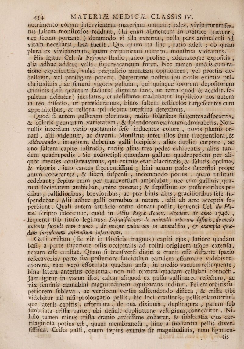 nutrimento eorum infervientem materiam omnem; tales, viviparorumfce« tus faltem monftrofos reddunt, (hi enim alimentum in matrice quorunt, nec fecum portant/) dummodo vi illa externa , nulla pars animalcuii ad vitam neceifaria, lofa fuerit, Quo quum ita fint , ratio adeft ; ob quam plura) ex viviparorum, quam oviparorum numero, monftrua videamus. His igitur Cei. Ia Feyronie (ludio, adeo prolixe , adcurateque expofitis , alia adhuc addere velle, fhpervacaneum foret. Nec tamen jundis cum ra¬ tione experientiis,vulgi praejudicio munitam opinionem, vel prorfus de¬ bellavit, vel profligare poterit. Nuperrime noflris ipfi oculis eximia pul¬ chritudinis ac fummi vigoris gallum 5 qui quinque ovorum depolitorum criminis (aft quantum facinus! dignum fane, ut terra quod & accidit, fe- pultum deleatur) incufatus, crudeliffimo madabatur fupplicio/ nos autem in reo dilfedo, ut provideramus, binos faltem tefticulos turgefeentes cum appendicibus, & reliqua ipfi debita inteftiita deteximus. Quod fi autem gallorum plurimos, radiis folaribus fulgentesadfpexeris^ & coloris pennarum varietatem, .& fplendorem eximium admiraberis. Non¬ nullis interdum vario quotannis fefe induentes colore , novis plumis or¬ nati , alii videntur, ac diverfi. Monftrua inter illos funt frcquentiora,& Aldr ovando , imaginem debemus galli bicipitis , alius duplici corpore , ac uno faltem capite inftrudi, rurfiis alius tres pedes exhibentis, alius tan¬ dem quadrupedis . Sic nofmetipfi quondam gallum quadrupedem per ali¬ quot menfes conferyavimus, qui eximio erat alacritatis,& falutis optimo, 3c vigoris , imo cantus frequentiffimi ; bini autem pedes fuperflui prope anum cohorentes , & liberi fufpenfi , incommodo potius , quam utilitati cedebant; fopius enim per tranlverfum ambulabat, nec cum gallinis,qua¬ rum focietatem ambiebat, coire poterat; & fopiffime ex pofterioribus pe¬ dibus, pallidioribus, brevioribus, ac pro binis aliis, gracilioribus fefe fu« fpendebat , Alii adhuc galli cornubus a natura , alii ab arte acceptis fu- perbiunt. Quali autem artificio cornu donari poffit, fequenti Cei. du Ha~ mei fcripto edocemur, quod in Aciis Regia Scient, Academ. de anno 1746. , -fequenti fub titulo legimus: Vifquifniones de uniendis arborum fiffuris ^ de modo unionis furculi cum Uunco , de unione vulnerum in animahbus , & exempla qua* dam [imulorum animalium infertorum. .Galli criftam (fic vir in Phyficis magnus) capiti ejus, latiore quadam bafi, a parte fuperiore offis occipitalis ad roftri originem ufque extenfa, nexam effe conflat. Quam fi tranfverfi digiti a cranii ofle diftante fpatio refecaveris/ parte fua pofteriore fafciculum eamdem efformare videbisru- diorem, tum vejx> efformata quadam anfa, in medio vacuum relinquente, bina latera anterius coeuntia, non nifi textura quadam cellulari conne&i. Jam igitur in vacuo ifto,/ calcar aliquod ex pullo gallinaceo refe&um, ac vix feminis cannabini magnitudinem oquiparans inditur. Pellem orbitis fu- periorem fubleva , ac verticem verfus adfcendendo difleca , & crifta tibi videbitur nil nifi prolongatio pellis, hic loci craffioris; pellis etiam utriuf- que lateris capitis , efformata , de qua diximus , duplicatura , parum fub fimbriata crifto parte, ubi deficit duplicaturo veftigium,conneditur . Ni¬ hilo tamen minus crifta cranio ar&iffime cohoret, & fubftantia ejus car- tilaginofa potius eft , quam membranofa , hinc a fubftantia pellis diver- fiffima. Crifta galli, quum fopius exipwfit magnitudinis? num ligamen-