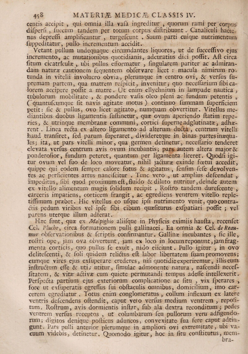 centis accipit: , qui omnia illa vafa ingreditur , quorum rami per corpus difperfi ,, fuccunr tandem per totum corpus diftribuuntCanaliculi hade- iiiis depreffi amplificantur , turgefeunt. . Suum parti cuique nutrimentum fuppeditatur, pullo incrementum accidit, / Vetant pullum undequaque circumdantes liquores, ut de fucceffivo ejus incremento, ac mutationibus quotidianis, adcuratius dici poffit. A fi circa litum cicatricula? ubi pullus etformatur , Angularem pariter ac admiran¬ dam natura cautionem fequentem obfervare licet macula nimirum ro¬ tunda in vitelli involucro obvia > plerumque in centro ovi, & verfus fu- premarn partem, qua matrem refpicit, invenitur; quo necefiarium fibica¬ derem- accipere poffit a matre. Ut enim ellychnium in lampade nautica , tubulorum mobilitate , & pondere vaiis oleo pleni ac fundum petentis , ( cjuantufcumque fit navis agitatae motus ) continuo fumrnam fuperficieni petit: fic & pullus, ovo licet agitato, numquam obvertitur. Vitellus me¬ diantibus duobus ligamentis fufiinetur , qua? ovum aperiendo ftatim repe¬ des, & utrinque membranae- communi , cortici fuperne adglutinatae, adha?- rent . Linea reda ex altero ligamento ad alterum duda , centrum vitelli haud tranfiret, fed parum fuperaret, divideretque' in binas partes inaqua- les; ita, ut pars vitelli minor , qua germen detinetur, neceffario tenderet elevata verfus centrum avis ovum incubantis ; pars autem altera major & ponderofior, fundum peteret, quantum per ligamenta liceret. Quodfi igi¬ tur ovum vel fuo de loco moveatur, nihil jadura? exinde fretui accedit, quippe qui eodem femper calore fotus & agitatus , fenfim fefe devolven¬ tes ac perfidentes artus nancifcitur . Tunc vero , ut amplius defeendat , impeditus, (ibi quod proximumefi,fluido & diluto nutritur,deinde autem ex vitello alimentum magis folidum recipit , Roftro tandem durefeente , carceris impatiens, corticem frangit, ac egrediens ventrem vitello reple- tiffimum pra?bet. Hic vitellus eo ufque ipfi nutrimento venit, quo contra¬ dis pedum viribus veLipfe iibi cibum qua?fiturus exfpatiari poffit ; ve! parens uterque illum adferat. Ha?c fiunt, qua? ex Malpigbio aliifque in Phyficis eximiis haufta, recenfet Ceh Plucbey circa formationem pulli gallinacei. Ea omnia & Cei. deKeau- mur obfervationibus & (criptis confirmantur. Gallina? incubantes , fic ille, rofiri ope, jam ova obvertunt, jam ex loco in loeum reponunt, jam frag¬ menta corticis, quo pullus fe exuit, nido eiiciunt. Pullo igitur , in ovo delitefcenti, & foli quidem relidus eft labor libertatem fuampromovens; eumque vires ejus exfuperare crederes, nifi quotidie experiremur, illis eum inftrudum efie & uti; utitur, finmlac admonente natura , nafcendi necef- fitatem, & vite adiva? cum quiete permutandi tempus adeffe intellexerit. Perfpeda pardum ejus exteriorum complicatione ac fitu , vix fperares , fore ut ex fu peratis egrefiiis fui obfiaculis omnibus, domicilium, imo car¬ cerem egrediatur . Totus enim conglomeratus , collum inflexum ex latere ventris defeendens oftendit, caput vero verfus medium ventrem , repofi- tum. Roftrum, avis dormientis inftar, fub ala dextra reconditum ; pedes ventrem verfus receptos , ut columbarum feti pullorum veru adfigencio- rum; digitos denique pofiicus aduncos, convexitate fua fere caput adtin- gunt. Pars pulli anterior plerumque in ampliori ovi extremitate, ubi va¬ cuum videbis, detinetur. Quomodo igitur, hoc in fitu conftitutus, roem» I , KE - : T 'h Wv -i • bra-