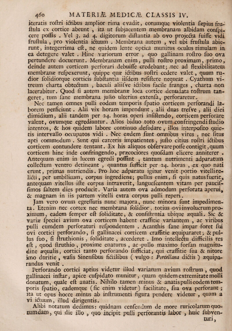 iteratis roftri idibus amplior rima evadit, eorumque violentia fsepius fm- ftula ex cortice abeunt , ita ut fubjacentem membranam albidam confpi- cere poflis . Vel 3. ad 4. digitorum diftantia ab ovo projeda fui fle vidi fruftula , pro violentia iduum . Membrana autem , vel ubi fruftula abie¬ runt , integerrima eft, ne quidem lente optica munitus oculus rimulam in ea detegere valet . Hinc variorum error * quo gallinam roftro fuo ova pertundere docuerunt. Membranam enim, pulli roftro proximam, primo, deinde autem corticem perforari debuifle credebant;,nec ad flexibilitatem membrana refpexerunt, quippe qua? idibus roftri cedere valet , quum ru¬ dior folidiorque corticis fubftantia iifdem refiftere nequeat . Cyathum vi¬ treum charta obtedum , baculi aliifve idibus facile franges , charta non lacerabitur. Quod fi autem membranas loca cortice denudata roftrum tan¬ geret, tum Jane membrana jufto ulterius extenfa, perforaretur . Nec tamen omnes pulli eodem temporis fpatio corticem perforandi la¬ borem perficiunt. Alii vix horam impendunt, alii duas trefve , alii diei dimidium, alii tandem per 24. horas operi infiftendo, corticem perforare valent, ovumque egrediuntur. Alios biduo toto ovum confringendiftudio intentos, & hos quidem labore continuo defudare , illos interpofito quie¬ tis intervallo occupatos vidi . Nec easdem funt omnibus vires , nec fitus apti commodum . Sunt qui carectis impatientes , jufto citius roflri idibus corticem contundere tentant. Ex his aliquos obfervare pofle contigit, quum \ corticem hinc inde confringendo, praecociores quofdam elicere anniterer . Antequam enim in lucem egredi poffint , tantum nutrimenti adparatum colledum ventro detineant , quantus fufficit per 24. horas , .ex quo nati erunt, primas nutriendis. Pro hoc adparatu igitur venit portio vitelli re¬ lidi, per umbilicum, corpus ingrediens; pullus enim, fi quis natus fuerit, antequam vitellus ifte corpus intraverit, languefcentem vitam per paucif- fimos faltem dies producit. Varia autem ova admodum perforata aperui, & magnam in iis partem vitelli extra corpus pulli reperi. Jam vero ovum egrefluris nunc majora, nunc minora funt impedimen¬ ta. Etenim nec cortex nec membrana folidior, totius ^ovi involucrum pro¬ ximum, eadem femper eft foliditate, & confiftentia ubique asqualL Sic Sc varix fpeciei avium ova corticem habent craflitie variantem , ac viribus pulli eumdem perforaturi refpondentem . Acanthis fane impar foret fui ovi cortici perforando, fi gallinacei corticem craflitie stquipararet> & pul¬ lus fuo, fi ftruthionis , foliditate , accederet . Imo intelledu difficilis res eft , quod flruthio , proxime enaturus , ac -pullo maximo forfan magnitu¬ dine aequalis, cortici tanto perforando fufficiat, qui craflitie fua & nitore imo duritie , vafis Sinenfibus fidilibus ( vulgo t Porcellana didis ) aequipa- randus venit . Perforando cortici aptius videtur iftud variarum avium roftrum , quod gallinacei inftar, apice cufpidato munitur, quam quidem extremitate molli donatum, quale eft anatis. Nihilo tamen minus & anatis pulli eodem tem¬ poris fpatio, eademque (fic enim videtur) facilitate, fua ova perforant; ita ut opus hocce minus ab inftrumenti figura pendere videtur , quam a vi iduum, illud dirigentis. Alibi notatum dedimus: quidnam cenfendum de more ruricolarumquo¬ rumdam y qui die illo 9 quo incipit pulli perforanti^ labor , huic fubven- turi,