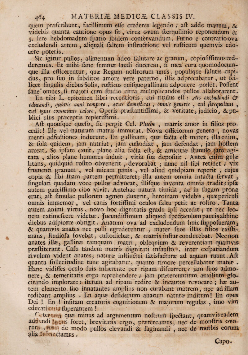 quem praefcrlbunt, facillimum die crederes legendo ; aft adde manum, d& videbis quanta cautione opus fit, circa ovum fterquiliffio reponendum & 5. fere hebdomadum fpatio ibidem confervandum. Furno e contrario ova excludendi artem , aliquali faltem inftru&ione vel rufticum quemvis edo¬ cere poteris. Sic igitur pullos, alimentum adeo falutare ac gratum, copiofiffi mos red¬ deremus. Et mihi Xane fumma? laudi ducerem, ii mea cura quomodocum¬ que illa efficerentur, quae Regum noftrorum unus, populique falutis cupi¬ dus , pro ibo in fubditos amore vere paterno, illis adprecabatur , ut fci~ licet fingulis diebus Solis, rufticus quifque gallinam adponere polfet. Poffent fane* omnes, fi majori cum ftudio circa ^multiplicandos pullos allaborarent. E11 tibi L. epitomen libri recentioris , cui titulus eft c. Ars excludendi & educandi, quovis anni tempore , aves dom eft icas , omnis generis , vel fterquilinii , vel ignis communii calare, Operis praftantiffimi, & veritate, judicio * & pu¬ blici ufus praeceptis repletiffimi / Aft quoufque quaefo, fic pergit Cei. Pluche , matris amor in filios pro¬ cedit! Ille vel naturam matris immutat. Nova officiorum genera , novas menti adfe&iones inducunt. En gallinam, quae fa<5ta eft mater; illa enim, & fola quidem, jam nutriat, jam cuftodiat , jam defendat , jam hoftem arceat,. Se ipfam exuit, plane alia fadla eft, & amicitiae ftimulo jam agi¬ tata , alios plane humores induit , vitia fua depofuit . Antea enim gulas litans, quidquid roftro obvenerit, devorabat ; nunc nil fibi retinet ; vix frumenti granum , vel micam panis , vel aliud quidpiam reperit , cujus copia & fibi Xuam partem permitteret; illa autem omnia inta&a fervat , fingulari quadam voce pullos advocat, illMque inventa omnia tradit ;ipfa autem parciffimo cibo vivit. Antehac natura timida , ac in fugam prona erat; aft fimulac pullorum agmen duxerit, heroinarn videbis, qua? periculi omnis immemor , vel canis fortiffimi oculos faltu petit ac roftro . Tanta autem animi virtus , novo hoc dignitatis gradu ipfi accedit; ut nec leo¬ nem extimefcere videtur. Jucundiffimum aliquod fpedaculum paucis abhinc cliebus adfpicere obtigit. Anatum ova ad excludendum huic fuppofueram, 3i quamyis anates nec pulli egrederentur , mater fuos illas filios exifti- mans, ftudiofa fovebat, cuftodiebat, & matris inftarconducebat. Nec non anates ilia?, gallina? tamquam matri , obfequium & reverentiam quamvis pra?ftiterant. Cafu tandem matris dignitati infaufto ■*, inter exXpatiandum rivulum vident anates; natura? inftindui fatisfadurae ad aquam ruunt.Aft quanta follecitudine tunc agitabatur, quanto timore percellabatur mater . Hanc vidifies oculo fuis inhaerente per ripam difeurrere ; jam fuos admo¬ nere, dc temeritatis ergo reprehendere ; jam praetereuntium auxilium glo- citando implorare; iterum ad ripam redire & incautos revocare ; ha? au¬ tem elementoufuo innatantes amplius non curabant matrem, nec ad illam redibant amplius . En aquae defiderium anatum naturae inditum! En opus Dei ! En ! infitam creatoris cognitionem di majorum regulas , imo vim educationil fuperantem ! rcten.mi quae minus ad argumentum noftrum fpedant, quamvis eadem addendi f$cus foret, brevitatis ergo, praetereamus; nec de monftris ovo¬ rum , n&n de modo pullos elevandi dc faginandi , nec de morbis eorum ^lia Xiikifc&anaus •