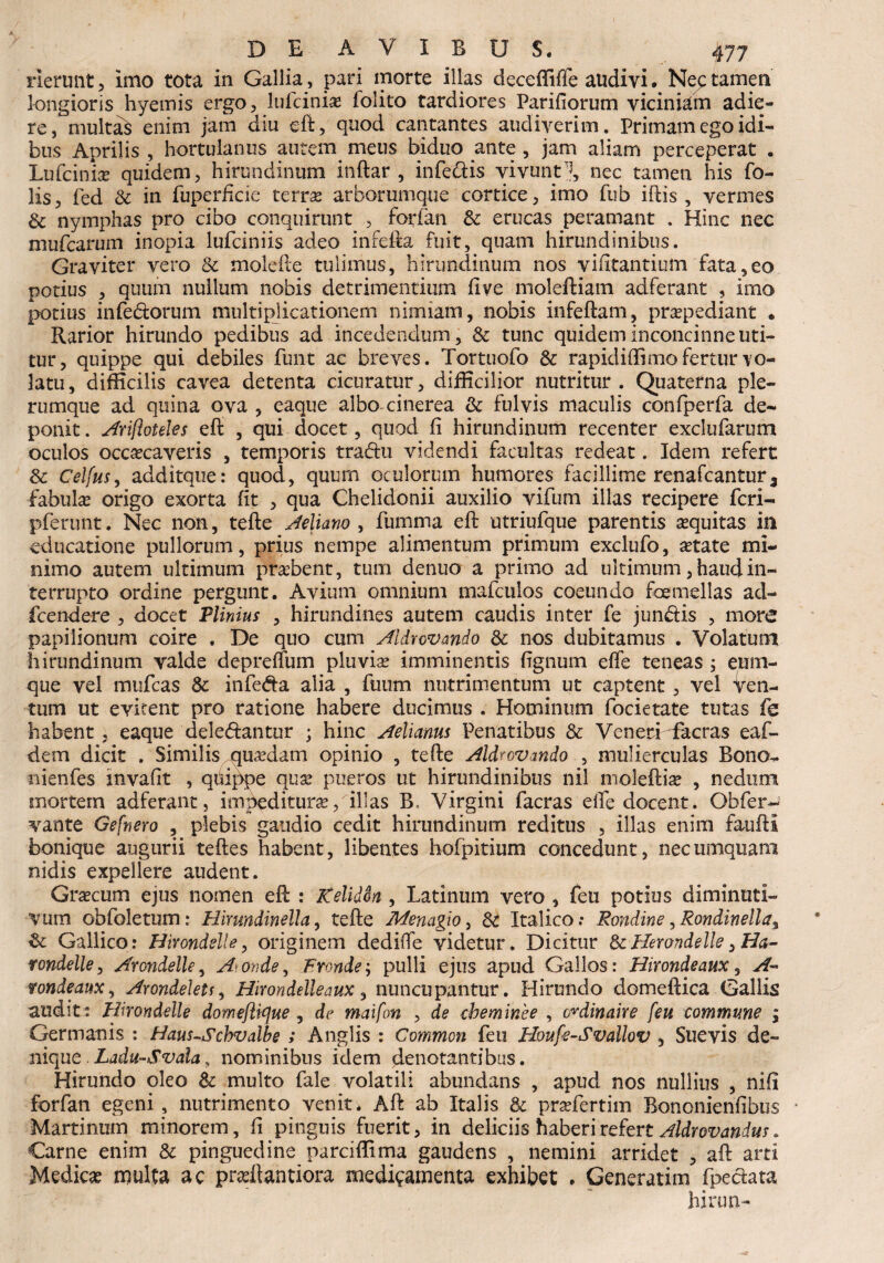 rierunt , Imo tota in Gallia, pari morte illas deceffiffe audivi. Nec tamen longioris hyemis ergo, lufcinia? lolito tardiores Pariliorum viciniam adie¬ re, multas enim jam diu eft, quod cantantes audiverim. Primam ego idi- bus Aprilis , hortulanus autem meus biduo ante , jam aliam perceperat . Lufcinia? quidem, hirundinum inftar , infe&is vivunt 1, nec tamen his To¬ lis, fed & in fuperficie terra? arborumque cortice, imo fub ifbis , vermes & nymphas pro cibo conquirunt , forfan & erucas peramant . Hinc nec mufcarum inopia luTciniis adeo inrefta fuit, quam hirundinibus. Graviter vero & molefte tulimus, hirundinum nos viiitantitim fata,eo potius , quum nullum nobis detrimentium dve moleftiam adferant , imo potius infe&orum multiplicationem nimiam, nobis infeftam, praepediant * Rarior hirundo pedibus ad incedendum, & tunc quidem inconcinne uti¬ tur, quippe qui debiles funt ac breves. Tortuofo & rapidiffimo fertur vo¬ latu, difficilis cavea detenta cicuratur, difficilior nutritur. Quaterna ple¬ rumque ad quina ova , eaque albo cinerea & fulvis maculis confperfa de¬ ponit . Arifloteles eft , qui docet, quod li hirundinum recenter exclufarum oculos occaecaveris , temporis tra&u videndi facultas redeat. Idem refert 8c Celfus, additque: quod, quum oculorum humores facillime renafcantur3 fabula? origo exorta fit , qua Chelidonii auxilio vifum illas recipere fcri- pferunt. Nec non, tefte Aeliano , fumma eft utripfque parentis asquitas in educatione pullorum, prius nempe alimentum primum exclufo, a?tate mi¬ nimo autem ultimum praebent, tum denuo a primo ad ultimum, haud in¬ terrupto ordine pergunt. Avium omnium mafculos coeundo foemellas ad- fcendere , docet Plinius , hirundines autem caudis inter fe jun&is , more papilionum coire . De quo cum Aldvovando Sc nos dubitamus . Volatum hirundinum valde deprelfum pluvia? imminentis lignum elfe teneas ; eum- que vel mufeas & infecfta alia , fuum nutrimentum ut captent , vel Ven¬ tum ut evitent pro ratione habere ducimus . Hominum focietate tutas fe habent, eaque deledantur ; hinc Aelianus Penatibus & Veneri facras eaf- dem dicit . Similis qua?dam opinio , tefte Aldrovmdo , mulierculas Bono- iiienfes invalit , quippe qua? pueros ut hirundinibus nil moleftia? , nedum mortem adferant, impediturae, illas B. Virgini facras elfe docent. Obfer-' vante Gefnero , plebis gaudio cedit hirundinum reditus , illas enim fauftl bonique augurii teftes habent, libentes hofpitium concedunt, necumquam nidis expellere audent. Graecum ejus nomen eft : XelidSn , Latinum vero , feu potius diminuti- vum obfoletmn: Hirmdinella, tefte Menagio, 8z Italico: Rondine ^Rondinella^ & Gallico: Hivondelle, originem dedilfe videtur. Dicitur Sc Hevondelle, Ha- rondelle, Arondelle, Aonde, Fronde; pulli ejus apud Gallos: Hirondeaux, A* rondeaux, Arondeleu, Hirondelleaux, nuncupantur. Hirundo domeftica Gallis audit: Hirondelle domeftique , de maifon , de cbeminee , c^dinaire feu commune ; Germanis : Haus-Schvalbe ; Anglis : Common feu Houfe-Svallov , Suevis de¬ nique . Ladu-Svdaf nominibus idem denotantibus. Hirundo oleo & multo fale volatili abundans , apud nos nullius , nili forfan egeni , nutrimento venit* Aft ab Italis & pradertim Bononienlibus Martinum minorem, li pinguis fuerit, in deliciis haberi refert Aldrovandus. Carne enim & pinguedine parciffima gaudens , nemini arridet , aft arti Medica multa ac pndlantiora medicamenta exhibet . Generatim fpectata hirtm-