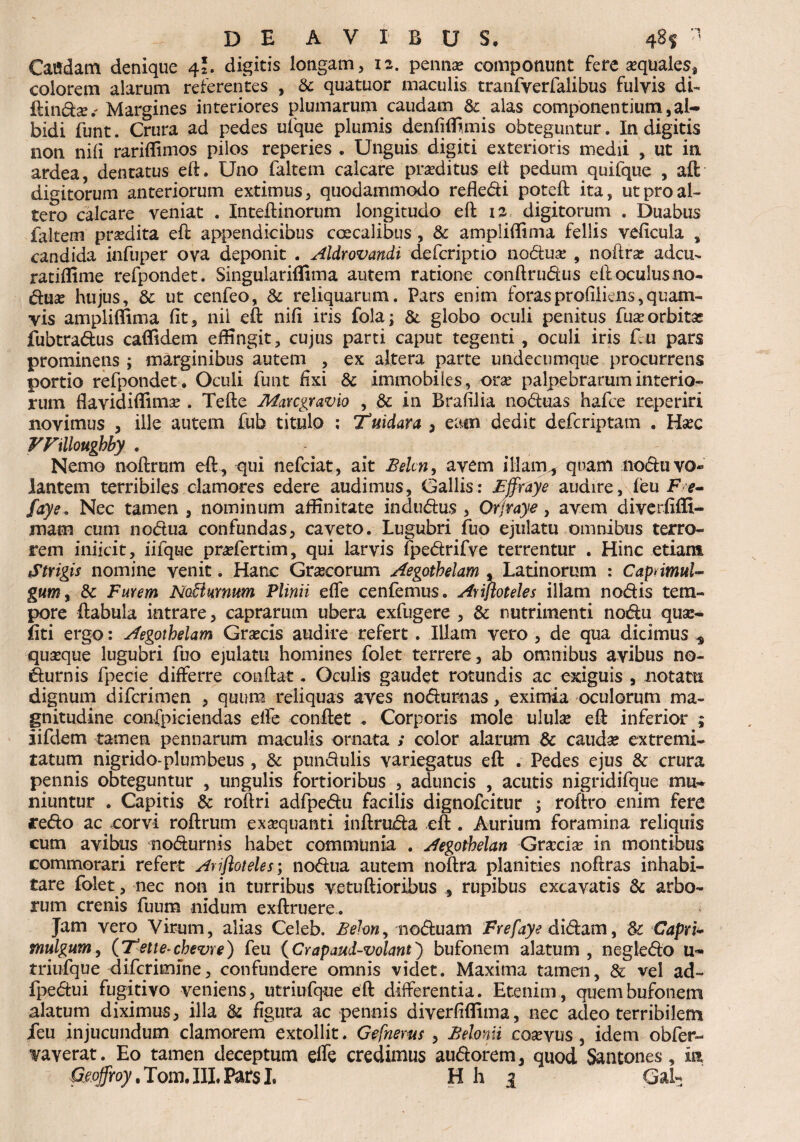 Cattdam denique 4?. digitis longam, 12. penna? componunt fere sequales* colorem alarum referentes , & quatuor maculis tranfyerfalibus fulvis di-» ftinds.'Margines interiores plumarum caudam & alas componentium,al¬ bidi funt. Crura ad pedes ufque plumis denfiffimis obteguntur. In digitis non nili rariffimos piios reperies . Unguis digiti exterioris medii , ut in ardea, dentatus eft. Uno faltem calcare proditus e it pedum quifque , aft digitorum anteriorum extimus, quodammodo refledi poteft ita, ut pro al¬ tero calcare veniat . Inteftinorum longitudo eft 12 digitorum . Duabus faltem prodita eft appendicibus coecalibus, & ampliffima fellis veficula , candida infuper ova deponit . Aldrovandi defcriptio no£tua? , noftr^ adcu*. ratiffime refpondet. Singulariffima autem ratione conftrudus eftoculusno- du£ hujus, & ut cenfeo, & reliquarum. Pars enim forasprofiliens,quam¬ vis ampliffima fit, nil eft nifi iris fola; & globo oculi penitus fua?orbitas fubtradus caffidem effingit, cujus parti caput tegenti , oculi iris flu pars prominens ; marginibus autem , ex altera parte undecumque procurrens portio refpondet. Oculi funt fixi & immobiles, ora? palpebrarum interio¬ rum flavidiffima?. Tefte Marcgravio , & in Brafilia noduas hafce reperiri novimus , ille autem fub titulo ; Tuidara 3 eam dedit defcriptam . Hsec VFtllougbby . ^ Nemo noftrum eft, qui nefciat, ait Belm, avem illam , quam nodu vo¬ lantem terribiles clamores edere audimus, Gallis: Ejfiraye audire, feu Fe- faye. Nec tamen , nominum affinitate indudus , Orjraye, avem diverfiffi- mam cum nodua confundas, caveto. Lugubri fiuo ejulatu omnibus terro¬ rem iniicit, iifque pra?fertim, qui larvis fpedrifve terrentur . Hinc etiam Strigis nomine venit. Hanc Grascorum Aegotbelam , Latinorum : Caprimul¬ gum, & Furem Nc&wnum Plinii effe cenfemus. Ariftoteles illam nodis tem¬ pore ftabula intrare, caprarum ubera exfugere , & nutrimenti nodu quse- iiti ergo: Aegotbelam Grsecis audire refert. Illam vero , de qua dicimus s quseque lugubri fuo ejulatu homines folet terrere, ab omnibus avibus no- durnis fpecie differre conftat. Oculis gaudet rotundis ac exiguis , notatu dignum difcrimen , quum reliquas aves nodurnas, eximia oculorum ma¬ gnitudine confpiciendas effe conflet . Corporis mole ululae eft inferior ; jifdem tamen pennarum maculis ornata ; color alarum & cauda? extremi¬ tatum nigrido-plumbeus , & pundulis variegatus eft . Pedes ejus & crura pennis obteguntur , ungulis fortioribus , aduncis , acutis nigridifque mu-* niuntur • Capitis & roftri adfpedu facilis dignofcitur ; roftro enim fere redo ac corvi roftrum exaequanti inftruda eft . Aurium foramina reliquis cum avibus nodurnis habet communia . Aegotbelan Graecia? in montibus commorari refert Arifloteles; nodua autem noftra planities noftras inhabi¬ tare folet, nec non in turribus vetuftioribus , rupibus excavatis & arbo¬ rum crenis fuum nidum exftruere . Jam vero Virum, alias Celeb. Behn, noduam Frefaye didam, & Capri* tnulgum, (7*ette-chevre) feu (Crapaud-volant) bufonem alatum, negledo u- triufque difcriinfne, confundere omnis videt. Maxima tamen, & vel ad¬ fpedu i fugitivo veniens, utriufque eft differentia. Etenim , quem bufonem alatum diximus, illa & figura ac pennis diverfiffima, nec adeo terribilem ieu injucundum clamorem extollit. Gefnems , Belonii cosevus , idem obfer- vaverat. Eo tamen deceptum effe credimus audorem, quod Santones, m Geojfroy,Tom.III.ParsI. Hh ] GaL