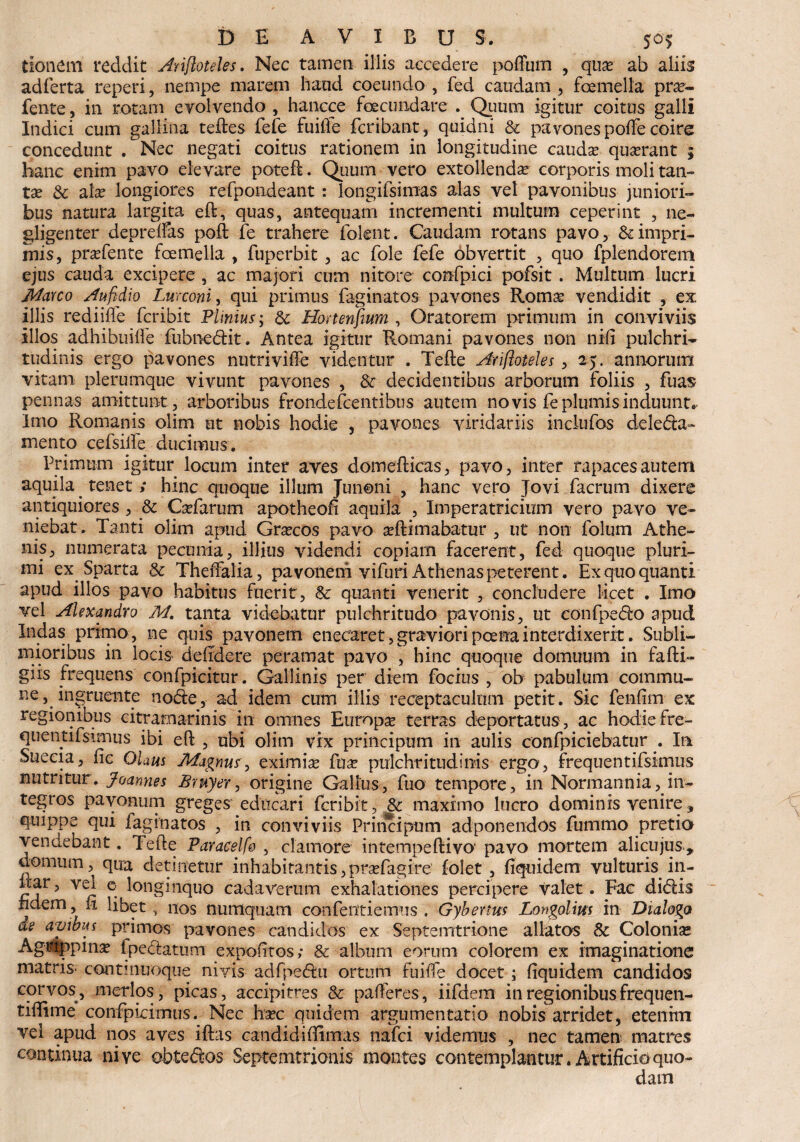 donem reddit Arifloteles. Nec tamen iliis accedere poffum , qua? ab aliis adferta reperi, nempe marem hand coeundo, fed caudam, femella prsc¬ iente , in rotam evolvendo , hancce fecundare .. Quum igitur coitus galli Indici cum gallina teftes fefe fuifte fcribant, quidni & pavones polfe coire concedunt . Nec negati coitus rationem in longitudine cauda? qua?rant ; hanc enim pavo elevare poteft. Quum vero extollenda? corporis moli tan¬ ta? & ala? longiores refpondeant: longiisimas alas vel pavonibus juniori¬ bus natura largita eft, quas, antequam incrementi multum ceperint , ne- gligenter deprelfas poft fe trahere folent. Caudam rotans pavo, & impri¬ mis, pra?fente femella , fuperbit, ac fole fefe obvertit , quo fplendorem ejus cauda excipere , ac majori cum nitore confpici pofsit. Multum lucri Masco Aufidio Lurconi, qui primus faginatos pavones Roma? vendidit , ex illis rediifle fcribit Plinius; 8c Honenfitum , Oratorem primum in conviviis illos adhibuiife fubnedit. Antea igitur Romani pavones non nili pulchri¬ tudinis ergo pavones nutriviffe videntur . Tefte Arifloteles, 25. annorum vitam plerumque vivunt pavones , 8c decidentibus arborum foliis , fuas pennas amittunt, arboribus fronde fcentibus autem novis fe plumis induunto Imo Romanis olim ut nobis hodie , pavones viridariis inclufos deleda- mento cefsiife ducimus. Primum igitur locum inter aves domefticas, pavo, inter rapaces autem aquila tenet; hinc quoque illum Junoni , hanc vero Jovi facrum dixere antiquiores , & Cadar um apotheofi aquila , Imperatricium vero pavo ve¬ niebat. Tanti olim apud Gra?cos pavo ultimabatur, ut non folum Athe¬ nis, numerata pecunia, illius videndi copiam facerent, fed quoque pluri¬ mi ex Sparta & Theffalia, pavoneni vifuri Athenas peterent. Ex quo quanti apud illos pavo habitus fuerit, & quanti venerit , concludere licet . Imo vel Alexandro M. tanta videbatur pulchritudo pavonis, ut confpedo apud Indas primo , ne quis pavonem enecaret, graviori poena interdixerit. Subli¬ mioribus in locis delrdere peramat pavo , hinc quoque domuum in fafti- giis frequens confpicitur. Gallinis per diem focius , ob pabulum commu¬ ne, ingruente node, ad idem cum iliis receptaculum petit. Sic fenliin ex regionibus citramarinis in omnes Europa? terras deportatus, ac hodie fre- quentifsunus ibi eft , ubi olim vix principum in aulis confpiciebatur . In Suecia, lic Olaus Magnus, eximia fua? pulchritudinis ergo, frequentifsimus nutritur. Joannes Bmyer, origine Gallus, fuo tempore, in Normannia,in¬ tegros pavonum greges educari fcribit, & maximo lucro dominis venire, quippe qui faginatos , in conviviis Principum adponendos fummo pretio vendebant. Tefte Paracelfo , clamore intempeftivo' pavo mortem alicujus, domum, qua detinetur inhabitantis, praTagire folet, fiquidem vulturis in- Vr C* ^onS],1(luo cadaverum exhalationes percipere valet. Fac didis fidem , h libet , nos numquam confeiitiemus . Gybenus Longolim in Dialogo de avibus primos pavones candidos ex Septemtrione allatos & Colonise Agrippina? ipedatum expolitos; & album eorum colorem ex imaginatione matris- contmuoque ni vis adfpedti ortum fuilfe docet ; fiquidem candidos corvos, merlos, picas, accipitres & palleres, iifdem in regionibusfrequen- tifiime confpicimus. Nec ha?c quidem argumentatio nobis arridet, etenim vel apud nos aves iftas candidi (limas nafci videmus , nec tamen matres continua nive obtedos Septemtrionis montes contemplantur. Artificio quo¬ dam