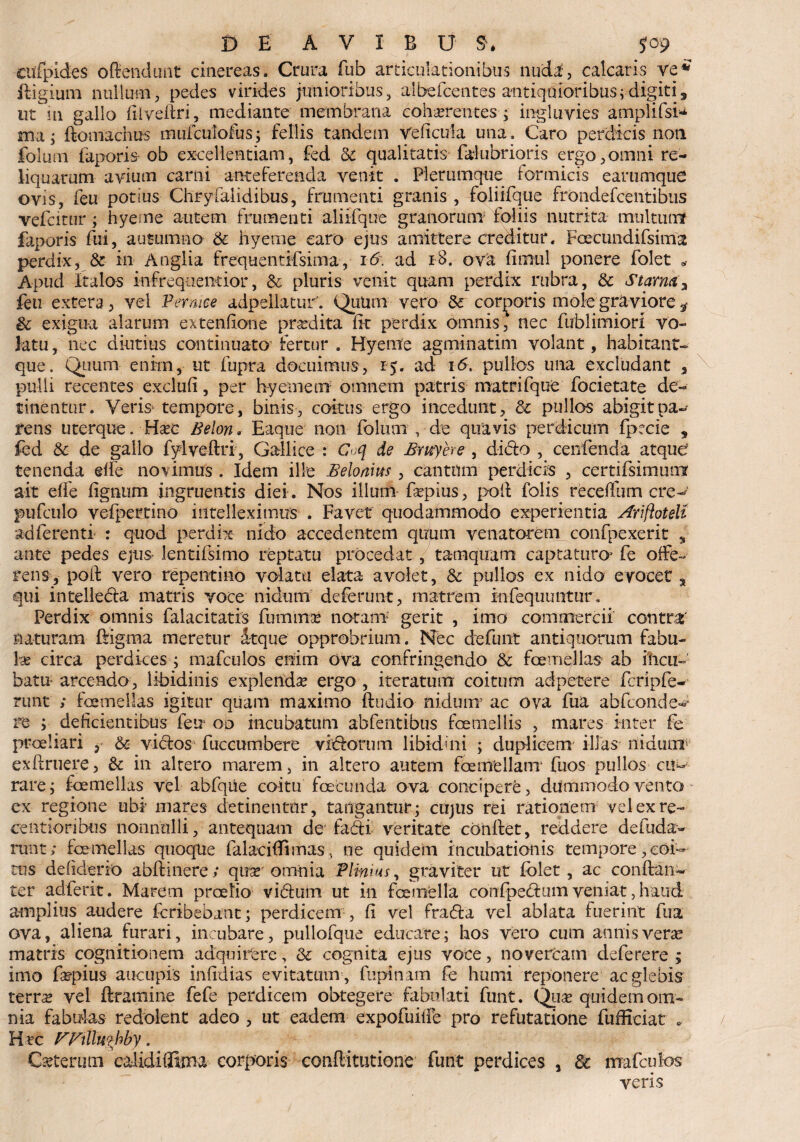 cufpides offendunt cinereas. Crura fub articulationibus nuda, calcaris ve* fligium nullum, pedes virides junioribus, albefcentes antiquioribus;digiti3 ut m gallo filveftri, mediante membrana cohseremes-; ingluvies amplifsi* ma ; ftomachus mufcuiofus; fellis tandem ve fi cui a una. Caro perdicis non folum faporis ob excellentiam, fed & qualitatis falubrioris ergo,omni re¬ liquarum avium carni anteferenda venit . Plerumque formicis earumque ovis, feu potius Chryfalidibus, frumenti granis , foliifque frondefcentibus vefcittir; hyeme autem frumenti aliifque granorum foliis nutrita multum? faporis fui, autumno & hyeme caro ejus amittere creditur. Foecundifsinfat perdix, & in Anglia frequentifsima, 16: ad 18. ova fimul ponere folet * Apud Italos infrequentior, & pluris venit quam perdix rubra, & Starm3 feu extera, vel Pernice adpellatur'. Qutim vero & corporis mole graviore * & exigua alarum extenfione prodita fit perdix omnis, nec fublimiori vo¬ latu , nec diutius continuato fertur . Hyente agminatim volant, habitant- que. Quum enim, ut fupra docuimus, 15. ad i<5, pullos una excludant , pulli recentes exci u (i, per hyeme m omnem patris matrifque focietate de¬ tinentur. Ve-ris* tempore, binis, coitus ergo incedunt, & pullos abigitpa^ rens uterque. Ha?c Belon* Eaque non folum , de quavis perdicum fpccie s fed &■ de gallo fylveflri, Gallice : Cq de Bmyere , dido , cenfenda atque' tenenda elfe novimus . Idem ille Beloams, cantum perdicis , certifsimuni ait effe fignum ingruentis diei . Nos illum fsepius, pofl folis receffum cre-' pufculo vefpertino intelleximus . Favet quodammodo experientia Ariftotell ad ferenti : quod perdix nido accedentem quum venatorem confpexerit , ante pedes ejus- lentifsimo reptatu procedat , tamquam captaturo* fe offe¬ rens, pofl vero repentino volatu elata avolet, & pullos ex nido evocet 3 qui intelieda matris voce nidum deferunt, matrem infequimtur. Perdix omnis falacitatis fumrna? notam: gerit , imo commercii contra' naturam ftigma meretur dtque opprobrium. Nec defunt antiquorum fabu¬ la circa perdices ; mafculos enim ova confringendo & femellas ab incu¬ bato arcendo, libidinis explenda? ergo , iteratum coitum adpetere fcripfe- runt ; femellas igitur quam maximo {ludio nidum’ ac ova fua abfconde^ m ; deficientibus feu 00 incubatum abfentibus femellis , mares inter fe proeliari , & viclos fuccumbere vidforum 1 i bidui i ; duplicem illas nidumr exflruere, & in altero marem, in altero autem femellam* fuos pullos cu¬ rare i femellas vel abfqiie coitu fecunda ova concipere, dummodo vento ex regione ubi mares detinentur, tangantur; cujus rei rationem vel ex re- editioribus nonnulli, antequam de feti veritate conflet, reddere defuda- runt; femellas quoque falacifTimas,, ne quidem incubationis tempore,coi¬ tus deficleno abflinere; qua?' omnia Plinius, graviter ut folet , ac conflan- ter adferit. Marem proelio vidlum ut in femella confpeflum veniat, haud amplius audere feribebant; perdicem , fi vel frada vel ablata fuerint fua ova, aliena furari, incubare, pullofque educare; hos vero cum annis verse matris cognitionem adquirere, & cognita ejus voce, novercam deferere ; imo fepius aucupis infidias evitatum , ftipinam fe humi reponere ac glebis terra? vel ftramine fefe perdicem obtegere fabulati funt. Qua? quidem om¬ nia fabulas redolent adeo , ut eadem expofuitfe pro refutatione fufHciat . Htc FFxllwhby. Ceterum calidiffima corporis conftitutione funt perdices , 8c mafculos veris