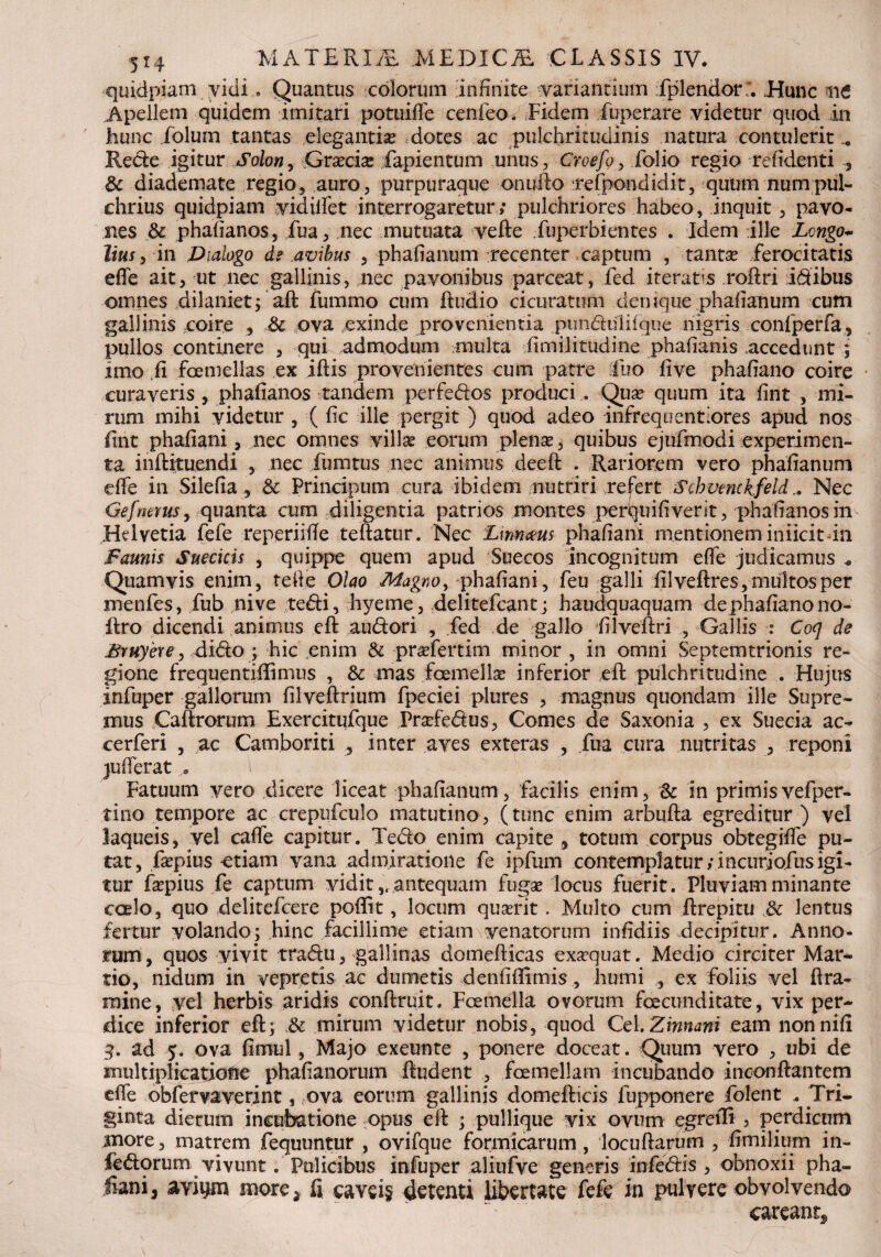 quidpiam yidi. Quantus colorum 'infinite variantium fplendorr. Hunc Apellem quidem imitari potuiffe cenfeo. Fidem fuperare videtur quod In hunc folum tantas elegantia dotes ac pulchritudinis natura contulerit Rede igitur Solon, Grxdx fapientum unus, Croefg, folio regio refidenti , 3c diademate regio, auro, purpuraque onufto Tefpondidit, quum numpul¬ chrius quidpiam yidilfet interrogaretur; pulchriores habeo, inquit , pavo- nes & phafianos, fua, nec mutuata vefte Euperbientes . Idem ille Longo* Itus ^ in Dialogo d? avibus , phafianum recenter captum , tanta? ferocitatis effe ait, ut nec gallinis, nec pavonibus parceat, fed iteratis roftri Idibus omnes dilaniet5 aft fummo cum ftudio cicuratum denique phafianum cum gallinis coire , & ova exinde provenientia pundulifque nigris confperfa, pullos continere , qui admodum multa fimilitudine phafianis accedunt ; imo fi fcemellas ex iftis provenientes cum patre fuo fi ve phafiano coire curaveris , phafianos tandem perfedos produci, Qua? quum ita fint , mi¬ rum mihi videtur , ( fic ille pergit ) quod adeo infrequenriores apud nos fint phafiani, nec omnes villa? eorum plente, quibus ejufmodi experimen¬ ta inftituendi , nec fumtus nec animus deeft . Rariorem vero phafianum dfe in Silefia, & Principum cura ibidem nutriri refert Scbvenckfeld.. Nec Gefrmusy quanta cum diligentia patrios montes perquifiverit, phafianos in Helvetia fefe reperiifie teftatur. Nec Lmnms phafiani mentionem iniicit in Faunis Suecicis , quippe quem apud Suecos incognitum effe judicamus * Quamvis enim, tefte Olao Magno, phafiani, feu galli filveftres, multos per menfes, fub nive tedi, hyeme, delitefcant; haudquaquam dephafianono- ftro dicendi animus eft audori , fed de gallo filveftri , Gallis : Coq de Bruyere, dido ; hic enim & pra?fertim minor , in omni Septemtrionis re¬ gione frequentifiimus , & mas foemella? inferior eft pulchritudine . Hujus infuper gallorum filveftrium fpeciei plures , magnus quondam ille Supre¬ mus Caftrorum Exercitufque Prsefedus, Comes de Saxonia , ex Suecia ac- cerferi , ac Camboriti , inter aves exteras , fua cura nutritas , reponi jufierat . Fatuum vero dicere liceat phafianum, facilis enim, & in primisvefper- tino tempore ac crepufculo matutino, (tunc enim arbufta egreditur ) vel laqueis, vel caffe capitur. Tedo enim capite , totum corpus obtegiffe pu¬ tat, ftepius etiam vana admiratione fe ipfum contemplatur/incurjofusigi- tur fa?pius fe captum vidit v antequam fuga? locus fuerit. Pluviam minante coelo, quo delitefcere poffit, locum qua?rit. Multo cum ftrepitu\&: lentus fertur volando; hinc facillime etiam venatorum infidiis decipitur. Anno¬ rum, quos vivit tradu, gallinas domefticas exa?quat. Medio circiter Mar¬ tio, nidum in vepretis ac dumetis denfiftimis, humi , ex foliis vel ftra- mine, vel herbis aridis conftruit. Foemella ovorum foecunditate, vix per¬ dice inferior eft; & mirum videtur nobis, quod Cei.Zinnani eam nonnifi 3. ad 5. ova fimul, Majo exeunte , ponere doceat. Quum vero , ubi de multiplicatione phafianorum ftudent , foemellam incubando inconftantem effe obfervaverint, ova eorum gallinis domefticis fupponere folent Tri¬ ginta dierum incubatione opus eft ; pullique vix ovum egrefti , perdicum more, matrem fequuntur , ovifque formicarum, locuftartim , firnilium in- fedorum vivunt. Pulicibus infuper aliufve generis infedis , obnoxii pha¬ fiani , avi^m more a fi cavei§ detenti libertate fefe in pulvere obvolvendo careantf