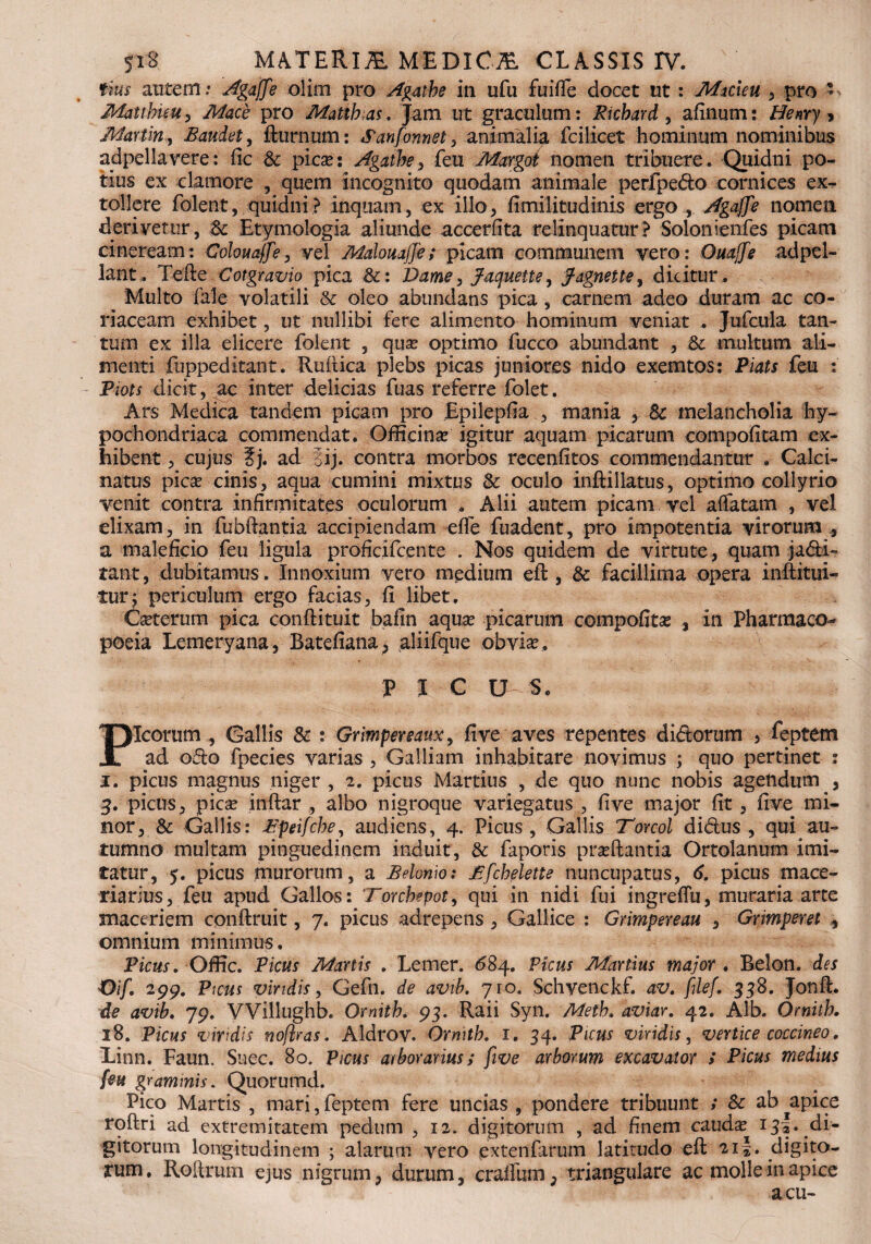 tius autem.* Agaffe olim pro Agathe in ufu fuiffe docet ut: Micieu , pro - MattMeu, Mace pro Mattbas. Jam ut graculum: Richard , afinum: Henry * Martin, Baudet, fturnum: Manfonnet, animalia fcilicet hominum nominibus appellavere: fic & picas: Agatbe, feu Margot nomen tribuere. Quidni po¬ tius ex clamore , quem incognito quodam animale perfpedo cornices ex¬ tollere folent, quidni? inquam, ex illo, fimilitudinis ergo Agaffe nomen derivetur, 3c Etymologia aliunde accerfita relinquatur? Solonienfes picam cineream: Colouaffe, vel Malouajfe; picam communem vero: Ouaffe ad pel¬ lant. Tefle Cotgravio pica &: 1hame, Jaquette, Jagnette, dicitur. Multo fale volatili & oleo abundans pica, carnem adeo duram ac co¬ riaceam exhibet, ut nullibi fere alimento hominum veniat . Jufcula tan¬ tum ex illa elicere folent , quas optimo fucco abundant , & multum ali¬ menti fupped itant. Rufiica plebs picas juniores nido exemtos: Piats feu : Piots dicit, ac inter delicias fuas referre folet. Ars Medica tandem picam pro Epilepfia , mania , 8c melancholia hy¬ pochondriaca commendat. Officinas igitur aquam picarum compofitam ex¬ hibent , cujus ?j. ad ii), contra morbos recenfitos commendantur , Calci- natus picas cinis, aqua cumini mixtus & oculo inftillatus, optimo collyrio venit contra infirmitates oculorum . Alii autem picam vel affatam , vel elixam, in fubflantia accipiendam effe fuadent, pro impotentia virorum ., a maleficio feu ligula proficifcente . Nos quidem de virtute, quam ja&i- tant, dubitamus. Innoxium vero medium eft, & facillima opera inftitui- tur; periculum ergo facias, fi libet. Casterum pica confiituit bafin aquas picarum compofitas , in Pharmaco** poeia Lemeryana, Batefiana, aliifque obvias. P I c u s« Picorum , Gallis & : Grimpereaux, five aves repentes di&orum > Leptem ad odo fpecies varias , Galliam inhabitare novimus ; quo pertinet : i. picus magnus niger , 2. picus Martius , de quo nunc nobis agendum , 3. picus, picas inftar , albo nigroque variegatus , five major fit, five mi¬ nor, & Gallis: Bpeifcbe, audiens, 4. Picus, Gallis Torcol didus , qui au¬ tumno multam pinguedinem induit, &: faporis proflantia Ortolanum imi¬ tatur, 5. picus murorum, a Belonio: Bfcbelette nuncupatus, 6. picus mace- riarius, feu apud Gallos: Torcbepot, qui in nidi fui ingreffu, muraria arte maceriem conftruit, 7. picus adrepens , Gallice : Grimpereau , Grimperet , omnium minimus. Picus. Offic. Picus Martis . Lemer. <584. Picus Martius major . Belon. des Oif. 299. Picus viridis, Gefn. de avib. yro. Schyenckf. av. filef. 538. Jonfl. de avib. 79. VVillughb. Ornitb. 93. Raii Syn. Meth. aviar. 42. Alb. Ornitb. 18. Picus vindis noftras. Aldrov. Ornitb. 1. 34. Picus viridis, vertice coccineo. Linn. Faun. Suec. 80. Picus arborarius; five arborum excavator > Picus medius feu grammis. Quorumd. Pico Martis , mari, feptem fere uncias , pondere tribuunt ; & ab apice roftri ad extremitatem pedum , 12. digitorum , ad finem caudas i^a. di¬ gitorum longitudinem ; alarum vero extenfarum latitudo eft 2il. digito¬ rum. Roftrum ejus nigrum, durum, craffum, triangulare ac molle in apice acu-