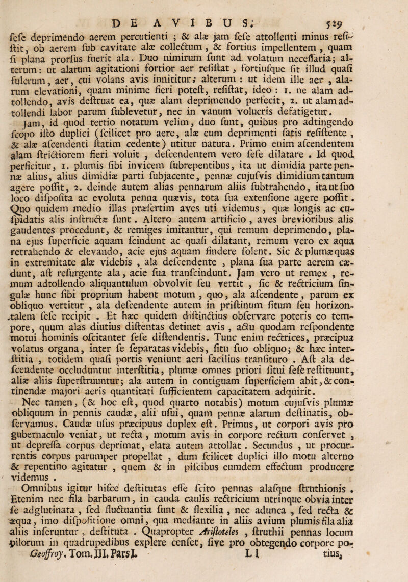 fefe deprimendo aerem percudenti ; & alse jam fefe attollenti minus refi- ftit, ob aerem fub cavitate alas colledum , & fortius impellentem , quam fi plana prorfus fuerit ala. Duo nimirum funt ad volatum neceflaria; al¬ terum: ut alarum agitationi fortior aer refiftat, fortiufque fit illud quafi fulcrum5 aer, cui volans avis innititur; alterum : ut idem ille aer , ala¬ rum elevationi, quam minime fieri poteft, refiftat, ideo : 1. ne alam ad- tollendo, avis deftruat ea, quas alam deprimendo perfecit, 2. ut alamad- tollendi labor parum fublevetur, nec in vanum volucris defatigetur. jam, id quod tertio notatum velim, duo funt, quibus pro adtingendo fcopo ifto duplici (fcilicet pro aere, alas eum deprimenti fatis refiftente , 8c alas afcendenti ftatim cedente) utitur natura. Primo enim afcendentem alam ftridiorem fieri voluit , defcendentem vero fefe dilatare . Id quod perficitur, 1. plumis fibi invicem fubrepentibus, ita ut dimidia parte pen¬ nae alius, alius dimidias parti fubjacente, pennae cujufvis dimidium tantum agere poffit, 2. deinde autem alias pennarum aliis fubtrahendo, itautfuo loco difpofita ac evoluta penna quasvis, tota fua extenfione agere poffit. Quo quidem medio illas prasfertim aves uti videmus , quas longis ac cu- fpidatis alis inftrudas funt. Altero autem artificio , aves brevioribus alis gaudentes procedunt, & remiges imitantur, qui remum deprimendo, pla¬ na ejus fuperficie aquam fcindunt ac quafi dilatant, remum vero ex aqua retrahendo & elevando, acie ejus aquam findere folent. Sic & plumas quas in extremitate ala: videbis , ala defcendente , plana fua parte aerem cas- dunt, aft refurgente ala, acie fua tranfcindunt. Jam vero ut remex , re¬ mum adtollendo aliquantulum obvolvit feu vertit , fic & redricium fin- gulas hunc fibi proprium habent motum , quo, ala afcendente, parum ex obliquo vertitur , ala defcendente autem in priftinum fitum feu horizon- .talem fefe recipit . Et hsec quidem diftindius obfervare poteris eo tem¬ pore, quum alas diutius diftentas detinet avis , adu quodam refpondente motui hominis ofcitanter fefe diftendentis. Tunc enim redrices, praecipua volatus organa, inter ie feparatas videbis, fitu fuo obliquo; &: hasc inter- ftitia , totidem quafi portis veniunt aeri facilius tranfituro . Aft ala de¬ fcendente occluduntur interftitia, plumas omnes priori fitui feffcreftituunt, aliae aliis fuperftruuntur; ala autem in contiguam fuperficiem abit, & con¬ tinendae majori aeris quantitati fufficientem capacitatem adquirit. Nec tamen, (& hoc eft, quod quarto notabis) motum cujufvis plumae obliquum in pennis caudae, alii ufui, quam pennas alarum deftinatis, ob- fervamus. Caudas ufus praecipuus duplex eft. Primus, ut corpori avis pro gubernaculo veniat, ut reda , motum avis in corpore redum confervet 3 ut deprelfa corpus deprimat, elata autem attollat. Secundus , ut procur¬ rentis corpus parumper propellat , dum fcilicet duplici illo motu alterno & repentino agitatur , quem &c in pifcibus eumdem effedum producere videmus . Omnibus igitur hifce deftitutas elfe fcito pennas alafque ftmthionis . Etenim nec fila barbarum, in cauda caulis redricium utrinque obvia inter fe adglutinata , fed fiuduantia funt & flexilia, nec adunca , fed reda & asqua, imo difpofitione omni, qua mediante in aliis avium plumis fila alia aliis inferuntur , deftituta . Quapropter Arifi&telei , ftruthii pennas locum pilorum in quadrupedibus explere cenfet, five pro obtegendo corpore po- Gsoffroy.Tom^Vml* L l tius,