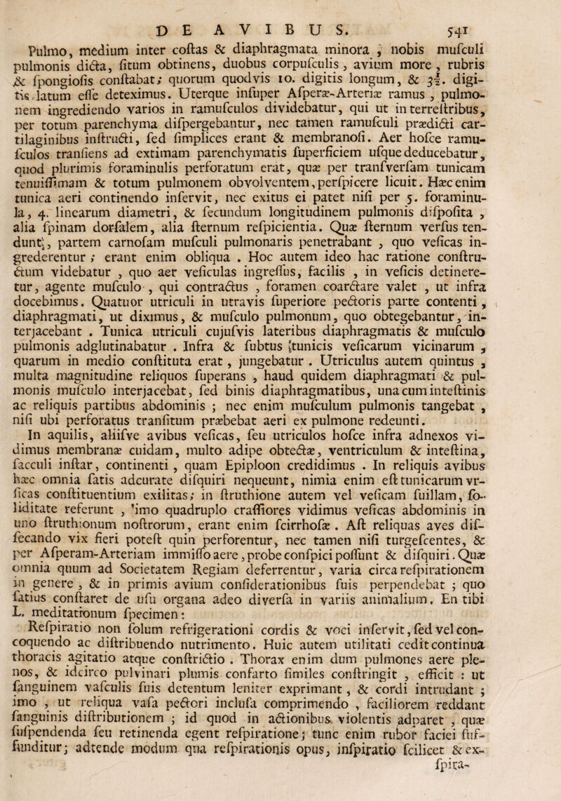 Pulmo, medium inter coftas Sc diaphragmata minora , nobis mufculi pulmonis dida, fitum obtinens, duobus corpufculis , avium more, rubris jSc fpongiofis conflabat; quorum quodvis 10. digitis longum, & 3I. digi¬ tis datum efle deteximus. Uterque infuper Afperas Arteria: ramus , pulmo¬ nem ingrediendo varios in ramufculos dividebatur, qui ut interreltribus, per totum parenchyma difpergebantur, nec tamen ramufculi prasdidi car¬ tilaginibus inftmdi, fed fimplices erant & membrandi. Aer hofce ramu- Iculos tranfiens ad extimam parenchymatis fuperficiem ufque deducebatur, quod plurimis foraminulis perforatum erat, quse per tranfverfam tunicam tenuiffimam Sc totum pulmonem obvolventem^erfpicere licuit. Hsecenim tunica aeri continendo infervit, nec exitus ei patet nili per 5. foraminu- la, 4. linearum diametri, Sc fecundum longitudinem pulmonis difpofita , alia fpinam dorfdem, alia fternum refpicientia. Qua: fiernum verfus ten¬ dunt^, partem carnofam mufculi pulmonaris penetrabant , quo veficas in¬ grederentur ; erant enim obliqua . Hoc autem ideo hac ratione conftru- dum videbatur , quo aer veficulas ingreffus, facilis , in veficis detinere¬ tur, agente mufculo , qui contradus , foramen coardare valet , ut infra docebimus. Qua tuor utriculi in utravis fuperiore pedoris parte contenti, diaphragmati, ut diximus, & mufculo pulmonum, quo obtegebantur, in¬ terjacebant . Tunica utriculi cujufvis lateribus diaphragmatis & mufculo pulmonis adglutinabatur . Infra 3c fubtus [tunicis veficarum vicinarum quarum in medio conftituta erat, jungebatur . Utriculus autem quintus , inulta magnitudine reliquos fuperans , haud quidem diaphragmati Sc pul¬ monis mufculo interjacebat, fed binis diaphragmatibus, una cum inteftinis ac reliquis partibus abdominis ; nec enim mufculum pulmonis tangebat , nifi ubi perforatus tranfitum pr^bebat aeri ex pulmone redeunti. In aquilis, aliifve avibus veficas, feu utriculos hofce infra adnexos vi¬ dimus membranae cuidam, multo adipe obtedas, ventriculum & inteftina,, facculi inftar, continenti, quam Epiploon credidimus . In reliquis avibus haec omnia fatis adcurate difquiri nequeunt, nimia enim eft tunicarum vr- (icas confti tuentium exilitas; in ftruthione autem vel veficam fuillam, f>- liditate referunt , ?imo quadruplo craffiores vidimus veficas abdominis in uno ftruthionum noftrorum, erant enim fcirrhofa: . Aft reliquas aves dif- fecando vix fieri potefi: quin perforentur, nec tamen nifi turgefcentes, Sc per Afperam-Arteriam immifloaere,probeconfpicipofiunt Sc difquiri.Quas omnia quum ad Societatem Regiam deferrentur, varia circarefpirationem m genere , Sc in primis avium confiderationibus fuis perpendebat ; quo fetius conflaret de ufu organa adeo diverfa in variis animalium. En tibi L. meditationum fpecimen: Refpiratio non folum refrigerationi cordis Sc voci infervit, fed vel con¬ coquendo ac diftribuendo nutrimento. Huic autem utilitati cedit continua thoracis agitatio atque conftridio . Thorax enim dum pulmones aere ple¬ nos, Sc idcirco pulvinari plumis confarto fimiles confringit , efficit : ut fanguinem vafculis fuis detentum leniter exprimant, Sc cordi intrudant ; jmo , ut reliqua vafa pedori inclufa comprimendo , faciliorem reddant fanguinis diftributionem ; id quod in adionibus violentis adparet , quae fufpendenda feu retinenda egent refpiratione; tunc enim rubor faciei ftif- funditur; adtende modum qua refpirationis opus, infpiratio fodicet &ex- fpita-