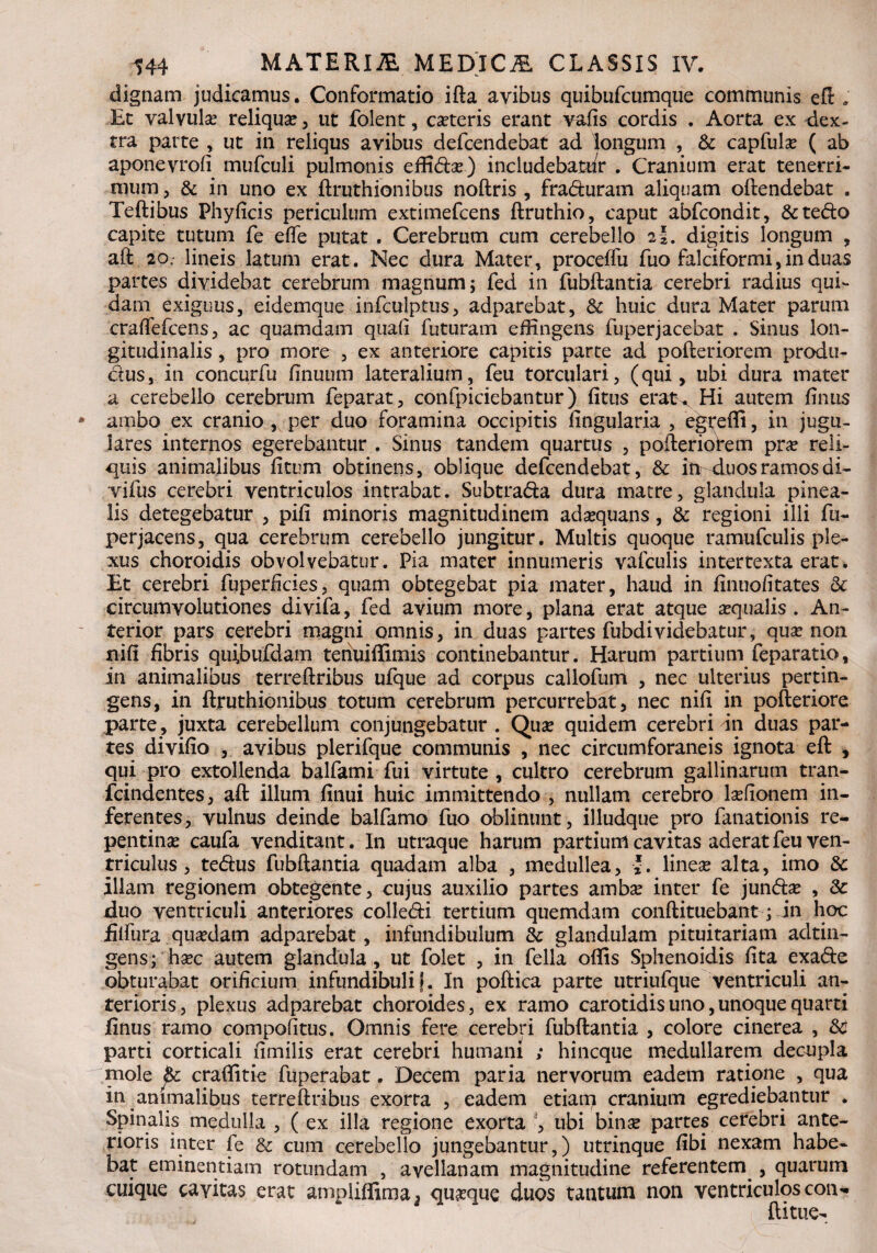 dignam judicamus. Conformatio ifta avibus quibufcumque communis eft . Et valvula? reliqua?, ut folent, canteris erant vafis cordis . Aorta ex dex¬ tra parte , ut in reliqus avibus defcendebat ad longum , & capfula? ( ab aponevrofi mufculi pulmonis effida?) includebatur . Cranium erat tenerri¬ mum , & in uno ex ftruthionibns noftris , fraduram aliquam oftendebat . Teftibus Phyficis periculum extimefcens ftruthio, caput abfcondit, &tedo capite tutum fe ede putat . Cerebrum cum cerebello 21. digitis longum , aft 20, lineis latum erat. Nec dura Mater, proceflu fuo falciformi, in duas partes dividebat cerebrum magnum; fed in fubftantia cerebri radius qui¬ dam exiguus, eidemque infculptus, adparebat, & huic dura Mater parum cradefcens, ac quamdam quafi futuram effingens fuperjacebat . Sinus lon¬ gitudinalis , pro more , ex anteriore capitis parte ad pofteriorem produ¬ ctus, in concurfu finuum lateralium, feu torculari, (qui, ubi dura mater a cerebello cerebrum feparat, confpiciebantur) fitus eratx Hi autem finus ambo ex cranio , per duo foramina occipitis lingularia , egredi, in jugu¬ lares internos egerebantur . Sinus tandem quartus , pofteriofem pra? reli¬ quis animalibus litum obtinens, oblique defcendebat, & in duosramosdi- vifus cerebri ventriculos intrabat. Subtrada dura matre, glandula pinea¬ lis detegebatur , pili minoris magnitudinem ada?quans, & regioni illi fu- perjacens, qua cerebrum cerebello jungitur. Multis quoque ramufculis ple¬ xus choroidis obvolvebatur. Pia mater innumeris vafculis intertexta erat. Et cerebri fuperficies, quam obtegebat pia mater, haud in linuolitates & circumvolutiones divifa, fed avium more, plana erat atque aequalis. An¬ terior pars cerebri magni omnis, in duas partes fubdividebatur, qua? non nili fibris quibufdam tenuiffimis continebantur. Harum partium feparatio, in animalibus terreftribus ufque ad corpus callofum , nec ulterius pertin¬ gens, in ftruthionibus totum cerebrum percurrebat, nec nili in pofteriore parte, juxta cerebellum conjungebatur . Qua? quidem cerebri in duas par¬ tes divifio , avibus plerifque communis , nec circumforaneis ignota eft * qui pro extollenda balfami fui virtute , cultro cerebrum gallinarum tran- fcindentes, aft illum finui huic immittendo , nullam cerebro la?fionem in¬ ferentes, vulnus deinde balfamo fuo oblinunt, illudque pro fanationis re¬ pentina? caufa venditant. In utraque harum partium cavitas aderat feu ven¬ triculus , tedus fubftantia quadam alba , medullea, *. lineae alta, imo & illam regionem obtegente, cujus auxilio partes amba? inter fe junda? , & duo ventriculi anteriores colledi tertium quemdam conftituebant; in hoc iilfura qua?dam adparebat, infundibulum & glandulam pituitariam adtin- gens; ha?c autem glandula, ut folet , in fella offis Sphenoidis fita exade obturabat orificium infundibuli f. In poftica parte utriufque ventriculi an¬ terioris, plexus adparebat choroides, ex ramo carotidis uno, unoque quarti finus ramo compofitus. Omnis fere cerebri fubftantia , colore cinerea , & parti corticali fimilis erat cerebri humani ; hincque medullarem decupla mole jte. craffitie fuperabat, Decem paria nervorum eadem ratione , qua in animalibus terreftribus exorta , eadem etiam cranium egrediebantur . Spinalis medulla , ( ex illa regione exprta ;, ubi bina? partes cerebri ante¬ rioris inter fe & cum cerebello jungebantur,) utrinque fibi nexam habe¬ bat eminentiam rotundam , avellanam magnitudine referentem^, quarum cuique cavitas erat ampliffima^ quaque duos tantum non ventriculos coii'- ftitue-