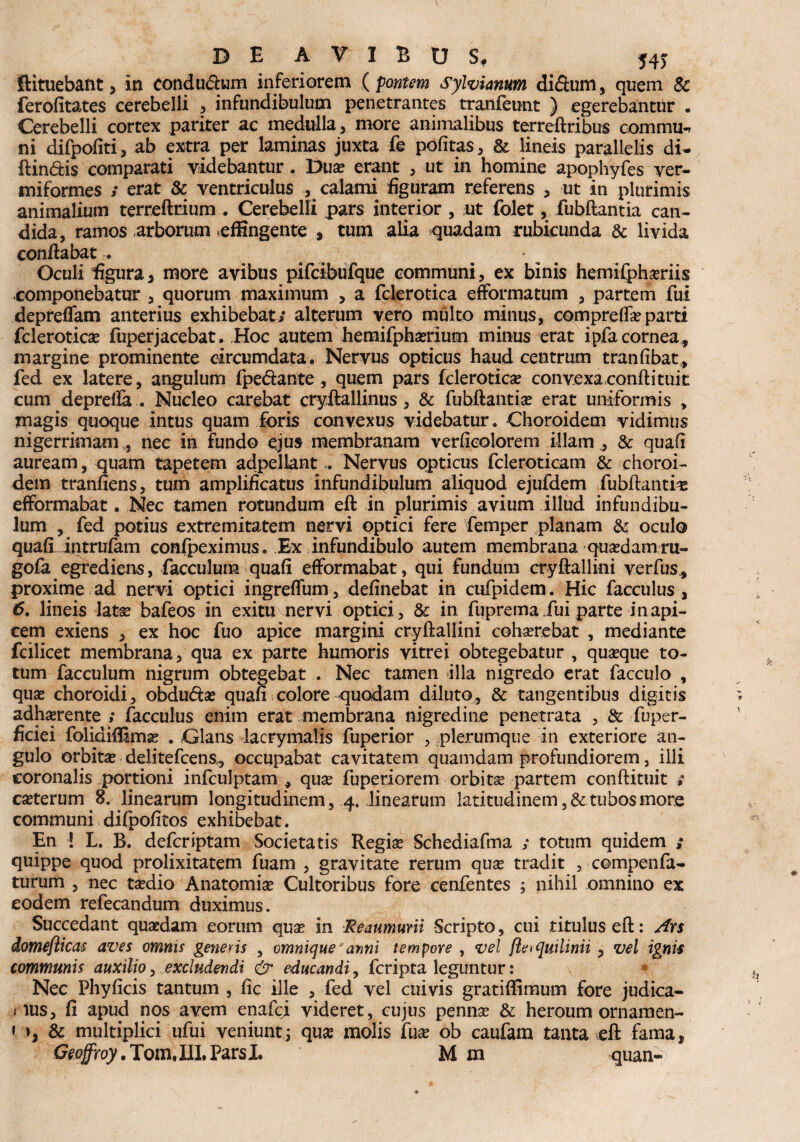 ft i tuebant, in condu&um inferiorem ( pontem Sylvianum difium, quem 8c ferofitates cerebelli , infundibulum penetrantes tranfeunt ) egerebantiir . Cerebelli cortex pariter ac medulla, more animalibus terreftribus commu¬ ni difpofiti, ab extra per laminas juxta fe politas, & lineis parallelis di- ftin&is comparati videbantur. Dua? erant , ut in homine apophyfes ver¬ miformes / erat Sc ventriculus , calami figuram referens , ut in plurimis animalium terreftrium . Cerebelli pars interior , ut folet, fubftantia can¬ dida, ramos arborum affingente , tum alia quadam rubicunda & livida conflabat . Oculi figura, more avibus pifcibufque communi, ex binis hemifphaeriis componebatur , quorum maximum , a fclerotica efformatum , partem fui depreffam anterius exhibebat; alterum vero multo minus, compreffa?parti fclerotica? fuperjacebat. Hoc autem hemifpha?rium minus erat i pfa cornea, margine prominente circumdata. Nervus opticus haud centrum tranfibat, fed ex latere, angulum fpedante , quem pars fclerotica? convexa confli tui t cum deprefla . Nucleo carebat cryftallinus, & fubftantia? erat uniformis „ magis quoque intus quam foris convexus videbatur. Choroidem vidimus nigerrimam ,, nec in fundo ejus membranam verfieolorem illam , & quafl auream, quam tapetem adpeliantNervus opticus fcleroticam & choroi¬ dem tranfiens, tum amplificatus infundibulum aliquod ejufdem fubftantia? efformabat. Nec tamen rotundum eft in plurimis avium illud infundibu¬ lum , fed potius extremitatem nervi optici fere femper planam & oculo quafilintrufam confpeximus. Ex infundibulo autem membrana qua?damru- gofa egrediens, facculuna quafi efformabat, qui fundum cryftallini verfus, proxime ad nervi optici ingreffum, definebat in cufpidem. Hic facculus , 6. lineis lata? bafeos in exitu mer vi optici, tk in fuprema fui parte in api¬ cem exiens , ex hoc fuo apice margini cryftallini cohserebat , mediante fcilicet membrana, qua ex parte humoris vitrei obtegebatur , qua?que to¬ tum facculum nigrum obtegebat . Nec tamen illa nigredo erat facculo , qua? choroidi, obdudta? quafi colore quodam diluto, & tangentibus digitis adhaerente ; facculus enim erat membrana nigredine penetrata , & fuper- ficiei folidiffima? . Glans dacrymalis fuperior , plerumque in exteriore an¬ gulo orbita? delitefcens., occupabat cavitatem quamdam profundiorem, illi coronalis portioni infculptam , qua? fuperiorem orbita? partem conftituit ; ca?terum 8. linearum longitudinem, 4. linearum latitudinem ,& tubos more communi difpofitos exhibebat. En ! L. B. deferiptam Societatis Regia? Schediafma ; totum quidem ; quippe quod prolixitatem fuam , gravitate rerum qua? tradit , compenfa- turum , nec ta?dio Anatomia? Cultoribus fore cenfentes ; nihil omnino ex eodem refecandum duximus. Succedant quaedam eorum qua? in Reaumwii -Scripto, cui tituluseft: Ars domefticas aves omnis generis , omnique anni tempore , vel fte>quilinii , vel ignis communis auxilio, excludendi & educandi, feripta leguntur: Nec Phy ficis tantum , fi c ille , fed vel cuivis gratiffimum fore judica- i lus, fi apud nos avem enafei videret, cujus penna? & heroum ornamen- » & multiplici ufui veniuntj qux molis fuse ob caufam tanta eft fama, Geoffroy, Tom.III, ParsI. M m quan-)