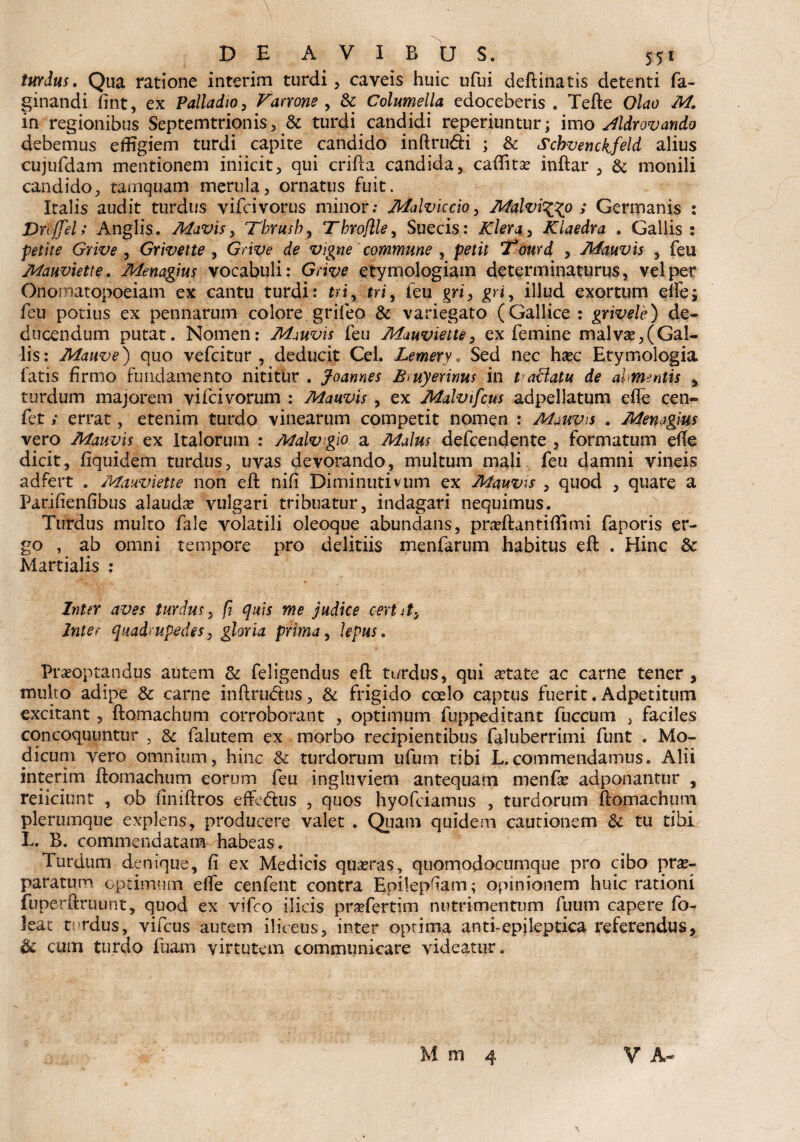 -- V • ; DE A V I B U S. 551 turdus. Qua ratione interim turdi, caveis huic ufui deftinatis detenti fa- ginandi fint, ex Palladio , Varrone , & Columella edoceberis . Tefte Olao M. in regionibus Septemtrionis, & turdi candidi reperiuntur; imo Jldrovando debemus effigiem turdi capite candido inftrudd ; & Schvenckfeld alius cujufdam mentionem ini icit, qui crifta candida, caffitse inftar , & monili candido, tamquam merula, ornatus fuit. Italis audit turdus vifcivorus minor; Malviccio, Malvi^o ; Germanis : Vrijfel; Anglis. Mavis, Tbrusb, Tbrojlle, Suecis: Klera, Klaedra . Gallis : petite Grive , Grivette , Grit^ d? vigne commune , 7*ourd , Mauvis , feu Mauviette. Menagius vocabuli: Gri<t>? etymologiam determinaturus, vel per Onomatopoeiam ex cantu turdi: ui, tri, feu gri, gri, illud exortum elfe; feu potius ex pennarum colore grifeo & variegato (Gallice : grivele) de¬ ducendum putat. Nomen: Mauvis feu Mauviette, ex femine malvae,(Gal¬ lis: Maiwe) quo vefcitur , deducit Cei. Lemery. Sed nec h#c Etymologia fatis firmo fundamento nititur . Joannes Bmyerims in t adatu de ahmentis , turdum majorem vifcivorum : Mauvis , ex Malvifcus adpellatum efle cen- fet; errat, etenim turdo vinearum competit nomen : Mauvis . Menagius vero Mauvis ex Italorum : Malv gio a defcendente , formatum efte dicit, fiquidem turdus, uvas devorando, multum mali feu damni vineis adfert . Mauviette non eft nifi Diminutivum ex Mauvis , quod , quare a Parifienfibus alauda vulgari tribuatur, indagari nequimus. Turdus multo fale volatili oleoque abundans, praeftantiftimi faporis er¬ go , ab omni tempore pro delitiis menfarum habitus eft . Hinc & Martialis : Inter aves turdus, fi quis me judice certat,, Inter quadrupedes, gloria prima, lepus. Praeoptandus autem & feligendus eft turdus, qui aetate ac carne tener, multo adipe & carne inftru&us, & frigido coelo captus fuerit. Adpetitum excitant , ftomachum corroborant , optimum fuppeditant fuccum , faciles concoquuntur , & falutem ex morbo recipientibus faluberrimi funt . Mo¬ dicum vero omnium, hinc & turdorum ufum tibi L.commendamus. Alii interim ftomachum eorum feu ingluviem antequam menfae adponantur , reiiciunt , ob iiniftros effedlus , quos hyofciamus , turdorum ftomachum plerumque explens, producere valet . Quam quidem cautionem & tu tibi L. B. commendatam habeas. Turdum denique, fi ex Medicis quaeras, quomodocumque pro cibo prae¬ paratum optimum etfe cenfent contra Epilepfiam; opinionem huic rationi fuperftruunt, quod ex vifco ilicis praefertim nutrimentum fuum capere fo- leat turdus, vifcus autem iliceus, inter optima anti-epileptica referendus, & cum turdo fbam virtutem communicare videatur.