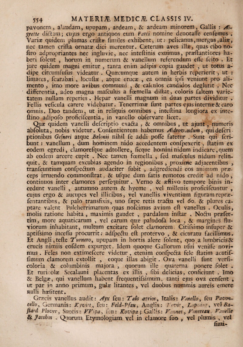 pavonem , alaudam, upupam, ardeam, & ardeam minorem, Gallis : Ai- grette didam; cujus ergo antiquos eum Parci nomine de nota (Te cenfemus . Varia? quidem plumas crifta? ftmiles exhibent, ut; pelicanus,mergus,alia?, nec tamen crifta ornata dici merentur. Ceterum aves illa?, quas cibo no- ftro adpropriantes nec ingluvie, nec inteftinis exuimus, praeteritiores ha¬ beri folent , horum in numerum & yanellum referendum efie fcito . Et jure quidem magni emitur , tanta enim adipis copia gaudet , ut totus a- dipe circumfufus videatur . Qu oecumque autem in herbis reperierit, ut : limaces, fcarabad , locufta? , atque eruc£ , ea omnia ipfi veniunt pro ali¬ mento , imo more avibus communi , & calculos candidos deglutit . Nec ' differentia, adeo magna mafculus a femella didat, coloris faltem varie¬ tatem nullam reperies . Hepar vanelli magnum in duas partes dividitur . Fellis veficula carere videbatur. Tenerrima? funt partes ejus interna? & caro omnis. Duo tandem, ut in reliquis omnibus , inteftina longiora ex inte- ftino adipofo proficifcentia, in vanello obfervare licet. Qua? quidem vanelli defcriptio exada , & omnibus , ut ajunt , numeris abfoluta, nobis videtur. Conlentientem habemus Aldrovmdum, quidefcri- ptionibus Gefneri atque Belonii nihil fe addi poffe fatetur . Sunt qui fcri- bunt : vanellum , <Jum hominem nido accedentem confpexerit , ftatim ex eodem egredi, clamorefque adtollere, ficque homini nidum indicare, quem ab eodem arcere cupit . Nec tamen femella , fed mafculus nidum relin¬ quit, & tamquam excubias agendo in regionibus, proxime adjacentibus , tranfeuntium confpedum audaciter fubit , adgrediendi eos animum prae¬ ceps irruendo commonftrat, & ufque dum fatis remotos credit ad nido, continuos inter clamores perfequitur . Verno & a?ftivo tempore binis in¬ cedunt vanelli , autumno autem & hyeme , vel millenis proficifcuntur , cujus ergo & aucupes vel illicibus, vel vanellis viventium figuramrepra?- fentantibus, & palo transfixis, uno fa?pe retis tradu vel 60. & plures ca¬ ptare valent Pulcherrimarum quas nofcimus avium eft vanellus . Oculis, molis ratione habita , maximis gaudet , pardalum inftar . Nodu pra?fer- tim, more aquaticarum , vel earum qua? paludofa loca , & margines flu¬ viorum inhabitant, multum excitare folet clamorem Citifsimo infuper & aptifsimo inceffu procurrit; adfpedu eft protervo , & cicuratu facillimus. Et Angli,tefte T^urnero, upupam in hortis alere folent, quo a lumbricis& erucis nimiis eofdem expurget. Idem quoque Gallorum ufui venilfe novi¬ mus . Feles non extimefcere videtur , etenim confpeda fele ftatim acutif- fimum clamorem extollit , eoque illas abigit. Ova vanelli funt verfi- coloria & columbinis majora , quorum ille quaterna ponere folet Et ruricolas Secalauni placentas ex illis , fibi delicias, conficiunt . Imo & Belga?, qui vanellum habent frequentifsimutn, tanti ejus ova cenfent , ut par in anno primum, gula? litantes , vel duobus nummis, aureis emere nulli hoefitent. Graxris vanellus audit: Ayx feu: Taos amor, Italis: Vanello, feu Pavon- cello, Germanis: Kyvitt,, feu: Feld-Pfau, An glis : 1 <vv,. L-apvin?, vel Ba~ fiard Plaver, Succis:: FVipa> feu: Kovipa ; Gallis: Vannet „ Vmereau.. Varielte & Jacobin . Quorum Etymologiam vel in clamore fuo , vel plumis , vel fimi-