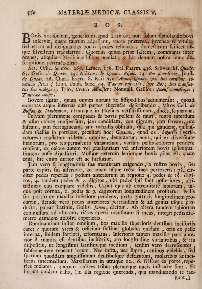 BOS. BOvis vocabulum, genericuni apud Latinos, non folum denotando bovi in fervit, quem taurum adpdkmt, vacca: praeterea, juvenca? & vitulo: fed etiam ad defignandas boum fpecies reliquas , domefticum fcilicet at¬ que filveflrern transfertur . Quorum quum prior faltem , communis inter omnes, aliquibus Mediana? ufibtis veniat; & hic demum noflra nunc de- fcriptione pertradabitur. Bos. Offic. Schrod.. 269. Lerher. 158. Dal.Pharm. 436. Schvenckf. Quadr. 63. Gefn, de Quadr. 25. Aldrov. de Quadr. Bifulc. 13. Bos domefticus, Jonft. de Quadr. 26, Charl. Exerc. 8. Raii Sym Anim. Quadr. 70. Bos cornibus te¬ retibus flexis ;] Lino. Faun. Suec. 44. Taurus caflratus, fwe Bos; Bos manfue- tus feu vulgaris; Trio5 Cereris Miniflet; Nonnull. Gallice: Boeuf domeflique ; Tam eau coupe . Bovem igitur , quum omnes norunt ac fiflipedibus adnumerant , quoad externas atque internas ejus partes fuccinde defcribendo , Viros Cell. de Buffon & Daubenton, utrumque im Phy ficis verfatiflimum, duces, fequemur. Fulvam plerumque confpicies & bovis pellem & tauri, nigro interdum. & albo colore confperfam, jam candidam, jam nigram, jam flavam,jam fufcam, jam ferrugineam, jam maculis obfitam, qua qui gaudent, quibuf- dam Gallia? in partibus, peculiari hoc: Gareaux, quod ex : biganes (verfi-r colores) conflatum videtur, nomine, denotantur. Sunt, qui ex diverfitate humorum, pro temperamento variantium, varium pellis colorem pendeVe cenfent, ex colore autem vel pra?ftantiam vel inferiorem bovis ipfius qua¬ litatem pofle dijudicari. Mollior ca?terum leniorque bovis pilus eft, quam equi, hic enim durior efl: ac hirfutior. Jam vero fi longitudinis fua? menfuram exigendo, a roftro bovis , feu parte capitis fui inferiore, ad anum ufque reda linea perrexeris; 7*. cir¬ citer pedes reperies ; pedum anteriorum in regione 4. pedes & i*. digi¬ tos, 4. tandem pedes & 3. digitos , ubi pedes ipfi funt pofteriores , alti¬ tudinem e^us exa?quare videbis . Caput ejus ab extremitate labiorum , uf¬ que poft cornua, 1. pedis & 9. digitorum longitudinem profitetur. Pellis fua? portio ex maxilla inferiore pendens, juxta gutturis longitudinem pro¬ currit , deinde vero pedes anteriores pertranfiens & ad genua ufque pro- duda, palear Latinis, Gallis: fanon, dicitur. Ab altera tandem labiorum commiffura ad alteram, ridus aperti menfuram fi ineas, integri pedis dia¬ metro eamdem abfolvi experieris. Ruminantium inftar omnium , bos maxilla? fuperioris dentibus inciforiis caret ; quorum vices & officium fuftinet globulus quidam , oris ex pelle interna, ibidem fortiori, efformatus. Inferioris tamen maxilla? pars ante¬ rior 8. munita efl: dentibus inciforiis, pro longitudine variantibus , & ita difpofitis, ut longiffimi latiflimique medium , fenfim vero decrefcentes , fubfequentem teneant locum. Nec infra, nec fupra, caninos videbis , fed fpatium quoddam amplifllmum dentibufque deftitutum, molaribus ac inci¬ foriis intermedium. Maxillarum in utraque 12., 6. fcilicet ex parte,repe- ries molares , quorum radices tribus plerumque uncis inftruda? funt . Et horum quidem bafis, (in illa regione querenda, qua manducando fe tan¬ gunt J