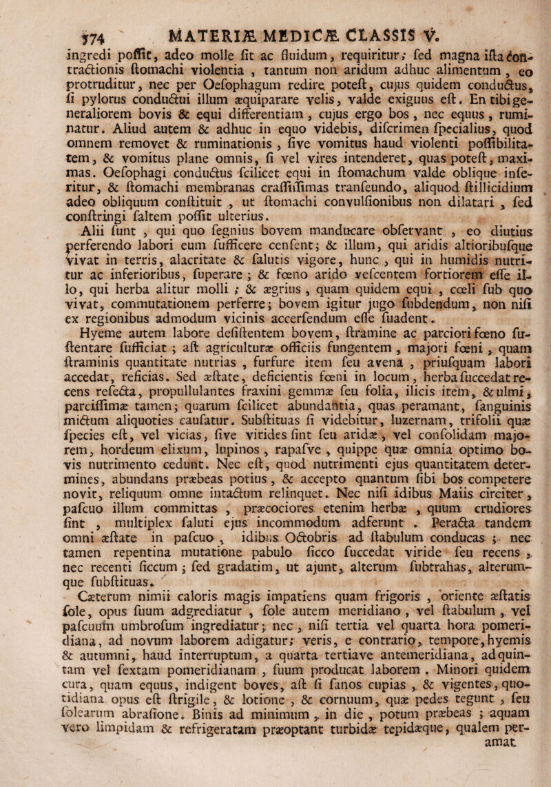 ingredi poflic, adeo molle fit ac fluidum, requiritur; fed magna ifta&>fi- tradionis ftomachi violentia , tantum non aridum adhuc alimentum , eo protruditur, nec per Oefophagum redire poteft, cujus quidem condudus, fi pylorus condudui illum aquiparare velis, valde exiguus eft. En tibi ge¬ neraliorem bovis & equi differentiam , cujus ergo bos, nec equus, rumi¬ natur. Aliud autem & adhuc in equo videbis, difcrimen (pedalius, quod omnem removet & ruminationis , five vomitus haud violenti poffibilita- tem, & vomitus plane omnis, fi vel vires intenderet, quas poteft, maxi¬ mas. Oefophagi condudus fcilicet equi in ftomachum valde oblique infe- ritur, & ftomachi membranas crafiiffimas tranfeundo, aliquod ftillicidium adeo obliquum conftituit , ut ftomachi convulfionibus non dilatari , fed conftringi faltem poftit ulterius. Alii funt , qui quo fegnius bovem manducare obfervant , eo diutius perferendo labori eum fuffkere cenfent; & illum, qui aridis altioribufque vivat in terris, alacritate & falutis vigore, hunc, qui in humidis nutri¬ tur ac inferioribus, fu pe rare ; & foeno arido vefcentem fortiorem effe il¬ lo, qui herba alitur molli ; & agrius , quam quidem equi , coeli fub quo vivat, commutationem perferre; bovem igitur jugo fubdendum, non nifi ex regionibus admodum vicinis accerfendum effe fuadent* Hyeme autem labore defiftentem bovem, ftramine ac parciorifoeno fu- ftentare fufficiat ; aft agricultura? officiis fungentem , majori foeni, quam ftraminis. quantitate nutrias , furfure item feu avena , priufquam labori accedat, reficias. Sed aftate, deficientis fceni in locum, herbafuccedatre¬ cens refeda, propullulantes fraxini gemma feu folia, ilicis item, &ulmi* parciffima tamen; quarum fcilicet abundantia, quas peramant, fanguinis midum aliquoties caufatur. Subftituas fi videbitur, luzernam, trifolii qua fpecies eft, vel vicias, five virides fint feu arida?, vel confolidam majo¬ rem, hordeum elixum, lupinos , rapafve , quippe qua? omnia optimo bo¬ vis nutrimento cedunt. Nec eft, quod nutrimenti ejus quantitatem deter¬ mines, abundans praebeas potius, & accepto quantum fibi bos competere novit, reliquum omne intadum relinquet. Nec nifi Idibus Maiis circiter, pafcuo illum committas , praecociores etenim herbae , quum crudiores fint , multiplex faluti ejus incommodum adferunt . Perada tandem omni aeftate in pafcuo , idibus; Odobris ad ffabulum conducas ; nec tamen repentina mutatione pabulo ficco fuccedat viride feu recens ,, nec recenti ficcum; fed gradati m* ut ajunt* alterum fubtrahas, alterum- que ftibftituas. Ceterum nimii caloris magis impatiens: quam frigoris , oriente afflatis foie, opus fuum adgrediatur , fole autem meridiano, vel ftabulum , vel pafcuirfn umbrofum ingrediatur; nec , nifi tertia vel quarta hora pomeri- diana, ad novum laborem adigatur; veris, e contrario, tempore,hyemis & autumni,, haud Interruptum, a quarta tertiave antemeridiana, ad quin¬ tam vel fextam pomeridianam , fuum producat laborem . Minori quidem cura, quam equus, indigent boves, aft fi fanos cupias * & vigentes, quo¬ tidiana opus eft ftrigile, & lotione , & cornuum, qua pedes tegunt , feu (olearum abrafione. Binis ad minimum ,, in die , potum prabeas ; aquam vero limpidam & refrigeratam praoptant turbida tepidaque , qualem per- amat