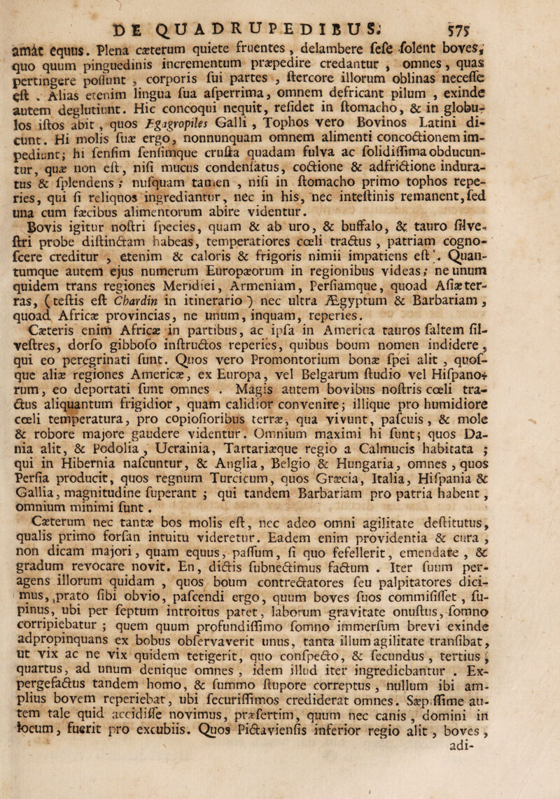 DI QUADRUPEDIBUS; 57» amit equus. Plena ceterum quiete fruentes , delambere fefe folent boves,’ quo quum pinguedinis incrementum praepedire credantur , omnes , quas pertingere poliunt , corporis fui partes , ftercore illorum oblinas necefle eft . Alias etenim lingua fua afperrima , omnem defricant pilum , exinde autem deglutiimt. Hic concoqui nequit, refidet in ftomacho, & in globu? los iftos abit, quos fgagropiles Galli, Tophos vero Bovinos Latini di¬ cunt. Hi molis fua? ergo, nonnunquam omnem alimenti concodionem im¬ pediant ; hi fenfim fenfimque crufta quadam fulva ac folidiifimaobducun¬ tur, qua? non eft, nifi mucus condenlatus, codione & adfridione indura¬ tus & fplendens ; nufquam tamen , nifi in ftomacho primo tophos repe- ries, qui fi reliquos ingrediantur, nec in his, nec inteftinis remanent,fed una cum fascibus alimentorum abire videntur. Bovis igitur noftri fpecies, quam & ab uro, & buffalo, & tauro filve« ftri probe diftindam habeas, temperatiores cceli tradus , patriam cogno- fcere creditur , etenim & caloris & frigoris nimii impatiens eft’. Quan- tumque autem ejus numerum Europaeorum in regionibus videas; ne unum quidem trans regiones Meridiei, Armeniam, Perfiamque, quoad Afia?ter¬ ras, (teftis eft Chardin in itinerario) nec ultra Algyptum Barbariam, quoad Africas provincias, ne unum, inquam, reperies. Casteris enim Africa; in partibus, ac ipfa in America tauros faltem fil- veftres, dorfo gibbofo inftrudos reperies, quibus boum nomen indidere, qui eo peregrinati funt. Quos vero Promontorium bona? fpei alit , quof- que alias regiones Americas, ex Europa, vel Belgarum ftudio vel Hifpano* rum, eo deportati funt omnes . Magis autem bovibus noftris coeli tra- dus aliquantum frigidior, quam calidior convenire; illique pro humidiore cceli temperatura, pro copiofioribus terra?, qua vivunt, pafcuis, & mole & robore majore gaudere videntur. Omnium maximi hi funt; quos Da- nia alit, & Podolia , Ucrainia, Tartaria?que regio a Calmucis habitata ; qui in Hibernia nafcuntur, & Anglia, Belgio & Hungaria, omnes , quos Perfia producit, quos regnum Turcicum, quos Gnecia, Italia, Hifpania 8c Gallia, magnitudine fuperant ; qui tandem Barbariam pro patria habent, omnium minimi funt. Casterum nec tanta? bos molis eft, nec adeo omni agilitate deftitutus, qualis primo forfan intuitu videretur. Eadem enim providentia & cura, non dicam majori, quam equus, pafTum, fi quo fefellerit, emendare , gradum revocare novit. En, didis fubnedimus fadum . Iter fuum per¬ agens illorum quidam , quos boum contredatores feu palpitatores dici- mus,sprato fibi obvio, pafcendi ergo, quum boves fuos commififiet, fu- pinus, ubi per feptum introitus paret, laborum gravitate onuftus, fomno corripiebatur ; quem quum profundifllmo fomno immerfum brevi exinde adpropinquans ex bobus obfervaverit unus, tanta illum agilitate tranfibat, ut vix ac ne vix quidem tetigerit, quo confpedo, & fecundus , tertius, quartus, ad unum denique omnes , idem illud iter ingrediebantur . Ex- pergefadus tandem homo, & fummo ftupore correptus , nullum ibi am¬ plius bovem reperiebat, ubi fecurifilmos crediderat omnes. Ssep ffime au¬ tem tale quid accidifte novimus, prsefertim, quum nec canis, domini iri focum, fuerit pro excubiis. Quos Pidavienfis inferior regio alit, boves, adi- i