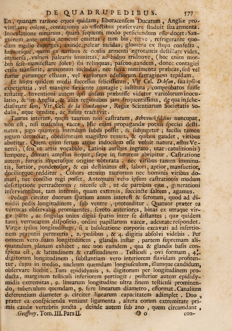 -En,•quanam ratione eques quidam, Eboracenfem Ducatum,, Anglii pro¬ vinciam, colens, contagionis ab effefribus praTervare ftuduit fuaarmenta. Inoculatione nimirum, quam fequenti modo perficiendum efTe docet .-San¬ guinem ante omnia armenti emittas ; tum bis, ter ve , refrigerante quo¬ dam medio expurges j exinde palear incidas, glomera ex ftupa confe&a humorique, quem ex naribus & oculis armenti aegrotantis deftiilare vides., dmmerfa, vulneri palearis immittas, ac biduo triduove, (hoc enim mor¬ bus fele manifeftare folet) ibi relinquas; pafcuo tandem, donec contagiei erilis tranfierit, armentum includas, nec ficca nutrimenta praebeas,fed vel furfur parumper elixum, vel variorum eduliorum farraginem tepidam. Et hujus quidem medii fuccefThs ■ feliciffimus. Vir Cei. Dcbfon, fua iplius experientia , vel maxime Eeviente contagie , inftituta , comprobatos fuilfe teftatur. Inventioni autem ipli anfam praebuilfe videtur varioloruminocu¬ latio, & in Anglia, & aliis regionibus jam frequentiffima, d^quainfehe* diafmate fuo, Vir. Cei. la Condamine , Regias Scientiarum Societatis So¬ dalis, seque erudite, ac fufius tra&avit. Taurus interim, quem taurum non caEratum, Schvenckfddim nuncupat, non eft , nili mafculus vacca? . Hic enim propaganda? potius fpeciei defti* -natus , jugo quamvis interdum fubdi poffit , & fubjugetur 5 facilis tamen jugum detre&at, obedientiam magiftro renuit, & quibus gaudet, viribus abutitur. Quem enim ferum atque indocilem effe voluit natura,seftusVe¬ nerei, (feu ut artis vocabulo, Latinis auribus ingrato, utar:catulitionis) tempore, domari amplius nequit , fa?pe in furorem abripitur . Caftratione autem, furorisimpetofque origine obturata , nec viribus tamen imminu¬ tis, fortior, ponderolior, & cui deftinatus eft, labori, aptior,manfuetior, dociliorque redditur . Cohors etenim taurorum nec hominis viribus do¬ mari, nec conlilio regi polfet. Antequam vero ipfum caftrationis modum deferiptione pertra&emus ; necdfe eft , ut de partibus ejus,, generationi infervientibus, tam internis, quam externis, fuccinde faltem , agamus. Pedum circiter duorum fpatium anum, intere ft & ferotum, quod ad di¬ midii pedis longitudinem , fub ventre ^protenditur.. Quatuor prseter ea verrucas obfervabis prominentes,XcrOto anteriores, binas ex utraque vir¬ gae parte , ac lingulas unius digkVfpatio inter fe diftantes ; qua; quidem tauri verrucarum difpofitio, ordini papillarum vaccae, adcuraterelpondet. Virga? iplius longitudinem, fi a bifulcatione corporis excavati ad infertio- nem praeputii perrexeris , 2. pedibus , & 4. digitis abfolvi videbis . Per omnem vero fuam longitudinem , glandis inftar , partem fupremam ali¬ quantulum planam exhibet , nec non eamdem , qua & glandis balis con- fpicua eft, & latitudinem & craftitudinem.» Tefticuii , ovi formam, 4*. digitorum longitudinem , fubftantiam vero interiorem flavidam profiten¬ tur, cujus in medio, nucleum quemdam longiufculum, iliumque candidum, obfervare licebit. Tum epididymis , 2. digitorum per longitudinem pro- dutfta, marginem tefticuii inferiorem pertingit ,* pofterior autem epididy¬ midis extremitas, 9. linearum longitudine ultra finem tefticuii prominen¬ do, tuberculum quemdam, 9. fere linearum diametro, efformat.Canalium deferentium diameter 9. circiter linearum .capacitatem adimplet . Duo ^ pra?ter ea confpicienda veniunt ligamenta , altera eorum extremitate pri¬ mis cauda? vertebris jun&a , deinde autem fub ano , quem circumdant , Mwffroy, Tom. III, Pars II, * @ o con-