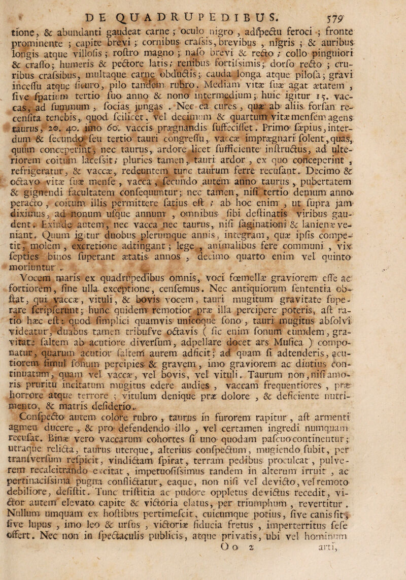 tione, Sc abundanti gaudeat carne ; oculo nigro , adf^edu feroci ; fronte prominente ; capite brevi ;; cornibus crafsis, brevibus ,, nigris ; Sc auribus longis atque villofis ; roftro magno nafo brevi Sc redo ; collo pinguiori Sc erado; humeris & pedore latis; renibus fortifsimis; dorfo redo ; cru¬ ribus crafsibus, multaque carne obdudis;; cauda, longa atque pilofa; gravi incdfu atque fi curo, pilo tandem rubro. Mediam vita; fuse agat aetatem , live fpatitm tertio fuo anno Sc nono intermediumhuic igitur 15. vac¬ cas, ad fummum , fodas jungas . Nec ea cures, quse ab aliis forfan re- cenfita tenebis , quod fcilxeet, vel decimum Sc quartum'vita; menfem agens taurus,'2©.- 40. imo do;, vaccis prsegnandis fuffeciffet. Primo* fsepius,inter¬ dum Sc fecundo1 feu tertio tauri congrefTu,, vaccse imprsegnarf folent, quas, quum conceperint, nec taurus, ardore licet fufHciente inftrudus, ad ulte¬ riorem coitum lacefsit; pluries tamen, lauri ardor, ex quo conceperint , refrigeratur, & vaccse, redeuntem tunc taurum ferre recufant. Decimo & odavo vita; fuse menfe , vacca , fecundo autem anno taurus pubertatem Sc gignendi facultatem confequohtur;: nec tamen, ni fi tertio denuim anna perado , coitum illis permittere fatius eft ; ab hoc enim , ut fupra jam diximus, ad nonum ufque annum , omnibus fibi deftinatis viribus gau¬ dent.. Exinde autem, nec vacca nec taurus, n i fi fagi nationi & laniena; ve¬ niant, Quum igitur duobus plerumque annis, integram, qux ipfls compe¬ tit, molem , excretione adtingant; lege , animalibus fere communi , vix fepties binos fbperant astatis annos , decimo quarto enim vel quinto moriuntur d Vocem maris ex quadrupedibus omnis, voci fcemellar graviorem efte ac fortiorem, fine ulla, exceptione, cenfemus. Nec antiquiorum lententia obe¬ dat, qui vaccas-, vituli, Sc bovis vocem, tauri mugitum gravitate fupe- rare fcripferunt;: hunc quidem remotior prae illa percipere* jpoteris, aft ra¬ tio hxc eft: quod- fimplici quamvis unicoque fono , tauri mugitus abfolvi; videatur, duabus tamen tribufve odavis ( fle enim fonum cumdem, gra¬ vitate faltem ab acutiore diverfum, adpellare docet ars Mufica )■ compo¬ natur, quarum acutior faltenl aurem adficit; ad: quam fi adtenderis, acu¬ tiorem firnul folium percipies* Sc gravem , imo graviorem, ac diutius con¬ tinuatum, quam vel vaccse, vel bovis, vel vituli. Taurum non,nifiamo¬ ris pruritu incitatum mugitus edere audies , vaccam frequentiores , pne horrore atque terrore : vitulum denique prag dolore , Sc deficiente nutri¬ menta, Sc matris defiderio... Confpedo autem colore rubro , taurus in furorem rapitur , aft armenti agmen ducere , Sc pro- defendendo illo , vel certamen ingredi numq.uarn recufat. Binae veto vaccarum cohortes fi uno quodam pafcuocontinentur; utraque relida, taurus uterque, alterius confpedum, mugiendo fubit, per tranfveriimi refpicit, vindidam fpirat , terram pedibus proculcat , pulve¬ rem recalcitrando cv citat , impetuofifsimus tandem in alterum irruit , ac pemnaeifsima pugna eonftidatur, eaque, non nifi vel de vido, vel remoto debiliore, clefiftit. Tunc triftitia ac pudore oppletus devidus recedit, vi- dor autem elevato capite Sc. vidoria elatus, per triumphum , revertitur . Nullum umquam ex hoftibus pertimefek, cuieumque potius , fi ve canis fit, iive lupus , imo leo Sc urfus , vidorise fiducia fretus , imperterritus fefe afferte Nec non in fpedaculis publicis, atque privatis, ubi vel hominum O o z arti,