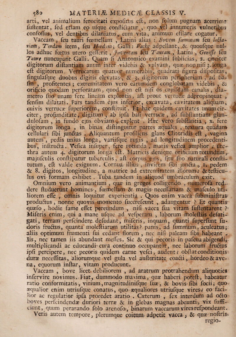 arti,.vel animalium ferocitati expolitus eft-, non folum pugnam acerrime fuftentat, fed etiam eo ufque conflictatur , quo vel innumeris vulneribus confoffus, vel dentibus dilaniatus,, cum vita, animum efflare cogatur.v Vaccam , feu tauri foemellam , Latini alias : Bovem feminam feu h0a+ rkm, T^ordam item, feu Hmdm\ Galli: Fache: ad pellant, quoufque nul¬ los adhuc foetus utero geflerit , Juvencam feu 'Tauram , Latini , Geniffe feu Tawe nuncupant Galli. Quam fi Anatomico;examini fubiicias, z: circiter digitorum diftantiam anum inter videbis & vulvam, quas. nonnifl 3.longa eft digitorum. Verrucarum quatuor ..numerabis-., quadrati figura difpolitas, fingulafque duobus digitis elevatas, & 3* digitorum peripheriam , ad ba- fin , profltentes ; extremitatem vero earuimdem conglobatam videbis , & orificio quodam perforatam, quod non eft nifl os cujnfdam canalis, dia¬ metro ftio unam fere lineam explentis, aft prout verni& adpropinquat , fenflm dilatati. Pars tandem ejus inferior, excavata, cavitatem aliquam, cuivis verruca? fuperiorem, conftituit. Et hac quidem cavitates unum cir¬ citer, profunditate, digitum , ab ipfa ba.fi verrucas, ad fubftantiam glan- dulofam , in fundo ejus obviam explent . Hxc vero fnbftantia , x. fere digitorum longa , in binas diftinguitur partes aquales , textura quadam cellulari flbi jundas . Aliquantum profiliens glans Clitoridis eft , vagina autem , pedis unius longa, variifque rugis , ad longitudinem procedenti¬ bus, inftruda. Vefica infuper, fere rotunda , maris vefiea amplior ; ure¬ thra autem 4. digitorum longa eft. Matricis denique, orificium rotundumy majufculis conftipatur tuberculis, aft corpus ejus, fitu fuo naturali confti- tutum, eft valde exiguum. Cernua illius* , invicem fibi jnnda , ii pedem <k 8. digitos, longitudine., a matrice ad extremitatem illorum; &tefticu¬ lus ovi formam exhibet . Tuba tandem in aliquod umbraculum exit. Omnium vero animantium , qua? in greges colligendo , numerofa red ¬ dere ftuduerunt homines , foemellam &, magis neceflariam & mafculo uti¬ liorem effe , omnis loquitur experientia . Quos enim vacca fubminiftrat* produdus, nonne quovis momento fuccrefcunt , adaugentur ? Et quantis* quasfo , hodie fame eflet pereundum , nifl vacca fua vitam fuftentarent Miferis enim, qui a mane ufque ad vefperam , laborum moleftiis defati¬ gati , terram• perfcindere. defudant, miferis, inquamr quanti fuperfunt fu- doris frudus, quanta moleftiarum utilitas? panis, ad fummum, aculeatus;, aliis optimum frumenti fui cedant florem , nec nifl paleam fibi habeant . Iis, nec tamen iis abundant mefles. Sic & qui pecoris in pafcuaabigendi^ multiplicandi ac educandi cura continuo occupantur, nec laborum fructus ipfi percipere, nec pecoris quidem carne vefci, audent; obftatconditionis duras neceftitas, aliorumque vel gula vel aufteritate coadi,, hordeo & ave¬ na, equorum inftar, vitam producunt?. Vaccam , bove licet debiliorem , ad aratrum*' protrahendum aliquoties infervire novimus. Fiat, dummodo maxima, quas haberi poteft, habeatur ratio conformitatis, virium,magnitudinifque fuas, & bovis fibi focii; quo asqualior enim utriufque conatus, quo aqualiores utriufque vires,* eo faci¬ lior ac regulatior ipfa procedet aratio . Gasterum , fex interdum ad odo boves perfcindendas duriori terras & in glebas magnas abeunti:, vix fuffi— ciunt, . quum perarando folo arenefo, binarum vaccarum vires refpondeant. Veris autem tempore, plerumque coitum adpetit vacca ; & quas noftris* regio-