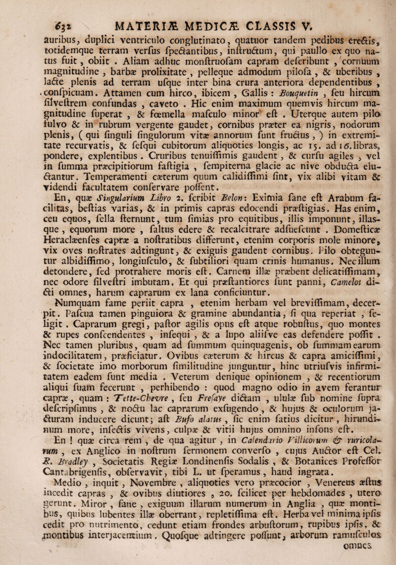 auribus, duplici ventriculo conglutinato, quatuor tandem pedibus eredis* totidemque terram verfus fpedantibus, inftrudum, qui paullo ex quo na¬ tus fuit, obiit . Aliam adhuc monftruofam capram defcribunt , cornuum magnitudine , barbae prolixitate , pelleque admodum pilofa , &: uberibus , lade plenis ad terram ufque inter bina crura anteriora dependentibus * vconfpicuam. Attamen cum hirco, ibicem , Gallis : Boucjuetin , feu hircum filveftrem confundas , caveto . Hic enim maximum quemvis hircum ma¬ gnitudine fuperat , & fcemella mafculo minor eft . Uterque autem pilo fulvo & in rubrum vergente gaudet, cornibus praeter ea nigris, nodorum plenis, (qui finguli fingulorum vita? annorum funt frudus , ) in extremi¬ tate recurvatis, & fefqui cubitorum aliquoties longis, ac 15. ad 1 <5.libras, pondere, explentibus . Cruribus tenuiflimis gaudent, & curfu agiles , vel in fumma praecipitiorum faftigia , fempiterna glacie ac nive obduda elu¬ dantur. Temperamenti caeterum quum calidiffimi fint, vix alibi vitam & videndi facultatem conferyare poffent. En, quas Singularium Libro 2. fcribit Belon: Eximia fane eft Arabum fa¬ cilitas, beftias varias, & in primis capras edocendi praeftigias. Has enim, ceu equos, fella fternunt, tum fmias pro equitibus, illis imponunt, illas- que , equorum more , faltus edere & recalcitrare adfuefcimt . Domefticse Heraclaeenfes caprae a noftratibus differunt, etenim corporis mole minore, vix oves noftrates adtingunt, & exiguis gaudent cornibus. Pilo obtegun¬ tur albidiffimo, longiufculo, & fubtiliori quam crinis humanus. Nec illum detondere, fed protrahere moris eft. Carnem illa? probent delicatiftimam, nec odore filveftri imbutam. Et qui pradlantiores funt panni, Cameht di¬ di omnes, harum caprarum ex lana conficiuntur. Numquam fame periit capra , etenim herbam vel breviffimam, decer¬ pit. Pafcua tamen pinguiora & gramine abundantia, fi qua reperiat , fe- ligit , Caprarum gregi, paftor agilis opus eft atque robuftus, quo montes & rupes confcendentes , infequi , & a lupo aliifve eas defendere poftit . Nec tamen pluribus, quam ad fummum quinquagenis, ob fummamearum indocilitatem, praeficiatur. Ovibus caeterum & hircus & capra amiciffimi, & focietate imo morborum fimilitudine junguntur, hinc utriufvis infirmi¬ tatem eadem funt media . Veterum denique opinionem , & recentiorum aliqui fuam fecerunt , perhibendo : quod magno odio in avem ferantur capra?, quam : *Tette-Chevre , feu Frefaye didam , ulula? fub nomine fupra defcripfimus , & nodu lac caprarum exfugendo , & hujus & oculorum ja- duram inducere dicunt; aft Bufo alatus, fic enim fatius dicitur, hirundi¬ num more, infedis vivens, culpa? & vitii hujus omnino in fons eft. En ! qua? circa rem , de qua agitur , in Calendario Viduorum & ruricola- rura , ex Anglico in noftrum fermonem converfo , cujus Audor eft Cei. Bradley , Societatis Regiae Londinenfis Sodalis , & Botanices Profefior Cantabrigenfis, obfervavit, tibi L. ut fperamus , haud ingrata. Medio , inquit , Novembre , aliquoties vero pra?cocior , Venereus aeftus incedit capras , & ovibus diutiores 9 20. fcilicet per hebdomades , utero gerunt. Miror , fane , exiguum illarum numerum in Anglia , qua? monti¬ bus, quibus lubentes illa? oberrant, repletiffima eft. Herba vel minima ipfis cedit pro nutrimento, cedunt etiam frondes arbuftorum, rupibus ipfis, & «montibus interjacentium, Qiiofqne adtingere pofiunt, arborum ramufculos. omnes