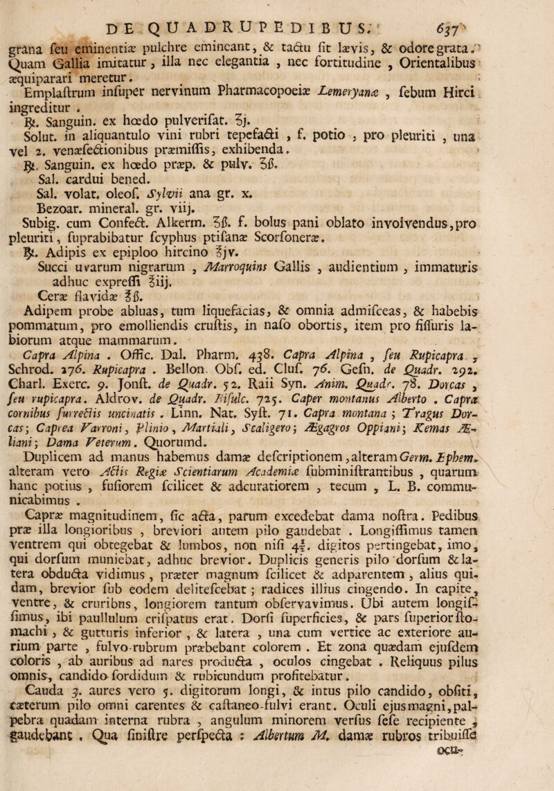 grana feu eminentia pulchre emineant, & tabfu fit kevis, & odore grata „ • Quam Gallia imitatur, illa nec elegantia , nec fortitudine , Orientalibus aquiparari meretur. i Emplaftrum infuper nervinum Pharmacopoeia Lemeryana , febum Hirci ingreditur . g*. Sanguin. ex haedo pulverifat. 3j. Solut. in aliquantulo vini rubri tepefa&i , f. potio , pro pleuriti , una vel 2. venafe&ionibus pramiflis, exhibenda. g*, Sanguin. ex hcedo prap. 6c pulv* 3fh Sal. cardui bened. Sal. volat, oleof. Sylvii ana gr. x. Bezoar. mineral. gr. viij. Subig. cum Confed. Alkerm. 3fi. f. bolus pani oblato in volvendus, pro pleuriti , fuprabibatur fcyphus ptifana Scorfonera, g*. Adipis ex epiploo hircino ?jv. Succi uvarum nigrarum , Mamquins Gallis , audientium , immaturis adhuc exprefli §iij. Cera fiavida ?fi. Adipem probe abluas, tum liquefacias* & omnia admifceas, & habebis pommatum, pro emolliendis cruftis, in nafo obortis, item pro fiflhris la¬ biorum atque mammarum. Capra Alpina . Offic. Dal. Pharm. 438. Capra Alpina , feu Rupicapra 7 Schrod. 276. Rupicapra . Bellom Obf. ed. Cluf. 76. Gefn. de Quadr. 292. Charl. Exerc. 9. Jonft. de Quadr. 52. Raii Syn. Anim. Quadr. 78. Dorcas 3 feu rupicapra. Akl.rov. de Quadr. Bifulc. 725. Caper montanus Alberto . Capra cornibus fwrefiis uncinatis . Linn, Nat. Syft. 71. Capra montana ; ‘Tragus Dor¬ cas ; Caprea Varroni, Flinio, Martiali, Ssaligero; Aigagros Oppiani; Kemas liani; Dama Veterum, Quorumd. Duplicem ad manus habemus dama defcriptionem, alteram Gena. Ephem* alteram vero Affis Regxx Scientiarum Academia fubminiftrantibus , quarum hanc potius , fufiorem fcilicet & adcuratiorem , tecum , L. B. commu¬ nicabimus . Caprae magnitudinem , fic a£ia, parum excedebat dama nofira. Pedibus pra illa longioribus , breviori autem pilo gaudebat . Longiflimus tamen ventrem qui obtegebat & lumbos, non nifi 4-. digitos pertingebat, imos qui dorfum muniebat, adhuc brevior. Duplicis generis pilo dorfum bla¬ tera obduda vidimus , prater magnum fcilicet & adparentem, alius qui* dam, brevior fub eodem delitefcebat; radices illius cingendo. In capite, ventre, & cruribus, longiorem tantum obfervavimus. Ubi autem longiD fimus, ibi paullulum crifpatus erat. Dorii fuperficies, & pars fu perior flo- machi , & gutturis inferior , & latera , una cum vertice ac exteriore au¬ rium parte , fulvo-rubrum praebebant colorem . Et zona quadam ejufdem coloris , ab auribus ad nares produ&a , oculos cingebat . Reliquus pilus omnis, candido-fordidum & rubicundum profitebatur. Cauda 3. aures vero 5. digitorum longi, & intus pilo candido, obfiti, catcrum pilo omni carentes & caflaneo fulvi erant. Oculi ejus magni, pal¬ pebra quadam interna rubra , angulum minorem verfus fefe recipiente 4 gaudebant , Qua finiftre perfpeda ; Alienum M. dama rubros tribuiffe