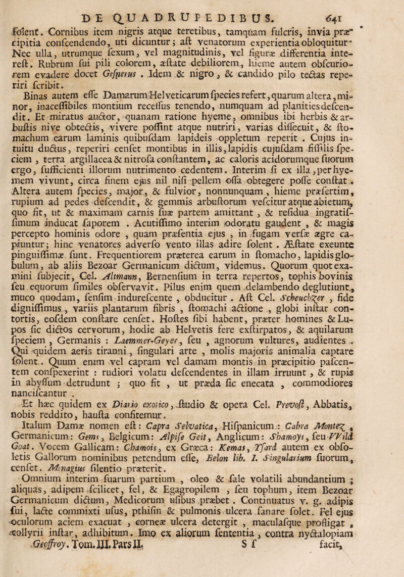 D 'E Q U A D R U P E D I B U S. €41 folent. Cornibus item nigris atque teretibus, tamquam fulcris, invia prar cipitia confcendendo, uti dicuntur; aft venatorum experientia obloquitur6 3Nec ulla, utrumque fexum, vel magnitudinis, vel figuras differentia inte- reft. Rubrum fui pili colorem, aeftate debiliorem, hieme autem obfcurio- rem evadere docet Gefnems . Idem & nigro, & candido pilo tedas repe« riri fcribit. Binas autem ede DamarumHelveticarum fpecies refert, quarum altera, mi- nor, inaceffibiles montium receifus tenendo, numquam ad planitiesdefcen- dit. Et miratus audor, quanam ratione hyeme, omnibus ibi herbis &ar« buflis nive obtedis, vivere poflint atque nutriri, varias diffecuit, & fto- machum earum laminis quibufdam lapideis oppletum reperit . Cujus in- tuitu dudus, reperiri cenfet montibus in illis,lapidis cujufdam lis fpe- cicrn , terra argillacea & nitrofa conflantem, ac caloris acidorumque fuorum ergo, fufficienti illorum nutrimento cedentem. Interimi! ex illa,perhye- mem vivunt, circa finem ejus nil nifi pellem offa obtegere poffe conflat e Altera autem fpecies, major, & fulvior, nonnunquam, hieme prafertim, rupium ad pedes defcendit, & gemmis arbuflorum vefcituratqueabietum, quo fit, ut & maximam carnis fuae partem amittant , Sc refidua ingratif- fimum inducat faporem . Acutiffimo interim odoratu gaudent , & magis percepto hominis odore , quam prafentia ejus , in fugam verfae asgre ca¬ piuntur; hinc venatores adverfo vento illas adire folent . TEftate exeuntc pinguiffimae funt. Frequentiorem praeterea earum in ftomacho, lapidis glo¬ bulum, ab aliis Bezoar Germanicum didum, videmus. Quorum quot exa¬ mini fubjecit, Cei. Altmann, Bernenfium in terra repertos, tophisbovinis feu equorum fimiles obfervavit. Pilus enim quem delambendo deglutiunt,, muco quodam, fenfim indurefcente , obducitur . Aft Cei. Scheucb^er , fide digniffimus , variis plantarum fibris , ftomachi adione , globi indar con¬ tortis, eofdem conflare cenfet. Hoftes fibi habent, praeter homines & Lu¬ pos fic didos cervorum, hodie ab Helvetis fere exftirpatos, & aquilarum fpeciem , Germanis : Laemmer+Geyer, feu , agnorum vultures, audientes , Qui quidem aeris tirannL, Angulari arte , molis majoris animalia captare folent.. Quum enim vel capram vel damam montis in praecipitio pafcen- tem confpexerint : rudiori volatu defcendentes in illam irruunt, & rupis in abyflum detrudunt ; quo fit , ut praeda fic enecata , commodiores nancifcantur . Et haec quidem ex Diario exotico, Audio & opera Cei. Prevofl, Abbatis,, nobis reddito, haufta confitemur. Italum Damae nomen eft: Capra Selvaticay Hifpanicum : Cabra Monte% % Germanicum:: Gms, Belgicum: Alfife Geit, Anglicum: Sbamoys, kuFPild Goat. Vocem Gallicam: Cbamoh, ex Graeca: Kemas, Tfard autem ex obfo- letis Gallorum nominibus petendum elfe, Belon libu 7. singularium fuorum, cenfet. Mtnagius filentio praeterit. Omnium interim fuarum partium , oleo & fale volatili abundantium ; aliquas, adipem fcilicet, fel, & Egagropilem , feu tophum, item Bezoar Germanicum didum, Medicorum u fi bus praebet. Continuatus v. g. adipis fui, lade commixti ufus, pthifin & pulmonis ulcera fanare folet. Fel ejus oculorum aciem exacuat , corneae ulcera detergit , maculafque profligat * collyrii inftar, adhibitum. Imo ex aliorum fententia, contra nydalopiam Gepffroy, TomJII. ParsIb Sf facit.