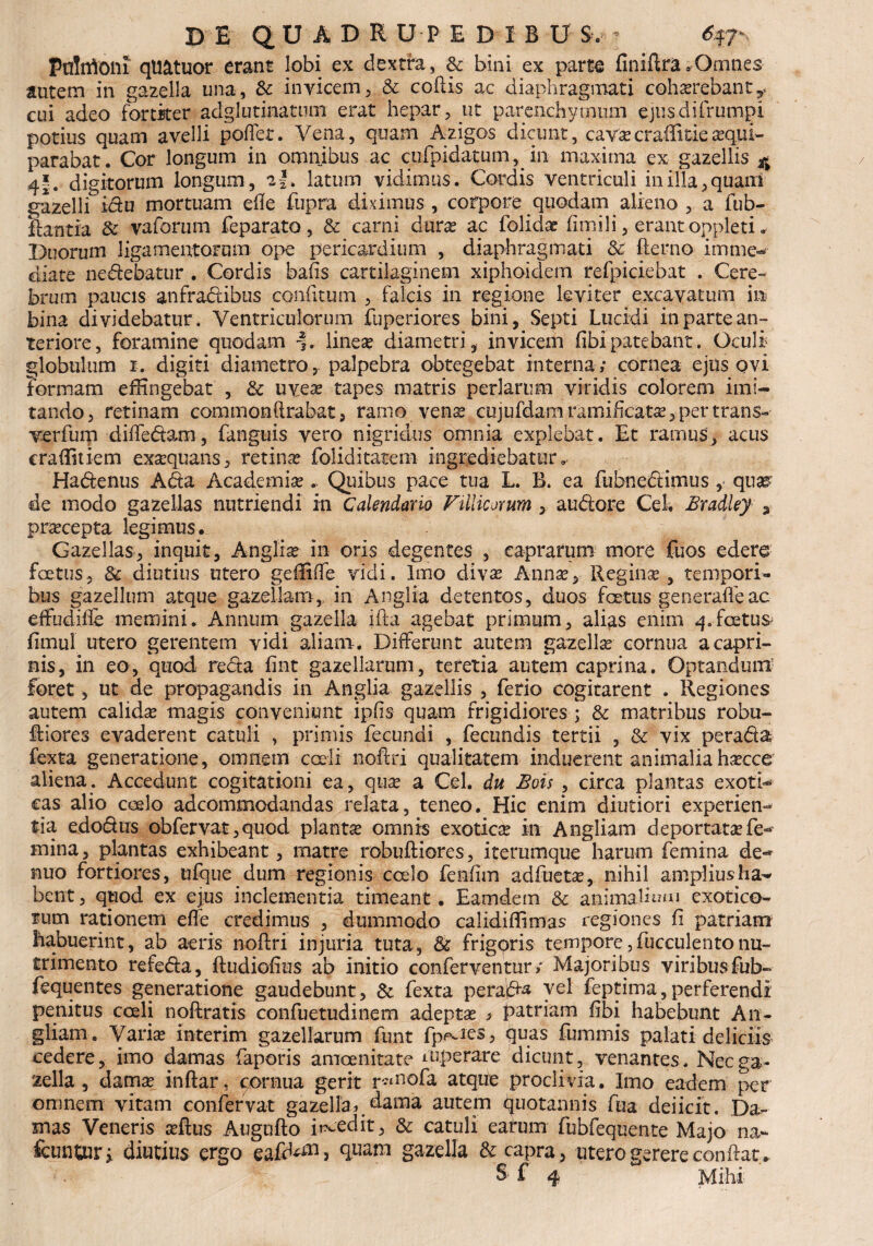 DE QUADHOPEDiBU S. ? 6^ PdttiOlu qtiatuor erant lobi ex dextra, & bini ex parte finiftra3Omnes autem in gazella una, & invicem, & collis ac diaphragmati cohaerebanty cui adeo fortker adglutinatnm erat hepar, ut parenchymum ejusdifrumpi potius quam avelli potiet. Vena, quam Azigos dicunt, cavacraffitiesequi- parabat. Cor longum in omnibus ac cufpidatum,. in maxima ex gazellis ^ 4*. digitorum longum, i\, latum vidimus. Cordis ventriculi in illa, quaui gazelliictu mortuam ede fupra diximus, corpore quodam alieno, a fub- flantia & vaforum feparato, & carni durae ac folidae fimili, erant oppleti, Duorum ligamentorum ope pericardium , diaphragmati & (lenio imme¬ diate nedebatur . Cordis bafis cartilaginem xiphoidem refpiciebat . Cere¬ brum paucis anfradibus confitum , falcis in regione leviter excavatum in bina dividebatur. Ventriculorum fuperiores bini, Septi Lucidi in parte an¬ teriore, foramine quodam lineae diametri, invicem fibipatebant. Oculi globulum x. digiti diametro, palpebra obtegebat interna; cornea ejus ovi formam effingebat , &: uveas tapes matris perlarum viridis colorem imi¬ tando, retinam commonftrabat, ramo vena? cujufdararamifieatae, per trans- verfum diftedam, fanguis vero nigridus omnia explebat. Et ramus, acus craffitiem exaequans, retina foliditatem ingrediebatur, Hadenus Ada Academiae.. Quibus pace tua L. B. ea fubnedimus , qua^ de modo gazellas nutriendi in Calendario Ftllicorum , audore Ceh Bradley a praecepta legimus. Gazellas, inquit, Angliae in oris degentes , caprarum more fuos edero foetus, 8c diutius utero geffifte vidi. Imo divae Annae, Reginae , tempori¬ bus gazellum atque gazellam, in Anglia detentos, duos fcetus generafleac effudille memini. Annum gazella ifta agebat primum, alias enim 4.fcetu$> fimul utero gerentem vidi aliam. Differunt autem gazellas cornua a capri¬ nis, in eo, quod reda fint gazellarum, teretia autem caprina. Optandum- foret, ut de propagandis in Anglia gazellis , ferio cogitarent . Regiones autem calidae magis conveniunt ipfis quam frigidiores ; & matribus robu- ftiores evaderent catuli , primis fecundi , fecundis tertii , & vix perada fexta generatione, omnem cadi noftri qualitatem induerent animaliahaecce aliena. Accedunt cogitationi ea, quae a Cei. du Bois , circa plantas exotU cas alio coelo adcommodandas relata, teneo. Hic enim diutiori experien¬ tia edodus obfervat, quod plantae omnis exotica in Angliam deportata fe¬ mina, plantas exhibeant, matre robuftiores, iterumque harum femina de- nuo fortiores, ufque dum regionis coelo fenfim adfuetae, nihil ampliusha- bent , quod ex ejus inclementia timeant. Eamdem & animalium exotico¬ rum rationem efle credimus , dummodo calidiffimas regiones (i patriam habuerint, ab aeris noftri injuria tuta, & frigqris tempore,fucculentonu¬ trimento refeda, ftudiofius ab initio conferventur; Majoribus viribus fub- fequentes generatione gaudebunt, & fexta perada vel feptima,perferendi penitus coeli noftratis confuetudinem adeptae * patriam fibi habebunt An- gliam. Variae interim gazellarum funt fp^ics, quas fummis palati deliciis cedere, imo damas faporis amoenitate mperare dicunt, venantes. Nec ga¬ zella , damae inftar, cornua gerit r^nofa atque proclivia. Imo eadem per omnem vitam confervat gazella dama autem quotannis fua deiicit. Da¬ mas Veneris aeftus Augnfto incedit, & catuli earum fubfequente Majo na- fcunturj diutius ergo eafd^m, quam gazella & capra, utero gerere conflat*