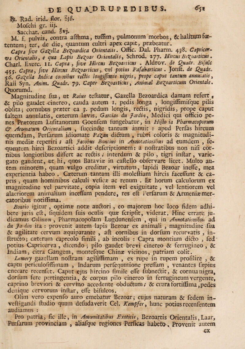 de QO AID lUfEDiBU S. <?js 1$L, RacL irid. flor. 5] fi. Mofchi gr. iij- Sacchar. cand. fvj. r M, f, pulvis, contra afthma, ttiffim, pulmonum morbos, &hautumroe~ tentem; ter, de die, quantum cultri apex capit, praebeatur. Capra five Ga%ella Be^oavMca Orientalis. OfRc. DaL Pharm. 438. Capricer- *&a Orientalis, e cjua Lapis Bec^par Orientalis, Sclirod. 2.77» Hircus Be^pacticus« Charl. Exerc. Ii. Capra ? five Hircus Be^particus . Aldrov. ^ Quadr Bifulc 4SS' Capra, /2^ Hircus Be^oarticus, potius Pafabarticus. Jonft. d? Quadr» $6. Ga^eila Indica cornibus reflis longijjimis nigris? prope caput tantum annutatis, Raii Syn. /fwm. J^Wr. 79. C^r Be^particus? Animal Be^particum Orientale. Quorum d. Magnitudine fua, ut &ji#f teftatur, Gazella Bezoardica damam refert „ & pilo gaudet cinereo, cauda autem 1. pedis longa , longiflimifque pilis oblita; cornubus prseter ea 3. pedum longis, redis, nigridis, prope caput ialtem annulatis, cseterura laevis. Garcias du JaYdin? Medici qui officio pe¬ nes Praetorem Lufitanorum Goenfem fungebatur, in Hiflo ia Phamacoporum & Armatum Orientalium , fuccinde tantum innuit : apud Perfas hircum quemdam, Perfarum idiomate Pa%an didum , rubri coloris & magnitudi¬ nis mediae reperiri ; aft Jacobus Boniius in Annotationibus ad eumdem , fe- quentem hirci Bezoartici addit defcriptionem: a noftratibus non nili cor¬ nibus longioribus differt ac redis ,* interdum & pilo , tigri inftar , varie¬ gato gaudent, ut hi, quos Batavia? in cafteilo obfervare licet. Multo au¬ tem minorem, quam vulgo creditur, virtutem, lapidi Bezoar ineffe, mea experientia habeo . Ca?terum tantam illi moleftiam hircis facefTunt & ca¬ pris , quam hominibus calculi vefica? ac renum . Et horum calculorum ex magnitudine vel parvitate, copia item vel exiguitate, vel lentiorem vel alacriorem animalium incefifum pendere, res eft Perfarum & Armenixmer¬ catoribus notiffima. Bontio igitur , optima? nota? audori, eo majorem hoc loco fidem adhi¬ bere juris eft, fiquidem fuis oculis qua? fcripfit, viderat. Hinc errare, ju¬ dicamus Colinum , Pharmacopolam Lugdunenfem , qui in Amotationibiu ad du Ja din ita : provenit autem lapis Bezoar ex animali , magnitudine fua &: agilitate cervum a?quiparante , aft cornibus in dorfum recurvatis , in- ifrudo; ca?terum capreolo fimili, ab incolis : Capra montium dido , fed potius Capricdva , dicendo; pilo gaudet brevi cinereo & ferrugineo , 8c Indiam, citra Gangem, montefque China? vicinos, patriam colit. Ltmery gazellam noftram agiliffimam , ex rupe in rupem profilire , 8c captu periculofifiimam , Indarum perfequutione preffam , venantes fepius enecare recenfet. Caput ejus hircino fimile efie fubnedit, & cornua nigras dorfum fere pertingentia, & corpus pilo cinereo in ferrugineum vergente, caprino breviori & cervino accedente obdudum ; & crura fortiffima,pedes denique cervorum inftar, effe bifulcos. Olim vero expenfo auro emebatur Bezoar; cujus naturam & fedem in- veftigandi ftudio quum defudaverit Cei. Kempfer, hunc potius recenfentem audiamus : Pro patria, fic ille, in Amoenitatibus Exoticis, Bezoartis Orientalis,Laar, Perfarum provinciam , aliafque regiones Perficas habeto^ Provenit autem