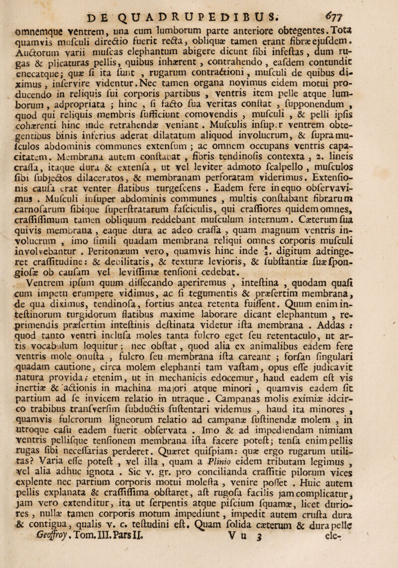 omnemque ventrem, una cum lumborum parte anteriore obtegentes.Tota quamvis mufculi diredio fuerit reda, obliqua? tamen erant fibra?ejufdem. Audorum varii mufeas elephantum abigere dicunt fibi infeftas, dum ru¬ gas & plicaturas pellis, quibus inharrent , contrahendo, eafdem contundit enecatque; qua? fi ita iunt , rugarum contradioni, mufculi de quibus di¬ cimus , infervire videntur.Nec tamen organa novimus eidem motui pro¬ ducendo in reliquis fui corporis partibus , ventris item pelle atque lum¬ borum , adpropriata ; hinc , fi fado fua veritas confiat , fupponendum , quod qui reliquis membris fufficiunt comovendis , mufculi , & pelli ipfis cohaerenti hinc inde retrahenda? veniant . Mufculis infup.r ventrem obte¬ gentibus binis inferius aderat dilatatum aliquod involucrum, & fupramu- fculos abdominis communes extenfum ; ac omnem occupans ventris capa¬ citatem. Membrana autem conflabat , fibris tendinofis contexta , 2. lineis crafla, itaque dura & extenfa , ut vel leviter admoto fcalpello , mufculos fibi fubjedos dilaceratos, & membranam perforatam viderimus. Extenfio- nis caufa erat venter flatibus turgefeens . Eadem fere in equo obferyavi- mus . Mufculi infuper abdominis communes , multis conflabant fibrarum carnofarum fibique fuperftratarum fafciculis, qui crafllores quidem omnes, crafli (fimum tamen obliquum reddebant mufculum internum. Ceterum fua quivis membrana , eaque dura ac adeo crafla , quam magnum ventris in¬ volucrum , imo fimili quadam membrana reliqui omnes corporis mufculi involvebantur . Peritonxum vero, quamvis hinc inde i. digitum adtinge- ret craflitudine: & debilitatis, & textura? levioris, &: fubfiantia? fua?fpon- giofa? ob caufam vel leviflimx tenfioni cedebat* Ventrem ipfum quum diffecando aperiremus , inteflina , quodam quafi cum impetu erumpere vidimus, ac fi tegumentis & pra?fertim membrana, de qua diximus, tendinofa, fortius antea retenta fuiflent. Quum enim in- teflinorum turgidorum flatibus maxime laborare dicant elephantum , re¬ primendis pra?fertim mteftinis deilinata videtur ifla membrana . Addas : quod tanto ventri inclufa moles tanta fulcro eget feu retentaculo, ut ar¬ tis vocabulum loquitur; nec obftat, quod alia ex animalibus eadem fero ventris mole onufla , fulcro feu membrana ifla careant ; forfan fingulari quadam cautione, circa molem elephanti tam vaflam, opus effe judicavit natura provida; etenim, ut in mechanicis edocemur, haud eadem eft vis inertia? & a&ionis in machina majori atque minori , quamvis eadem fit partium ad fe invicem relatio in utraque . Campanas molis eximia? idcir¬ co trabibus tranfverfim fuhdudis fuftentari videmus , haud ita minores , quamvis fulcrorum ligneorum relatio ad campana? fuftinenda? molem , in utroque cafu eadem fuerit obfervata . Imo & ad impediendam nimiam ventris pellifque tenfionem membrana ifla facere poteft; tenfa enim pellis rugas fibi neceffarias perderet. Qua?ret quifpiam: qua? ergo rugarum utili¬ tas? Varia e(fe poteft , vel illa , quam a Plinio eidem tributam legimus , vel alia adhuc ignota . Sic v. gr. pro concilianda craflitie pilorum vices explente nec partium corporis motui molefta , venire poflet . Huic autem pellis explanata &c crafliflima obflaret, afl rugofa facilis jam complicatur, jam vero extenditur, ita ut ferpentis atque pifeium fquamse, licet durio¬ res , nullae tamen corporis motum impediunt, impedit autem crufla dura & contigua, qualis v. c. teftudini eft. Quam folida exterum & dura pelle