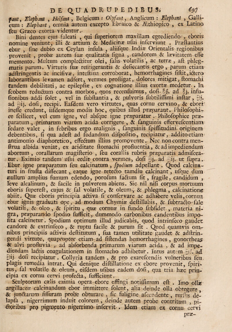 DE (^U ADRvUPEDIBU Si fmty Mephml , Helfant, Belgicum •• Olyfant, Anglicum : Elephmt , Galli¬ cum : Elepbant, omnia autem excepto Ebraico & fEthiopico , ex Latino feu Graco exorta videntur»- Bini dentes ejus falcati , qui fuperiorem maxillam egrediendo-, eboris nomine veniunt, illi & artium & Medicina? ufui infer viunt . Praftantius ebur , fine dubio ex Ceylan infula-, aliifque India? Orientalis regionibus provenit , probas autem fuas qualitatis figna candorem & lasvitatem - effe memento. Multum comple&itur olei, falis-volatilis , ac terra , aft phleg¬ matis parum. Virtutis fuas refrigerantis & deficcantis ergo , parum etiatn adftringentis ac incifivas, inteftina corroborat, hemorrhagines fiftit, i&ero laborantibus levamen adfert, vermes prodigat, dolores mitigat, ftomachi tandem debilitati, ac epilepfise , ex cognatione illius exorra medetur- . In fcobem redudum contra morbos, quos recenfuimus, dofi«5$. ad i)* in fu¬ llonibus addi folet , vel in fubftantia , & pulveris fubtiliftimi inftar, bj. ad bij. dofi, recipi-. Eafdenr vero virtutes, quas cornu cervino, §c eborr inelfe credunt, iifdemque modis hoc, quibus illud praparant. Philofophi-r ce fcilicet, vel cum igne, ve) abfque igne praparatur Philofophice pra- paratum , primarum viarum acida corrigere , & fanguinis effervefcentiatn fedare valet , in febribus ergo malignis , fanguinis fpiflitudini originem debentibus, fi qua adeft ad fudandum difpofitio, recipiatur, addito etiam- antimonio diaphoretico, effe&um illius promovente. Nec non contra men- ftrua albida veniat, ex aciditate ftomachi profiuentia, & ad impediendum abortum , corallarum magifterio , feu coraliis rubris praparatis admifcea- tur. Eximio tandem' Ufui cedit contra vermes, dofi bj,,~ad Bij- ut fupra, Ebur igne praparatum feu calcinatum , /podium adpellant. Quod calciim- turi in frufta diflecanteaque igne reteflo tamdiu calcinant, ufque dum «ullum amplius fumum edendo, porofum fafium fit, fragile, candidum , leve akalinum, & facile in pulverem abiens. Sic nil nifi corpus mortuum eboris fupereft, cujus & fal volatile, & oleumv & phlegma , calcinationg abiit. Quas eboris principia a&iva fi confervare ac adhibere velis,cornua ebur ignis- graduati ope, ad modum Ghymia? deftillabis, &. fubtra<fto*fale volatili, & oleo, & fpiritu , qua? cornua? in fundo fubfidet ,.materia ni¬ gra, praparando fpodio fufficit, dummodo carbonibus candentibus impo¬ lita calcinetur. Spodium optimum illud judicabis, quod intrinfeco gaudet candore & extrinfeco , & ruptu facile & purum fit . Quod quamvis om¬ nibus principiis a&ivis deftitutum , fua tamen utilitate-gaudet & adftrin- gendi virtute, quapropter etiam ad fiftendas hemorrhagines , gonorrheas & alvi profluvia ad abforbenda primarum viarum acida , & ad impe¬ diendam ladis coagulationem in ftomacho adhibetur. Intus autem bf. ad 9ij dofi recipiatur. Collyria tandem , & pro exarefcendis vulneribus feu, plagis remedia intrat. Qui denique diftiilatione ex ebore provenit, fpiri- tus, fal volatile & oleum, eifdem ufibus eadem dofi, qua tria ha?c prin¬ cipia ex cornu cervi profe&a, fufficiunt. Sculptorum calis eximia opera-ebore effingi notifiimum eft . Imo olli' argillacea calcinandum ebor immittere folent, alia deinde olla obtegere jun&arutn fiffuram probe obturare , fic fuligine afcendente , rurfus.de- lapfa ,, nigerrimum induit colorem , deinde autem probe contritum , pi.~ &oribus pro pigmentonigerrimo' infervit, Idem etiam ex cornu» cervi pra-