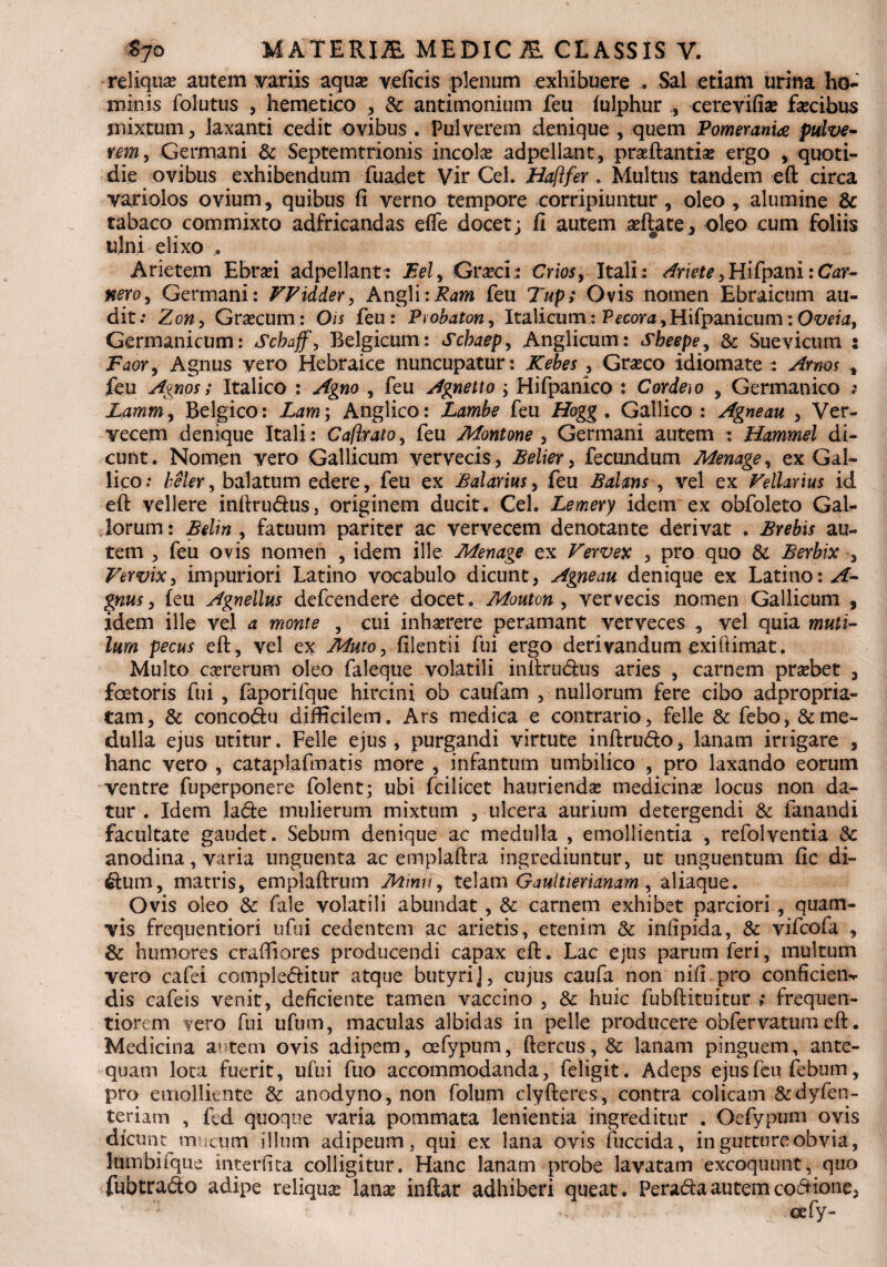 reliqua? autem variis aqua? veficis plenum exhibuere . Sal etiam urina ho¬ minis follitus , hemetico , & antimonium feu (ulphur cer.evifi* fascibus mixtum, laxanti cedit ovibus . Pulverem denique , quem Pomerania fulve- rem, Germani & Septem trionis incolas adpellant, prasftantia? ergo , quoti¬ die ovibus exhibendum fuadet Vir Cei. Baftfer. Multus tandem eft circa variolos ovium, quibus fi verno tempore corripiuntur , oleo , alumine & tabaco commixto adfricandas effe docet; fi autem asftate, oleo cum foliis ulni elixo Arietem Ebrasi adpellant : Bel^ Grasci: Crios, Itali : Ariete, Hifpani: Car- Keroy Germani: Widder, Angli:Ram feu Tup; Ovis nomen Ebraicum au¬ dit; Zon, Grascum: Ois feu: Prohaton, Italicum: Pecora,Hifpanicum:Oveia, Germanicum: Schaff, Belgicum: Scbaep, Anglicum: sheepe, & Suevicum : Faor, Agnus vero Hebraice nuncupatur: Kebes , Grasco idiomate : Arnos , feu 'Agnos s Italico : Agno , feu Agnetto ; Hifpanico : Cordeio , Germanico ; Lamm, Belgico: Lam; Anglico: Lambe feu Hogg . Gallico : Agneau , Ver¬ vecem denique Itali : Caflrato, feu Montone , Germani autem : Hammel di¬ cunt. Nomen yero Gallicum vervecis, Belier, fecundum Menage, ex Gal¬ lico; beler, balatum edere, feu ex Balariusy feu Balans , vel ex Vellarius id eft vellere inftru&us, originem ducit. Cei. Lemery idem ex obfoleto Gal¬ lorum • Belin , fatuum pariter ac vervecem denotante derivat . Brebis au¬ tem , feu ovis nomen , idem ille Menage ex Vervex , pro quo & Berbix , Vervix, impuriori Latino vocabulo dicunt, Agneau denique ex Latino: A- gnus, feu Agnellus defcendere docet. Mouton , vervecis nomen Gallicum , idem ille vel a monte , cui inhasrere peramant verveces , vel quia muti¬ lum pecus eft, vel ex Muto, filentii fui ergo derivandum exiftimat. Multo casrerum oleo faleque volatili inftrudus aries , carnem prasbet , foetoris fui , faporifque hircini ob caufam , nullorum fere cibo adpropria- tam, & concodu difficilem. Ars medica e contrario, felle & febo, & me¬ dulla ejus utitur. Felle ejus, purgandi virtute inftru&o, lanam irrigare , hanc vero , cataplafmatis more , infantum umbilico , pro laxando eorum ventre fuperponere folent; ubi fcilicet hauriendas medicinas locus non da¬ tur . Idem latfe mulierum mixtum , ulcera aurium detergendi & fanandi facultate gaudet. Sebum denique ac medulla , emollientia , refolventia & anodina, varia unguenta ac emplaftra ingrediuntur, ut unguentum fic di¬ ctum, matris, emplaftrum Minii, telam Gaultierianam , aliaque. Ovis oleo & fale volatili abundat, & carnem exhibet parciori , quam¬ vis frequentiori ufui cedentem ac arietis, etenim & infipida, Sc vifcoia , & humores craffiores producendi capax eft. Lac ejus parum feri, multum vero cafei complebitur atque butyri j, cujus caufa non nifi pro conficien-r dis cafeis venit, deficiente tamen vaccino , & huic fubftituitur ; frequeti- tiorem vero fui ufum, maculas albidas in pelle producere obfervatum eft. Medicina autem ovis adipem, cefypum, ftercus, & lanam pinguem, ante¬ quam lota fuerit, ufui fuo accommodanda, feligit. Adeps ejus feu febum, pro emolliente & anodyno, non folum clyfteres, contra colicam &dyfen~ teriam , fed quoque varia pemmata lenientia ingreditur . Oefypum ovis dicunt mucum illum adipeum, qui ex lana ovis fuccida, in gutture obvia, lumbiique interlita colligitur. Hanc lanam probe lavatam excoquunt, quo fubtra&o adipe reliquas lanas inftar adhiberi queat. Peraba autem cocione,