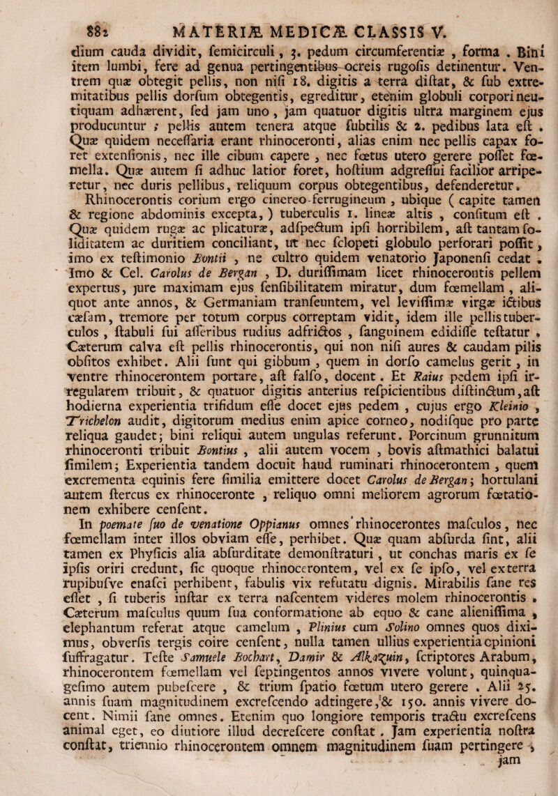 dium cauda dividit, femicirculi, 3, pedum circumferenti# , forma . Bini item lumbi, fere ad genua pertingentibus^ocreis rugofis detinentur. Ven¬ trem qu# obtegit pellis, non nifi 18. digitis a terra diftat, & fub extre¬ mitatibus pellis dorfiim obtegentis, egreditur, etenim globuli corpori neu- tiquam adh#rent, fed jam uno, jam quatuor digitis ultra marginem ejus producuntur ; pellis autem tenera atque fubtilis & 2. pedibus lata eft . Qu# quidem neceffaria erant rhinoceronti, alias enim nec pellis capax fo¬ ret extenfionis, nec ille cibum capere , nec foetus utero gerere poffet fGe¬ mella. Qu# autem fi adhuc latior foret, hoftium adgreffui facilior arripe* retur, nec duris pellibus, reliquum corpus obtegentibus, defenderetur. Rhinocerontis corium ergo cinereo-ferrugineum , ubique ( capite tamett & regione abdominis excepta,) tuberculis 1. line# altis , confitum eft . Qu# quidem rug# ac plicatur#, adfpe&um ipfi horribilem, aft tantam fo- liditatem ac duritiem conciliant, ut nec fclopeti globulo perforari poffit, imo ex teftimonio Bvntii , ne cultro quidem venatorio Japonenfi cedat • Imo & Cei. Carolus de Bergan , D. durifiimam licet rhinocerontis pellem expertus, jure maximam ejus fenfibilitatem miratur, dum foemellam , ali¬ quot ante annos, Sc Germaniam tranfeuntem, vel levifiim# virg# idtibus c#fam, tremore per totum corpus correptam vidit, idem ille pellistuber- culos , ftabuli fui alferibus rudius adfri&os , fanguinem edidifle teftatur «, C#terum calva eft pellis rhinocerontis, qui non nifi aures & caudam pilis obfitos exhibet. Alii funt qui gibbum , quem in dorfo camelus gerit, in •ventre rhinocerontem portare, aft falfo, docent. Et Ratus pedem ipfi ir¬ regularem tribuit, & quatuor digitis anterius refpicientibus diftin&um,aft hodierna experientia trifidum efie docet ejus pedem , cujus ergo Kleinio , Trichelon audit, digitorum medius enim apice corneo, nodifque pro parte reliqua gaudet; bini reliqui autem ungulas referunt. Porcinum grunnitum rhinoceronti tribuit Bontius , alii autem vocem , bovis aftmathici balatui fimilem; Experientia tandem docuit haud ruminari rhinocerontem , quem excrementa equinis fere fimilia emittere docet Carolus de Bergan; hortulani autem ftercus ex rhinoceronte , reliquo omni meliorem agrorum faetatio- nem exhibere cenfeiit. In poemate fuo de venatione Oppianus omnes’rhinocerontes tnafculos, ilee foemellam inter illos obviam efie, perhibet. Qu# quam abfurda fint, alii tamen ex Phyficis alia abfurditate demonftraturi, ut conchas maris ex fe ipfis oriri credunt, fic quoque rhinocerontem, vel ex fe ipfo, vel ex terra rupibufve enafei perhibent, fabulis vix refutatu dignis. Mirabilis fane res effet , fi tuberis inftar ex terra nafcentem videres molem rhinocerontis . C#terum mafculus quum fua conformatione ab equo & cane alieniflima , elephantum referat atque camelum , Plinius cum Solino omnes quos dixi¬ mus, obverfis tergis coire cenfent, nulla tamen ullius experientia opinioni fuffragatur. Tefte Samuele Bochart, Damir & ^ilka^uin^ feriptores Arabum, rhinocerontem foemellam vel feptingentos annos vivere volunt, quinqua- gefimo autem pubefeere , & trium fpatio foetum utero gerere . Alii 25. annis fuam magnitudinem excrefcendo adtingere,'& 150. annis vivere do¬ cent. Nimii fane omnes. Etenim quo longiore temporis tra<ftu excrefcens animal eget, eo diutiore illud decrefcere conflat . Jam experientia noftra conflat, triennio rhinocerontem omnem magnitudinem fuam pertingere , • - jam