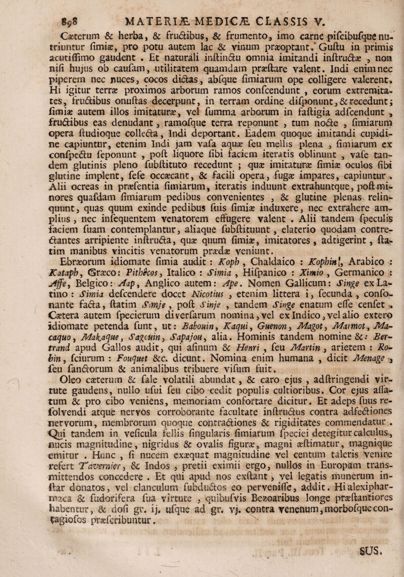 Ceterum Sc herba, Sc frudibus, Sc frumento, imo carne pifcibufquenu¬ triuntur fimite, pro potu autem lac Sc vinum praeoptant. Guftu in primis acutiftimo gaudent • Et naturali inftindu omnia imitandi inftruda? , non nifi hujus ob caufam, utilitatem quamdam praftare valent. Indi enim nec piperem nec nuces, cocos didas, abfque fimiarum ope colligere valerent. Hi igitur terra proximos arborum ramos confcendunt , eorum extremita¬ tes, frudibus onuftas decerpunt, in terram ordine difponunt,&recedunt; fimiae autem illos imitatura, vel fumma arborum in faftigia adfcendunt , frudibus eas denudant, ramofque terra reponunt , tum node , fimiarum opera ftudioque colleda, Indi deportant. Eadem quoque imitandi cupidi¬ ne capiuntur, etenim Indi jam vafa aquse feu mellss plena , fimiarum ex confpedu feponunt , poft liquore libi faciem iteratis oblinunt , vafe tan¬ dem glutinis pleno fubftituto recedunt ; qux imitatura fimise oculos fibi glutine implent, fefe occaecant, & facili opera, fuga: impares, capiuntur . Alii ocreas in prafentia fimiarum, iteratis induunt: extrahuntque, poft mi*, nores quafdam fimiarum pedibus convenientes , Sc glutine plenas relin¬ quunt, quas quum exinde pedibus fuis fimise induxere, nec extrahere am¬ plius , nec infequentem venatorem effugere valent . Alii tandem fpeculis faciem fuam contemplantur, aliaque fubftituunt, elaterio quodam contre- dantes arripiente inftruda, quse quum fimise, imitatores, adtigerint, fta- tim manibus vincitis venatorum pradte veniunt. Ebraorum idiomate fimia audit: Koph , Chaldaico : Kophin[, Arabico : Kataph, Graco: Pitbkos, Italico : Simia , Hifpanico : Ximio , Germanico : Affe, Belgico: Aap > Anglico autem: Ape. Nomen Gallicum: Singe ex La¬ tino : Simia defcendere docet Nicotius , etenim littera i, fecunda , confo- nante fada, ftatim Smje, poft sinje , tandem Singe enatum effe cenfet . Cetera autem fpecierum diverfarum nomina, vel ex Indico, vel alio extero Idiomate petenda funt, ut: Babovtin, Kaqui, Guenon, Magot, Mamot,Ma- caquo, Makaque, Sagmin> Sapajou, alia. Hominis tandem nomine Ber- trand apud Gallos audit, qui afinum Sc Henri , feu Martin , arietem : Ro~ bin, fciurum : Fouquet &c. dicunt. Nomina enim humana , dicit Memge , feu fandorum Sc animalibus tribuere vifum fuit. Oleo ceterum Sc fale volatili abundat, Sc caro ejus , adftringendi vir¬ tute gaudens, nullo ufui feu cibo cedit populis cultioribus. Cor ejus affa¬ tum Sc pro cibo veniens, memoriam confortare dicitur. Et adeps fuus re- folvendi atque nervos corroborante facultate inftrudus contra adfediones nervorum, membrorum quoque contradiones Sc rigiditates commendatur . Qui tandem in veficula feiiis fingularls fimiarum fpeciei detegitur calculus , nucis magnitudine, nigridus Sc ovalis figura, magni teftimatur, magnique emitur . Hunc , fi nucem exaequat magnitudine vel centum taleris venire refert Tavemier, Sc Indos , pretii eximii ergo, nullos in Europam trans¬ mittendos concedere . Et qui apud nos exftant, vel legatis munerum in- Ear donatos, vel clanculum fubdudos eo perveniffe, addit. Hialexiphar- maca Sc (odorifera fua virtute , quibufvis Bezoaribus longe praftantiores habentur, 8c dofi gr. ij, ufque ad gr, vj. contra venenum,morbofquecon- $agiolbs prafcribuntur.