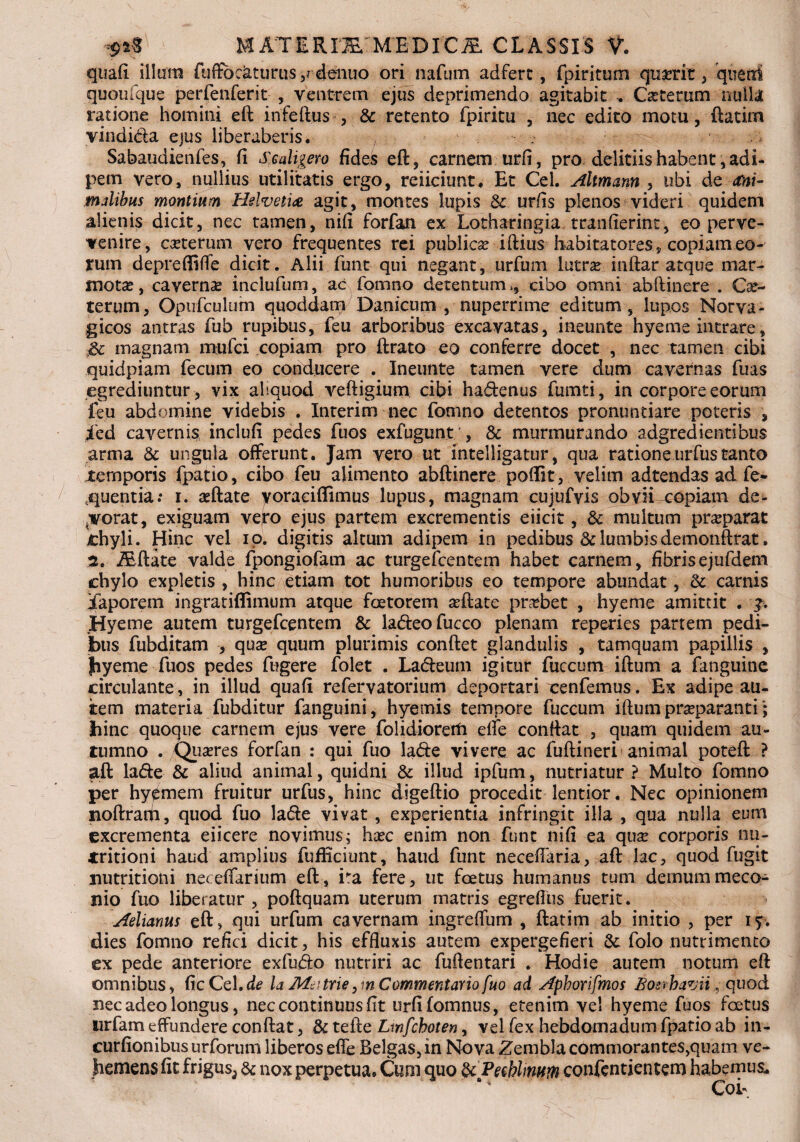 M AT E R TWMB D iCiE CLASSIS V. quafi illum fuffbcaturus ,rddnuo ori nafum adfert, fpiritum qumt , queni quoufque perfenferit- , ventrem ejus deprimendo agitabit . Cattetum nulla ratione homini eft infeftus , & retento fpiritu , nec edito motu, ftatim vindida ejus liberaberis. Sabaudienfes, fi Sm ligem fides eft, carnem udi, pro deliriis habent j adi¬ pem vero, nullius utilitatis ergo, reiiciunt. Et Cei. Altmann , ubi de ani¬ malibus montium Helvetia agit, montes lupis & urfis plenos videri quidem alienis dicit, nec tamen, nifi forfan ex Lotharingia tranfierint, eo perve- venire, exterum vero frequentes rei publica? iftius habitatores 5 copiam eo¬ rum depreffiffe dicit. Alii funt qui negant, urfum lutra? inftar atque mar- motx, caverna? inclufum, ac fomno detentumcibo omni abftinere . Cx- terum, Opufculutn quoddamDanicum , nuperrime editum, lupos Norva- gicos antras fub rupibus, feu arboribus excavatas, ineunte hyeme intrare, £c magnam mufei copiam pro ftrato eo conferre docet , nec tamen cibi quidpiam fecum eo conducere . Ineunte tamen vere dum cavernas fuas egrediuntur , vix aliquod veftigium cibi ha&enus fumti, in corpore eorum feu abdomine videbis . Interi m nec fomno detentos pronuntiare poteris , i'ed cavernis inclufi pedes fuos exfugunt ’, & murmurando adgredientibus arma & ungula offerunt. Jam vero ut mtelligatur, qua rationeurfustanto temporis fpario, cibo feu alimento abftinere poffit, velim adtendas ad fe- quentia.- i. asftate yoraciflimus lupus, magnam cujufvis obviixopiam de¬ corat, exiguam vero ejus partem excrementis eiicit, & multum prxparat chyli. Hinc vel io. digitis altum adipem in pedibus & lumbis demonftrat. 2. iEftate valde fpongiofam ac turgefeentem habet carnem, fibrisejufdem chylo expletis , hinc etiam tot humoribus eo tempore abundat, & carnis ifaporem ingratiffimum atque faetorem xftate prxbet , hyeme amittit . JHyeme autem turgefeentem & la&eofucco plenam reperies partem pedi¬ bus fubditam , qua? quum plurimis conftet glandulis , tamquam papillis , jbyeme fuos pedes fugere folet . La&eum igitur fuccum iftum a fanguine circulante, in illud quafi refervatorium deportari cenfemus. Ex adipe au¬ tem materia fubditur fanguini, hyemis tempore fuccum iftum prxparanti; bine quoque carnem ejus vere folidioretfi effe conftat , quam quidem au¬ tumno . Qiixres forfan : qui fuo la<fte vivere ac fuftinerf animal poteft ? aft lade & aliud animal, quidni &; illud ipfum, nutriatur ? Multo fomno per hypmem fruitur urfus, hinc digeftio procedit lentior. Nec opinionem noftratti, quod fuo la&e vivat , experientia infringit illa , qua nulla eum excrementa eiicere novimus; ha?c enim non funt nifi ea qua? corporis nu- 4tritioni haud amplius fufficiunt, haud funt neceflaria, aft lac, quod fugit nutritioni neceffarium eft, Ea fere, ut foetus humanus tum demum meco¬ nio fuo liberatur , poftquam uterum matris egreffus fuerit. Aelianus eft, qui urfum cavernam ingreffum , ftatim ab initio , per i y. dies fomno refici dicit, his effluxis autem expergefieri &: folo nutrimento ex pede anteriore exfufto nutriri ac fuftentari . Hodie autem notum eft omnibus, ftcCel.de la Met trie, m Commentario fuo ad Apborifmos Boetbavii , quod nec adeo longus, nec continuus fit urfifomnus, etenim ve! hyeme fuos foetus urfam effundere conftat, & tefte Lmfchoten, vel fex hebdomadum fpario ab in- curfionibus urforum liberos effe Belgas, in Nova Zembla commorantes,quam ve¬ hemens fit frigus^ & nox perpetua. Cum quo fcPeehlimtn confcntientem habemus*