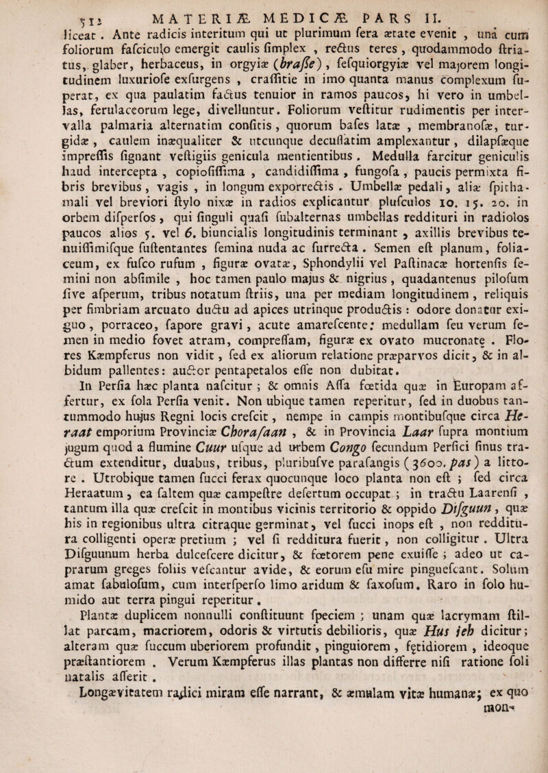 ficeat . Ante radicis interitum qui ut plurimum fera aetate evenit , una cum foliorum fafciculp emergit caulis fimplex , redus teres , quodammodo ftria- tus, glaber, herbaceus, in orgyix (brafie) , fefquiorgyia vel majorem longi¬ tudinem luxuriofe exfurgens , craffitie in imo quanta manus complexum fu- perat, ex qua paulatim fadus tenuior in ramos paucos, hi vero in umbel¬ las, ferulaceorum lege, divelluntur. Foliorum veftitur rudimentis per inter¬ valla palmaria alternatim confitis , quorum bafes lata? , membranofa, tur¬ gida? , caulem ina?qualicer & utcunque decuflatim amplexantur, dilapfa?qne impreffis fignant veftigiis genicula mentientibus . Medulla farcitur geniculis haud intercepta , copiofiffima , candidiffima , fungofa, paucis permixta fi¬ bris brevibus, vagis , in longum exporredis . Umbella? pedali, alia? fpitha- inali vel breviori ftylo nixa in radios explicantur plufculos io. 15. 20. in orbem difperfos, qui finguli quafi fubalternas umbellas reddituri in radiolos paucos alios 5. vel 6. biuncialis longitudinis terminant , axillis brevibus te- nuiffimifque fuftentantes femina nuda ac furreda . Semen eft planum, folia¬ ceum, ex fufco rufum , figura? ovata?, Sphondylii vel Paftinaca hortenfis fe¬ mini non abfimile , hoc tamen paulo majus & nigrius , quadantenus pilofum five afperum, tribus notatum ftriis, una per mediam longitudinem , reliquis per fimbriam arcuato dudu ad apices utrinque produdis : odore donatur exi¬ guo , porraceo, fapore gravi, acute amarefcente: medullam feu verum fe¬ men in medio fovet atram, compreffam, figura? ex ovato mucronate . Flo¬ res Ka?mpferus non vidit, fed ex aliorum relatione pra?parvos dicit, & in al¬ bidum pallentes: audor pentapetalos effe non dubitat. In Perfia ha?c planta nafcitur ; & omnis Alfa foetida qua: in Europam af¬ fertur, ex fola Perfia venit. Non ubique tamen repentur, fed in duobus tan¬ tummodo hujus Regni locis crefcit, nempe in campis montibufque circa He- raat emporium Provincia Chora/aan , & in Provincia Laar fupra montium jugum quod a flumine Cuur ufque ad urbem Congo fecundum Perfici finus tra- dum extenditur, duabus, tribus, pluribufve parafangis ( 3600. pas ) a litto- re . Utrobique tamen fucci ferax quocunque loco planta non eft ; fed circa Heraatum , ea faltem qua campeftre defertum occupat ; in tradu Laarenfi , tantum illa qua crefcit in montibus vicinis territorio & oppido Difguun , qua his in regionibus ultra citraque germinat, vel fucci inops eft , non redditu¬ ra colligenti opera pretium ; vel fi redditura fuerit, non colligitur . Ultra Difguunum herba dulcefcere dicitur, & fcetorem pene exuiffe ; adeo ut ca¬ prarum greges foliis vefcantur avide, & eorum efu mire pinguefcant. Solum amat fabulofum, cum interfperfo limo aridum & faxofum. Raro in folo hti¬ mido aut terra pingui reperitur . Planta duplicem nonnulli conftituunt fpeciem ; unam qua lacrymam ftii- lat parcam, macriorem, odoris & virtutis debilioris, qua Hus jeh dicitur; alteram qua fuccum uberiorem profundit, pinguiorem , fetidiorem , ideoque praftantiorem . Verum Kampferus illas plantas non differre nifi ratione foli natalis afferit . Longavitatem radici miram effe narrant, & amulam vita humana; ex quo moib*