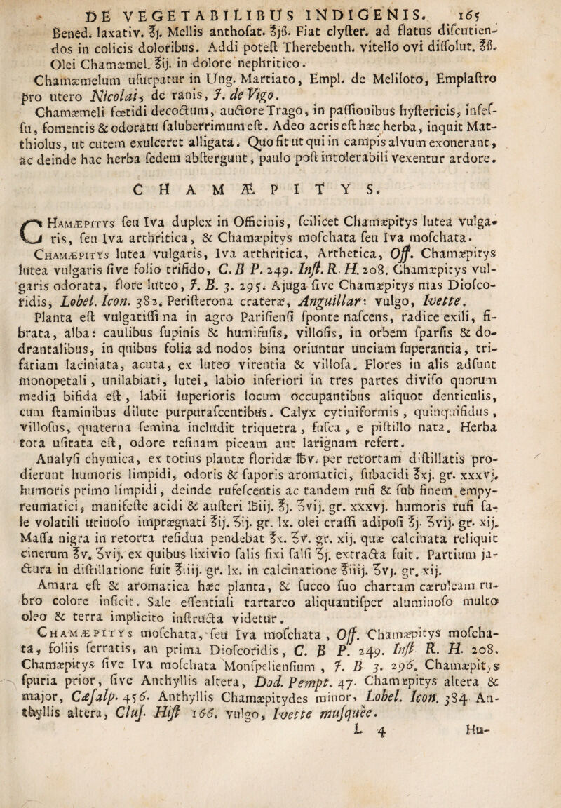 Bened. laxativ. Mellis anthofat* ?j$. Fiat clyfter. ad flatus difcutien- dos in colicis doloribus. Addi poteft Therebenth. vitello ovi diffolut. Olei ChamaemeL ?ij. in dolore nephritico. Chamaemelum ufutrpatur in Ung. Martiato, EmpL de Meliloto, Emplaftro pro utero Nicolai* de ranis.J.deViga. Chamxmeli foetidi decodum, audore Trago, in paffionibus hyftericis, infef- fu, fomentis & odoratu faluherrimumeft. Adeo acris eft haec herba , inquit Mat- thiolus, ut cutem exulceret alligata. Quo fit ut qui in campis alvum exonerant, ac deinde hac herba fedem abftergunt, paulo poft intolerabili vexentur ardore. C H A M & P I T Y S, CHamxEpitys feu iva duplex in Officinis, fcilicet Chama*pitys lutea vulga* ris, feu Iva arthritica, St ChamaepityS mofchata feu Iva mofchata. Chamjepitys lutea vulgaris, Iva arthritica, Arthetica, ojf- ChamaepityS lutea vulgaris fi ve folio trifido, C.B P. 249. Inft.R H. 208. Ghamxpitys vul¬ garis odorata, flore luteo, fm B. 3. 29 5 < A juga fivre ChamaepityS mas Diofco- ridis, Lobel. Icon. 382* Perifterona craterae, Anguillavulgo, Ivette. Planta eft vulgatiffina in agro Parifienfi fponte nafcens, radice exili, fi¬ brata, alba: caulibus fupinis St humifiifis, villofis, in orbem fparfis St do¬ drantalibus, in quibus folia ad nodos bina oriuntur unciam fuperantia, tri¬ fariam laciniata, acuta, ex luteo virentia St villofa. Flores in alis adfunt fnonopetali, unilabiati, lutei, labio inferiori in tres partes divifo quorum media bifida eft , labii tuperioris locum occupantibus aliquot denticulis, cum flaminibus dilute purpurafcentibus. Calyx cytiniformis , quinquifidus , villofus, quaterna femina includit triquetra, fufca , e piftillo nata. Herba tora ufitata eft, odore refinam piceam aut larignam refert. Analyfi chymica, ex totius plantae floridae Ibv. per retortam diftillatis pro¬ dierunt humoris limpidi, odoris Sc faporis aromatici, fubacidi ?xj. gr. xxxvj. humoris primo limpidi, deinde rufefcentis ac tandem rufi St fub finem ernpy- reurnatici, manifefte acidi St aufteri IBiij. fj. Svij. gr. xxxvj. humoris rufi fa- le volatili urinofo impraegnati oij, 5ij. gr. lx. olei craffi adipofi l>y Svij. gr. xij* Maflfa nigra in retorta refidua pendebat ?x. Sv. gr. xij. quae calcinata reliquit cinerum ?ve 5vij. ex quibus lixivio falis fixi falfi ?j. extrada fuit. Partium ja- dura in diftillatione fuit ?iiij. gr. lx. in calcinatione f iiij. 5vj. gr. xij. Amara eft St aromatica haec planta, St fucco fuo chartam caeruleam ru¬ bro colore inficit. Sale effentiali tartareo aliquantifper aluminofo multo oleo Sc terra implicito inftrucla videtur . Cham£pitys mofchata, feu iva mofchata, Ojf. Ghamxpitys mofcha¬ ta, foliis ferratis, an prima Diofcoridis, C. B P. 249. Ltfl R. H. 208, Chamaepitys five Iva mofchata Monfpelienfium , 7. B 3. 29B. Chamapit^s fpuri a prior, fi ve Anthyllis altera, Dod. Pernpt. 47* Ghamxpitys altera St major, Cd/alp- 45^ Anthyllis Chamaepitydes minor» Lobel. Icon. 3S4 An- thyllis altera, CluJ- Hift 166. vulgo, Ivette mufquee. L 4 Hu-