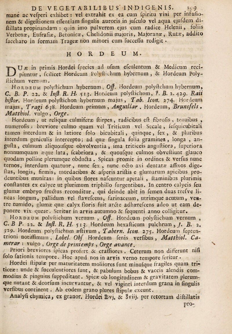 mane ac vefperi exhibet: vel extrahit ex ea cum Cpiritu vini per infufio- nem Sc digeftionem eflentiam fingulis auroris in jufculo vel aqua ejuidem di- ftillata propinandam : quin imo pulverem ejus cum radice Helenii, folhs Verbena?, Eufrafia?, Betonica?, Chelidonii majoris, Majorana?, Ruta?, addito faccharo in formam Tragea? non minori cum fucceffu redigit • hordeum. DU£ in primis Hordei fpecies ad ufum efculentum & Medicum reci¬ piuntur , fcilicet Hordeum polyflichum hybernum , Sc Hordeum Poly- ilichum vernum. . Hordeum polyflichum hybernum, off- i iiordeum polyftchum hybernum, C. B. P. 22. Sc Inft R. H* 513. Hordeum polyflichum, 7.5. 2.429. Rati hiftor. Hordeum polyftichon hybernum majus , T ab. Icon. 274* Hordeum majus, Tragi 63 8. Hordeum primum, Angutllar . Hordeum, Bvunsfels • MatthioL vulgo, Orge. Hordeum , ut reliqua? culmifera? ftirpes , radicibus eft fibrofis , tenuibus , numerofis ; breviore culmo quam vel Triticum vel Secale , fefquicubitali tamen interdum Sc in lcetiore folo bicubitali, quinque, fex , Sc pluribus interdum geniculis intercepto; ad qua? fingula folia graminea, longa , an- gufta, culmum aliquoufque obvolventia, ima triticeis anguftiora, fuperiora nonnumquam a?que lata, fcabriora , Sc quoufque culmos obveftiunt glauco quodam polline plerumque obduda . Spicas promit in ordines Sc verfus nunc ternos, interdum quatuor , nunc fex , nunc odo axi dentata? affixos dige» flas, longis, firmis, mordacibus Sc afperis ariftis e glumarum apicibus pro- deuntibus munitas: in quibus flores nafcuntur apetali , flaminibus plurimis conflantes ex calyce ut plurimum triphillo Turgentibus. In centro calycis feu gluma? embryo frudus reconditur , qui deinde abit in femen duas trefve li¬ neas longum, pallidum vel flavefcens, farinaceum, utrimque acutum, vea- tre tumido, gluma? qua? calyx floris fuit arde adha?refcens adeo ut eam de¬ ponere vix queat. Seritur in arvis autumno & fequenti anno colligitur. Hordeum polvflichum vernum , Off. Hordeum polyflichum vernum , C. B P. 22. Sc Injt. R. H' 513. Hordeum hexafticum pulchrum, /. 5. 2. 329' Hordeum polyflichum seftivum , T abern. Icon- 275. Hordeum fepten- trioni notiflimum , LobeL OhJ Hordeum fenis verfibus , MatthioL Ca~ tnerar : vulgo , Orge de prmtemps , Orge avance. Priori breviores (picas profert Sc crafliores . Ceterum non differunt nifi folo fationis tempore. Hoc apud nos in arvis verno tempore feritur . Hordei ftipula? per maturitatem moliiores funt minufque fragiles quam tri-* ticese: unde Sc fucculentiores funt, Sc pabulum bobus Sc vaccis alendis com¬ modius Sc pinguius fuppeditant. Spica? ob longitudinem Sc gravitatem plerum¬ que nutant Sc deorfum incurvantur, Sc vel viginti interdum grana in fingulis verfibus continent. Ab eodem grano plures ftipula? exeunt. Analyfi chynaica, ex granor. Hordei Ibvj, Sc fviij. per retortam diftillatis ..Pro'