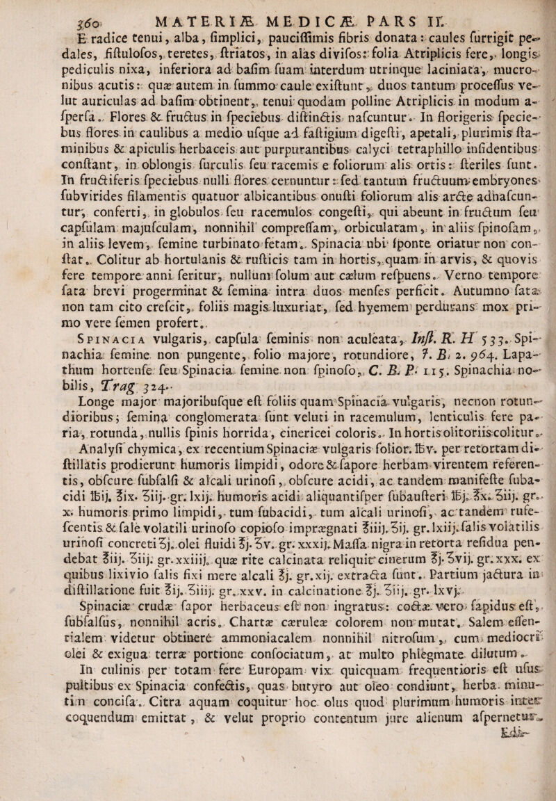 E radice tenui, alba, fimplici, pauciffimis fibris donata: caules furrigit pe** dales, fiftulofos, teretes, ftriatos, in alas divifos::folia Atriplicis fere,* longis pediculis nixa, inferiora ad bafim fuam interdum utrinque laciniatay mucro¬ nibus acutis: qua* autem in fummo caule exiftunt * duos tantum proceflus ve- lut auriculas ad bafim obtinent,, tenui: quodam polline Atriplicis in modum a- fperfa.. Flores frudus in fpeciebus dift indis/ nafcuntur e In florigeris fpecie¬ bus flores: in caulibus a medio ufque ad faftigium digefti , apetali, plurimis fla¬ minibus 3c apiculis herbaceis aut purpurantibus calyci tetraphillo Infidentibus conflant, in oblongis furculis feu racemis e foliorum alis ortis: fteriles funt. In frudiferis fpeciebus nulli flores;cernuntur s fed tantum fruduumembryones' fubvirides filamentis quatuor albicantibus onufti foliorum alis arde adbafcun- tur, conferti,, in globulos>feu racemulos congefti, qui abeunt in frudum fetr capfulam majufculam, nonnihil compreffamy orbiculatam, in aliis fpinofarn, in aliis levem ,, femine turbinato fetamSpinacia ubb fponte oriatur non con¬ flato. Colitur ab hortulanis & rufticis tam in hortis, quam in arvis, dc quovis fere tempore anni feritur, nullum:folum aut cadum refpuens. Verno tempore fata brevi progerminat Sc femina intra duos menfes perficit. Autumno fata- non tam cito crefcit,* foliis magis luxuriat, fed hyemerrr perdurans; mox pri¬ mo vere femen profert „ Spinacia vulgaris, capfula feminis non aculeata, Infl. R. H 533. Spi- nachia femine non pungente, folio majore, rotundiore, ?. Bi 2. 964. Lapa¬ thum hortenfe feu Spinacia femine non fpinofo,. C. B. P'• 115,. Spinachia* no¬ bilis, Trag 324- Longe major majoribufque eft foliis quanvSpinacia vulgaris, necnon rotun¬ dioribus; femina conglomerata funt veluti in racemulum, lenticulis fere pa¬ ria, rotunda, nullis fpinis horrida , cinericei coloris^ In hortis olitoriis colitur 0> A nalyfi chymica , ex recentium Spinacia vulgaris fotior.lbv. per retortam di- ftillatis prodierunt humoris limpidi , odore& fapore herbam virentem referen¬ tis, obfcure fubfalfi & alcali urinofi, obfcure acidi, ac tandem manifefte fuba~ eidi ibij. ?ix. 3iij. gr. lxij. humoris acidi aliquantifper fubaufteri ibj» Jx„ 3iij. grc x. humoris primo limpidi tum fubacidi, tum alcali urinofi,* ac tandem rufe- fcentis & fale volatili urinofo copiofo impraegnati ?iiij„3ij, gr.lxiij»falis volatilis urinofi concreti 3j0.olei fluidi ?j. 3 v.gr.xxxij. Mada, nigra in retorta refidua pen¬ debat ?iij. 3iij. gr. xxiiij0 qua? rite calcinata reliquitcinerum ?j«3vij. gnxxx. ex quibus lixivio falis fixi mere alcali gr.xij. extrada funte Partium jadura in diftillatione fuit 3ij, 3iiij. gr0,xxv. in caicinatione Sj, 3iij. gr. Ixvjo Spinacia crudae fapor herbaceus eft5non ingratus': coda;vero fapiduseft, fubfalfus, nonnihil acris „ Charta carulea colorem non mutat. Salem efien- nalem videtur obtinere ammoniacalem nonnihil nitrofum,, cumu mediocrr olei & exigua: terra portione confoeiatum, at multo phlegmate, dilutum» In culinis* per totam fere Europam vix quicquam frequentioris eft ufus pultibus ex Spinacia! confedis, quas butyro aut oieo condiunt, herba, minu- tirn coneifa 0, Citra aquam coquitur hoc olus quod plurimum humoris inter coquendum* emittat, & velat proprio contentum jure alienum afpernetur*