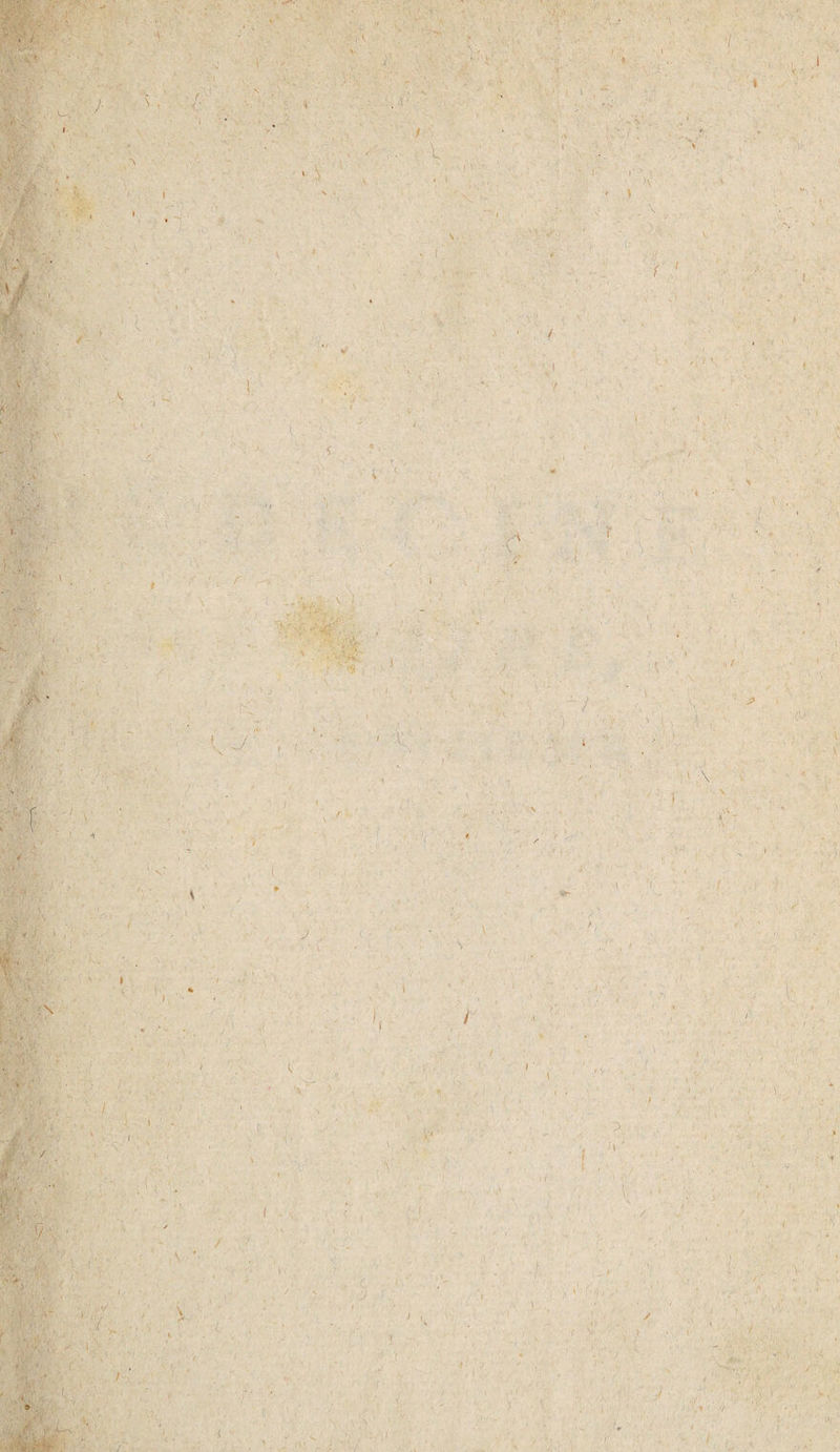 : j:;.- r iSî ■/ ■ ■■; r- . , \ J '•.• • l' l l J . ■ ■ ( <