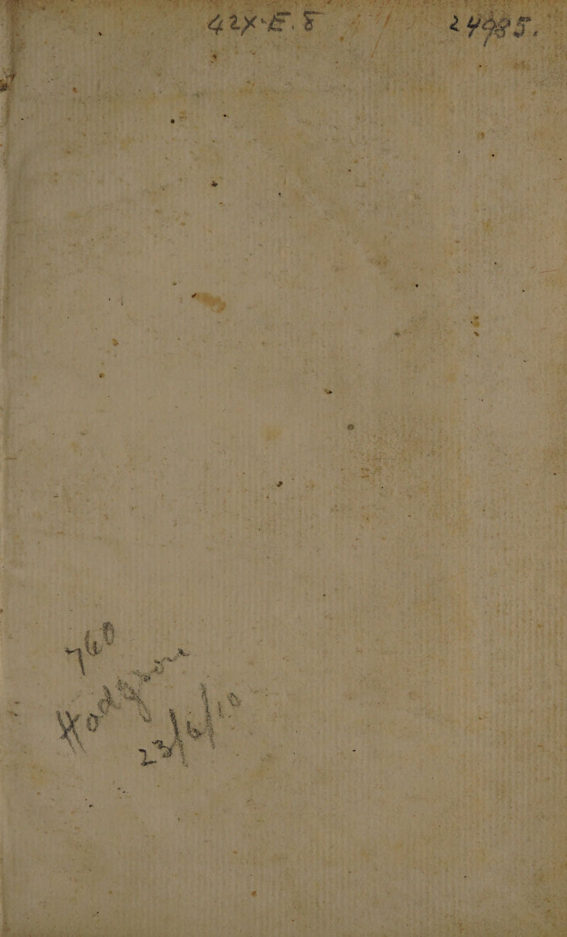 zy ^y rei des Aes VA