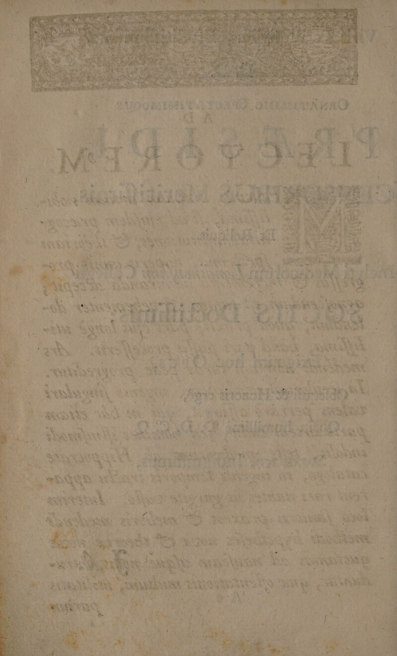 gana otüisceApAO 8 SS $5 ju gates t iore MR SAY S x «wa m Aw 4 EA X I Pes s D E V GU NEUSS Bi S coesdprdr par x : Ur px iu - o 4 L: WU ! A * [* NH SU Y^ gu Span E SEE da i TE PUN 339 e E x wow S ede: fvR NE E^ Nene Red jii waa | NS s SM Xie ES WT nun - Bret A T J * es Lb. : Eu an y L' .. m ^ Aus by EC - Eus Er E s ion x S dd e 6 NER 5 Rs rae LUC Ara SO EL H ^ OY ue Ver w. Vd Ve CA p dels. - 4e Chdemé cte diepsr EE Y HT deu /r T 4 i d 2 Adp mre, is ^ A. ut