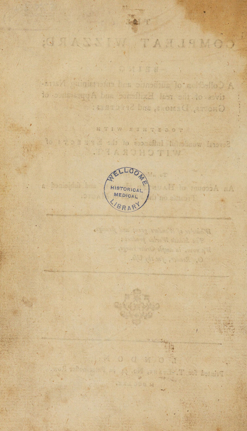 J V ; r ■* } > \ * ' .