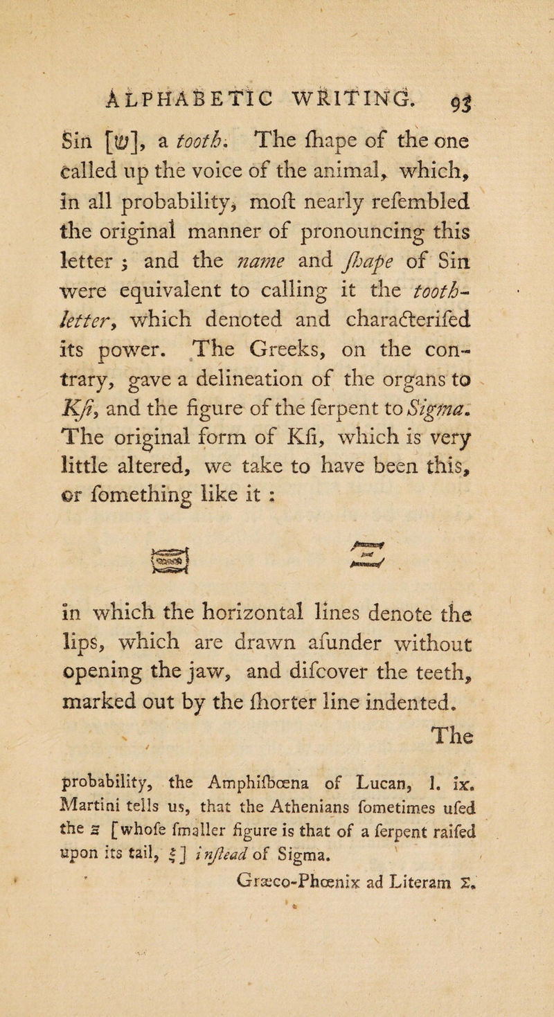 Sin [w]9 a tooth. The fhape of the one tailed up the voice of the animal, which, in all probability* moll nearly refembled the original manner of pronouncing this letter ; and the name and JJjape of Sin were equivalent to calling it the tooth- letiery which denoted and charafterifed its power. The Greeks, on the con¬ trary, gave a delineation of the organs to Kfiy and the figure of the ferpent to Sigma. The original form of Kfi, which Is very little altered, we take to have been this, or fomething like it ; Jbbbhh|P gSOg in which the horizontal lines denote the lips, which are drawn afunder without opening the jaw, and difcover the teeth, marked out by the Ihorter line indented. / probability, the Amphifbcena of Lucan, 1. lx. Martini tells us, that the Athenians fometimes ufed the 3 [whole fmaller figure is that of a ferpent railed upon its tail, |] injlead of Sigma. Grseco-Phoenijt ad Literam &gt;=S35jS&gt;&lt;