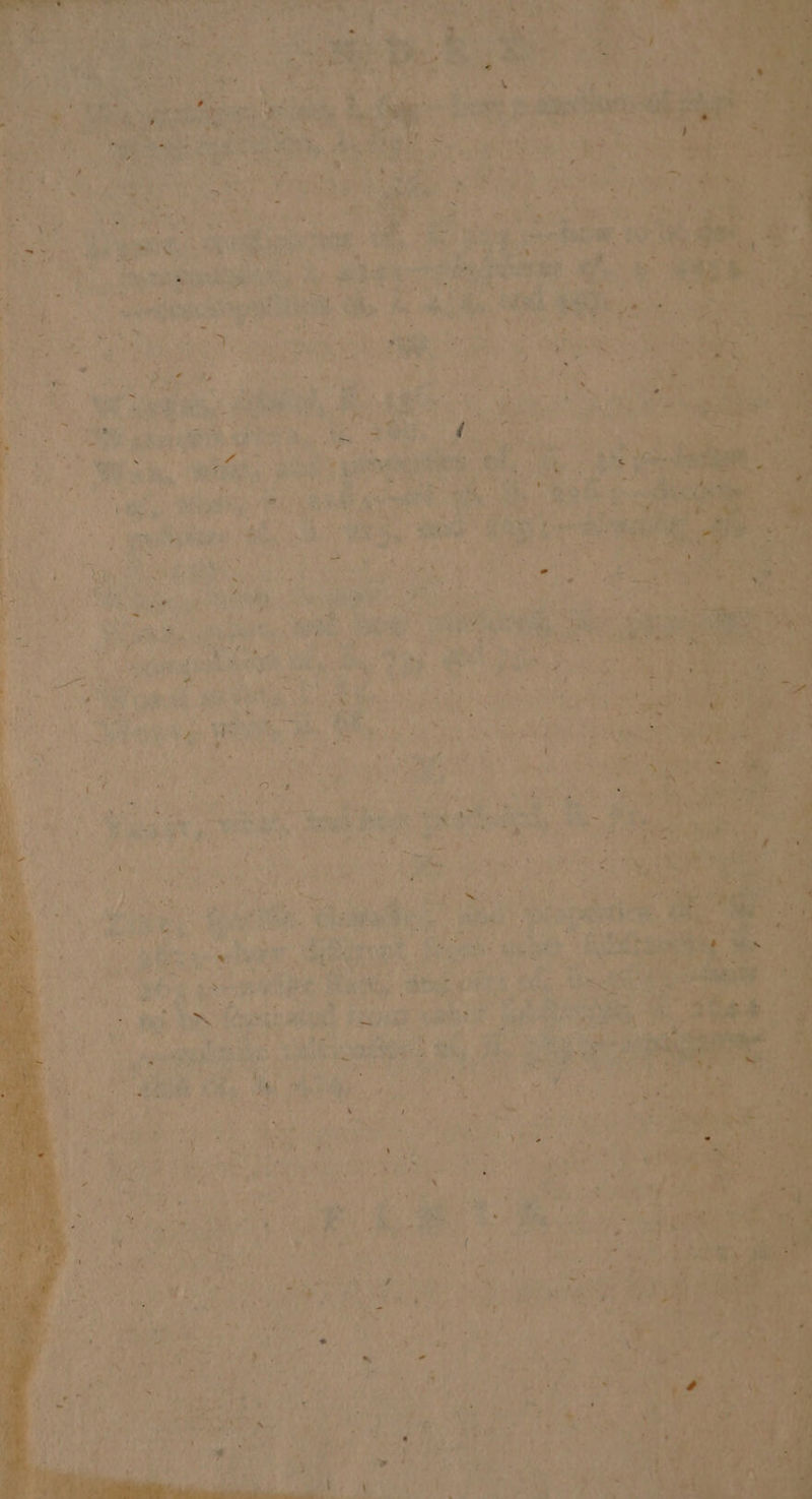 aS =) ot aad os rorerar w Me he wy?