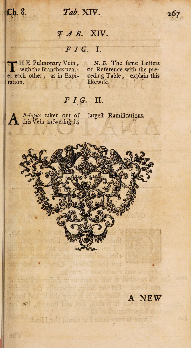 I XIV. I FIG. I. jtT*HE Pulmonary Vein, N. B. The fame Letters i with the Branches near- of Reference with the pre- er each other, as in Expi- ceding Table, explain this :i ration. likewife. • Jf * * .* V ;  u FIG. II. ' { A NEW