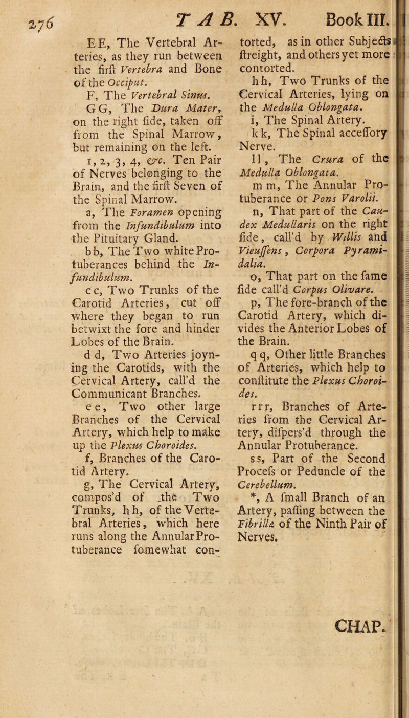 TAB. XV. Book III. EE, The Vertebral Ar¬ teries, -as they run between the firft Vertebra and Bone of the Occiput. F, The Vertebral Sinus. G G, The Dura Mater, on the right fide, taken off from the Spinal Marrow, but remaining on the left. i, 2, 3, 4, ct'c. Ten Pair of Nerves belonging to the Brain, and the firft Seven of the Spinal Marrow. a, The Foramen opening from the Infundibulum into the Pituitary Gland. bb, The Two white Pro¬ tuberances behind the In- fundibulum. ccy Two Trunks of the Carotid Arteries, cut off where they began to run betwixt the fore and hinder Lobes of the Brain. d d, Two Arteries joyn- ing the Carotids, with the Cervical Artery, call’d the Communicant Branches. ee, Two other large Branches of the Cervical Artery, which help to make up the Plexus Choroides. f, Branches of the Caro¬ tid Artery. g, The Cervical Artery, compos’d of .the Two Trunks, lih, of the Verte¬ bral Arteries, which here runs along the Annular Pro¬ tuberance famewhat con¬ torted, as in other Subjects ftreight, and others yet more contorted. hh, Two Trunks of the Cervical Arteries, lying on the Medulla Oblongata. i, The Spinal Artery. k k, The Spinal acceffory Nerve. 11 , The Crura of the Medulla Oblongata. m m, The Annular Pro¬ tuberance or Pons Varolii. n, That part of the Cau- dex Medullaris on the right £de, call’d by Willis and Vieujfens , Corpora Py rami- da li a. o, That part on the fame lide call’d Corpus Olivare. p, The fore-branch of the Carotid Artery, which di¬ vides the Anterior Lobes of the Brain. q q, Other little Branches of Arteries, which help to conftitute the Plexus Choroi¬ des. rrr, Branches of Arte¬ ries from the Cervical Ar¬ tery, difpers’d through the Annular Protuberance. ss. Part of the Second Procefs or Peduncle of the Cerebellum. *, A fmall Branch of an Artery, paffing between the FibrilU of the Ninth Pair of Nerves.