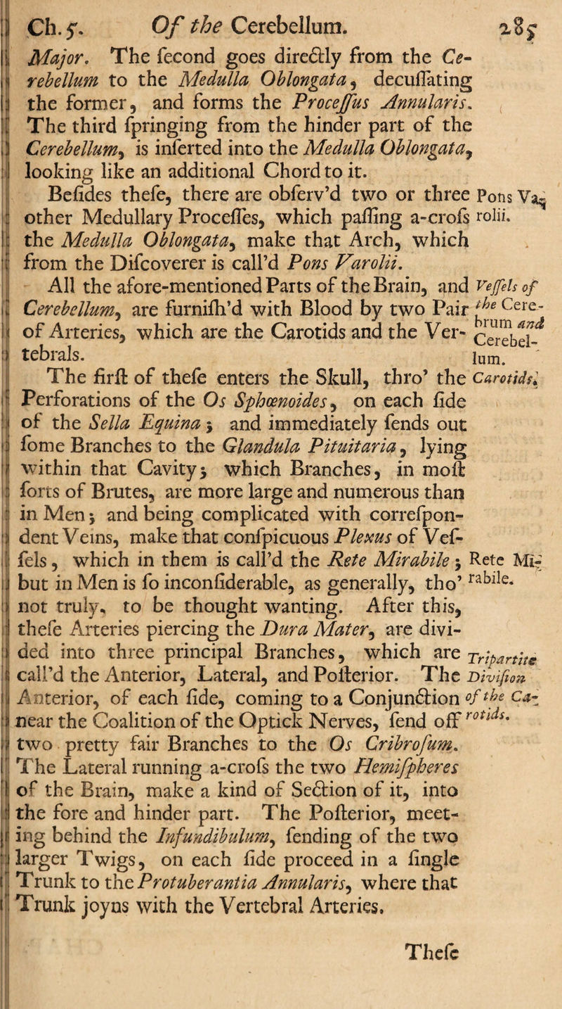 I Ch.f. Of the Cerebellum. a By Major. The fecond goes directly from the Ce¬ rebellum to the Medulla Oblongata, decuflating the former, and forms the Procejfus Annularis. The third fpringing from the hinder part of the Cerebellum, is inferted into the Medulla Oblongata, looking like an additional Chord to it. Befides thefe, there are obferv’d two or three Pons other Medullary Procefles, which palling a-crofs rolii. the Medulla Oblongata, make that Arch, which from the Diicoverer is call’d Pons Varolii. All the afore-mentioned Parts of the Brain, and Vejfels of Cerebellum, are furnifh’d with Blood by two Pair e Cere~ of Arteries, which are the Carotids and the Ver- Cerebcf^ tebrals. lum. The fir ft of thefe enters the Skull, thro’ the Carotids* of the Sella Equina j and immediately fends out fome Branches to the Glandula Pituitaria, lying within that Cavityj which Branches, in moft forts of Brutes, are more large and numerous than in Men \ and being complicated with correfpon- dent Veins, make that confpicuous Plexus of Vefi- fels, which in them is call’d the Rete Mirabile $ Rete Mi- but in Men is fo inconfiderable, as generally, tho’rabiIe* not truly* to be thought wanting. After this, thefe Arteries piercing the Dura Mater, are divi¬ ded into three principal Branches, which are Tripartite call’d the Anterior, Lateral, and Pofterior. The Divijion. Anterior, of each fide, coming to a Conjunction °ftbe c#z near the Coalition of the Optick Nerves, fend off rotlds* two pretty fair Branches to the Os Cribrofum. The Lateral running a-crofs the two Hemifpheres of the Brain, make a kind of Section of it, into the fore and hinder part. The Pofterior, meet¬ ing behind the Infundibulum, fending of the two larger Twigs, on each fide proceed in a fingle Trunk to the Protuber anti a Annularis, where that Trunk joyns with the Vertebral Arteries, Thefe
