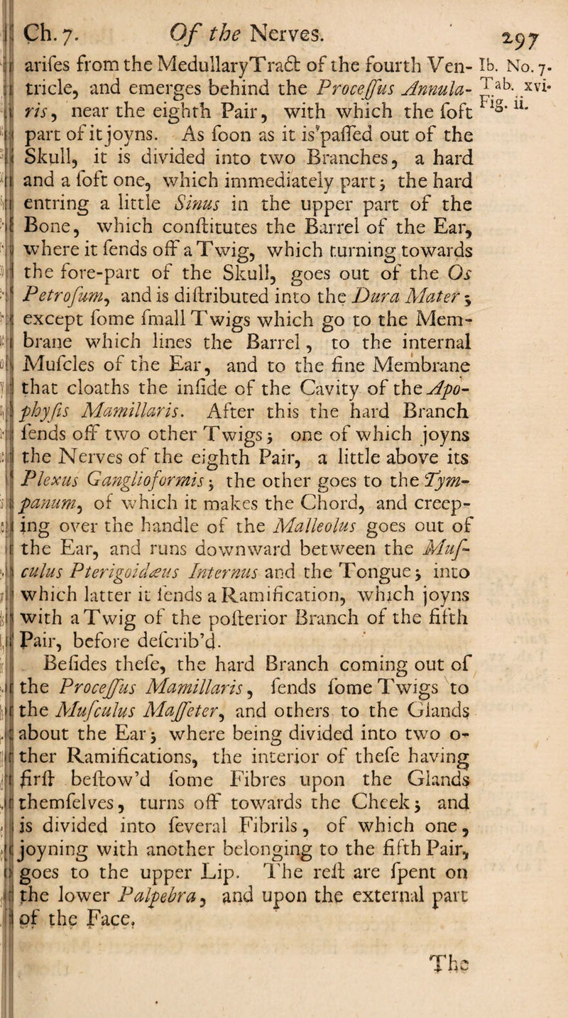 arifes from the MedullaryTradt of the fourth Ven¬ tricle, and emerges behind the Procejfus Annula¬ ris , near the eighth Pair, with which the foft part of itjoyns. As foon as it is'paffed out of the Skull, it is divided into two Branches, a hard and a foft one, which immediately part 3 the hard entring a little Sinus in the upper part of the l Bone, which conflitutes the Barrel of the Ear, i where it fends off a Twig, which turning towards the fore-part of the Skull, goes out of the Os Petrofum, and is diflributed into the Dura Mater 5 except lome fmall Twigs which go to the Mem¬ brane which lines the Barrel, to the internal Mufcles of the Ear, and to the fine Membrane }|J that cloaths the infide of the Cavity of thtApo- | fbyfts Mamillaris. After this the hard Branch fends off two other Twigs one of which joyns the Nerves of the eighth Pair, a little above its * Plexus Ganglioformis * the other goes to the Tym¬ panum^ of which it makes the Chord, and creep¬ ing over the handle of the Malleolus goes out of the Ear, and runs downward between the Muf cuius Pterigoidesus Internus and the Tongue} into which latter it fends a Ramification, which joyns with a Twig of the pofterior Branch of the fifth if Pair, before defcrib’d- [ill Befides thefe, the hard Branch coming out of .jr the Procejfus Mamillaris, fends fome Twigs to ||r the Mufculus Majfeter, and others to the Glands I about the Ear 5 where being divided into two o^ ji ther Ramifications, the interior of thefe having 1 firfl bellow’d fome Fibres upon the Glands J.(j themfelves, turns off towards the Cheek $ and is divided into feveral Fibrils, of which one, Ajoyning with another belonging to the fifth Pair, oj goes to the upper Lip. The reft are fpent on 4 the lower Palpebra, and upon the external part of the Face, 297 lb. No. 7. Tab. xvi- Fig. ii. The