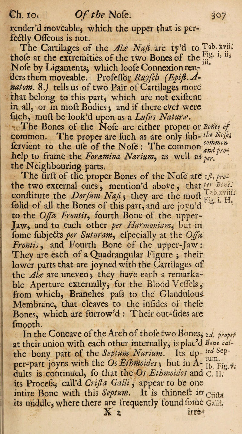 render’d moveable, which the upper that is per- feftly Ofleous is not. The Cartilages of the AH Naft are ty’d toTab.xvin' thofe at the extremities of the two Bones of the Nofe by Ligaments, which loofe Connexion ren¬ ders them moveable. Profeffdr Ruyfch (Epift.A* natom. 8.) tells us of two Pair of Cartilages more that belong to this part, which are not exiftent in all, or in moft Bodies 5 and if there eVei* were fiich, muft be look’d upon as a Lufus Natuue. The Bones of the Nofe are either proper or Bonds of common. The proper are fuch as are only fub- tbe. Ncfc* fervient to the ufe of the Nofe : The common help to frame the Foramina Narium, as well as peVm the Neighbouring parts. The firft of the proper Bones of the Nofe are 1ft, pro- the two external ones, mention’d above, that per Bonk conftitute the Dorfum Nafe-y they are the moftX^D.x„^ folid of all the Bones of this part, and are joyn’d 0 to the OJfa Frontis, fourth Bone of the upper- jaw, and to each other per Harmonium, but in fome fubjefts per Suturam, efpecially at the OJfa Frontis, and Fourth Bone of the upper-jaw: They are each of a Quadrangular Figure , their lower parts that are joyned with the Cartilages of the AH are uneven , they have each a remarka¬ ble Aperture externally, for the Blood Veilels, from which, Branches pafs to the Glandulous’. Membrane, that cleaves to the infides of thefe Bones, which are furrow’d : Their out-fides are fmooth. In the Concave of the Arch of thofe two Bones, 1J. propet at their union with each other internally, is placed Bone cal- the bony part of the Septum Narium. Its up- Led ScP~ per-part joyns with the OsEthmoides\ but in A- ^ Fjg.v0 dults is continued, fo that the Os Ethmoides and c. II. its Procefs, call’d Crifta Galli, appear to be one intire Bone with this Septum. It is thinneft Crifta its middle, where there are frequently found fome Galli. X % irrs*